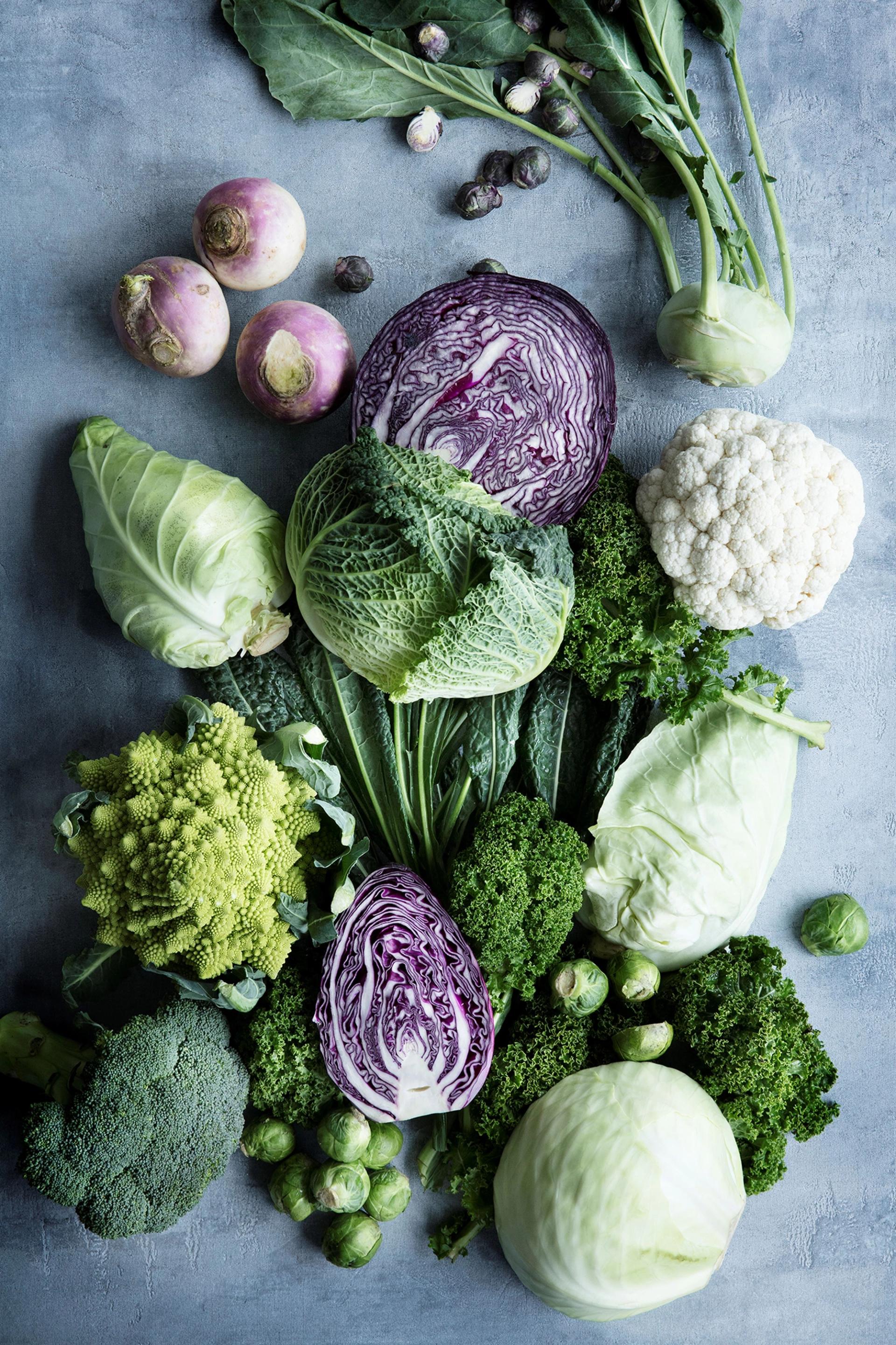 Veje og genveje til grøn umami​​​​‌﻿‍﻿​‍​‍‌‍﻿﻿‌﻿​‍‌‍‍‌‌‍‌﻿‌‍‍‌‌‍﻿‍​‍​‍​﻿‍‍​‍​‍‌﻿​﻿‌‍​‌‌‍﻿‍‌‍‍‌‌﻿‌​‌﻿‍‌​‍﻿‍‌‍‍‌‌‍﻿﻿​‍​‍​‍﻿​​‍​‍‌‍‍​‌﻿​‍‌‍‌‌‌‍‌‍​‍​‍​﻿‍‍​‍​‍‌‍‍​‌﻿‌​‌﻿‌​‌﻿​​​﻿‍‍​‍﻿﻿​‍﻿﻿‌‍﻿​‌‍﻿﻿‌‍​﻿‌‍​‌‌‍﻿​‌‍‍​‌‍﻿﻿‌﻿​﻿‌﻿‌​​﻿‍‍​﻿​﻿​﻿​﻿​﻿​﻿​﻿​﻿​‍﻿﻿‌‍‍‌‌‍﻿‍‌﻿‌​‌‍‌‌‌‍﻿‍‌﻿‌​​‍﻿﻿‌‍‌‌‌‍‌​‌‍‍‌‌﻿‌​​‍﻿﻿‌‍﻿‌‌‍﻿﻿‌‍‌​‌‍‌‌​﻿﻿‌‌﻿​​‌﻿​‍‌‍‌‌‌﻿​﻿‌‍‌‌‌‍﻿‍‌﻿‌​‌‍​‌‌﻿‌​‌‍‍‌‌‍﻿﻿‌‍﻿‍​﻿‍﻿‌‍‍‌‌‍‌​​﻿﻿‌‌‍​‍​﻿​﻿​﻿‌﻿‌‍​‍​﻿‌﻿‌‍‌‍​﻿​‍​﻿‌‍​‍﻿‌​﻿‌‍​﻿‍​‌‍‌‍​﻿​​​‍﻿‌​﻿‌​​﻿‌​​﻿‍‌‌‍​‍​‍﻿‌‌‍​‌‌‍‌‌​﻿​‌‌‍‌‍​‍﻿‌​﻿‌﻿‌‍​‌‌‍​﻿‌‍​‍​﻿​‌‌‍‌​​﻿​‌​﻿‍‌‌‍‌‍​﻿‌‌​﻿​‍‌‍‌‍​﻿‍﻿‌﻿‌​‌﻿‍‌‌﻿​​‌‍‌‌​﻿﻿‌‌‍​‌‌﻿​‍‌﻿‌​‌‍‍‌‌‍​﻿‌‍﻿​‌‍‌‌​﻿‍﻿‌﻿​​‌‍​‌‌﻿‌​‌‍‍​​﻿﻿‌‌‍‍‌‌‍﻿‌‌‍​‌‌‍‌﻿‌‍‌‌​‍﻿‍‌‍​‌‌‍﻿​‌﻿‌​​﻿﻿﻿‌‍​‍‌‍​‌‌﻿​﻿‌‍‌‌‌‌‌‌‌﻿​‍‌‍﻿​​﻿﻿‌‌‍‍​‌﻿‌​‌﻿‌​‌﻿​​​‍‌‌​﻿​﻿‌​​‌​‍‌‌​﻿​‍‌​‌‍​‍‌‌​﻿​‍‌​‌‍‌‍﻿​‌‍﻿﻿‌‍​﻿‌‍​‌‌‍﻿​‌‍‍​‌‍﻿﻿‌﻿​﻿‌﻿‌​​‍‌‌​﻿​﻿‌​​‌​﻿​﻿​﻿​﻿​﻿​﻿​﻿​﻿​‍‌‍‌‍‍‌‌‍‌​​﻿﻿‌‌‍​‍​﻿​﻿​﻿‌﻿‌‍​‍​﻿‌﻿‌‍‌‍​﻿​‍​﻿‌‍​‍﻿‌​﻿‌‍​﻿‍​‌‍‌‍​﻿​​​‍﻿‌​﻿‌​​﻿‌​​﻿‍‌‌‍​‍​‍﻿‌‌‍​‌‌‍‌‌​﻿​‌‌‍‌‍​‍﻿‌​﻿‌﻿‌‍​‌‌‍​﻿‌‍​‍​﻿​‌‌‍‌​​﻿​‌​﻿‍‌‌‍‌‍​﻿‌‌​﻿​‍‌‍‌‍​‍‌‍‌﻿‌​‌﻿‍‌‌﻿​​‌‍‌‌​﻿﻿‌‌‍​‌‌﻿​‍‌﻿‌​‌‍‍‌‌‍​﻿‌‍﻿​‌‍‌‌​‍‌‍‌﻿​​‌‍​‌‌﻿‌​‌‍‍​​﻿﻿‌‌‍‍‌‌‍﻿‌‌‍​‌‌‍‌﻿‌‍‌‌​‍﻿‍‌‍​‌‌‍﻿​‌﻿‌​​‍‌‍‌﻿​​‌‍‌‌‌﻿​‍‌﻿​﻿‌﻿​​‌‍‌‌‌‍​﻿‌﻿‌​‌‍‍‌‌﻿‌‍‌‍‌‌​﻿﻿‌‌﻿​​‌﻿‌‌‌‍​‍‌‍﻿​‌‍‍‌‌﻿​﻿‌‍‍​‌‍‌‌‌‍‌​​‍​‍‌﻿﻿‌