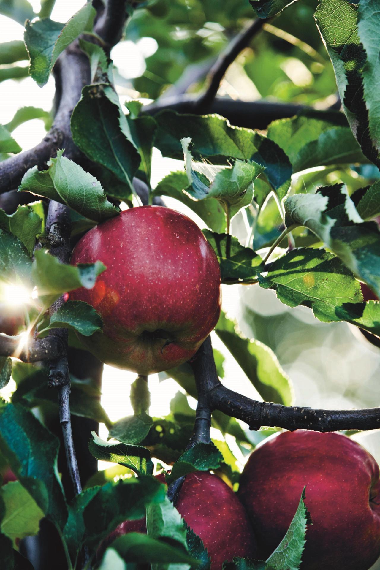 Æbler​​​​‌﻿‍﻿​‍​‍‌‍﻿﻿‌﻿​‍‌‍‍‌‌‍‌﻿‌‍‍‌‌‍﻿‍​‍​‍​﻿‍‍​‍​‍‌﻿​﻿‌‍​‌‌‍﻿‍‌‍‍‌‌﻿‌​‌﻿‍‌​‍﻿‍‌‍‍‌‌‍﻿﻿​‍​‍​‍﻿​​‍​‍‌‍‍​‌﻿​‍‌‍‌‌‌‍‌‍​‍​‍​﻿‍‍​‍​‍‌‍‍​‌﻿‌​‌﻿‌​‌﻿​​​﻿‍‍​‍﻿﻿​‍﻿﻿‌‍﻿​‌‍﻿﻿‌‍​﻿‌‍​‌‌‍﻿​‌‍‍​‌‍﻿﻿‌﻿​﻿‌﻿‌​​﻿‍‍​﻿​﻿​﻿​﻿​﻿​﻿​﻿​﻿​‍﻿﻿‌‍‍‌‌‍﻿‍‌﻿‌​‌‍‌‌‌‍﻿‍‌﻿‌​​‍﻿﻿‌‍‌‌‌‍‌​‌‍‍‌‌﻿‌​​‍﻿﻿‌‍﻿‌‌‍﻿﻿‌‍‌​‌‍‌‌​﻿﻿‌‌﻿​​‌﻿​‍‌‍‌‌‌﻿​﻿‌‍‌‌‌‍﻿‍‌﻿‌​‌‍​‌‌﻿‌​‌‍‍‌‌‍﻿﻿‌‍﻿‍​﻿‍﻿‌‍‍‌‌‍‌​​﻿﻿‌​﻿​‌‌‍​﻿​﻿​﻿​﻿‍‌​﻿‍​​﻿‌‍‌‍‌‍‌‍​‍​‍﻿‌​﻿‌﻿​﻿​‍‌‍​﻿​﻿‌‍​‍﻿‌​﻿‌​‌‍‌‌​﻿​﻿‌‍​‍​‍﻿‌‌‍​‌‌‍‌‌​﻿​‌​﻿‌​​‍﻿‌​﻿‌​​﻿‍‌‌‍​‌‌‍​‍‌‍‌‌​﻿‍​​﻿​​‌‍​﻿‌‍‌‍​﻿‌‍‌‍​‌​﻿‌﻿​﻿‍﻿‌﻿‌​‌﻿‍‌‌﻿​​‌‍‌‌​﻿﻿‌‌‍​‌‌﻿​‍‌﻿‌​‌‍‍‌‌‍​﻿‌‍﻿​‌‍‌‌​﻿‍﻿‌﻿​​‌‍​‌‌﻿‌​‌‍‍​​﻿﻿‌‌﻿​​‌‍﻿﻿‌﻿​‍‌﻿‌​‌‍​‌‌‍​‍‌‍﻿​‌‍‌‌‌﻿‌​‌‍‌‌‌﻿‍​‌﻿‌​​‍‌‌​﻿‌‌‌​​‍‌‌﻿﻿‌‍‍﻿‌‍‌‌‌﻿‍‌​‍‌‌​﻿​﻿‌​‌​​‍‌‌​﻿​﻿‌​‌​​‍‌‌​﻿​‍​﻿​‍​﻿‌﻿‌‍​﻿‌‍‌​​﻿‍‌​﻿​﻿‌‍‌‍‌‍‌‌‌‍‌‍​‍‌‌​﻿​‍​﻿​‍​‍‌‌​﻿‌‌‌​‌​​‍﻿‍‌﻿​﻿‌‍﻿​‌‍‍‌‌‍‌​‌‍‌‌‌﻿​﻿​‍‌‌​﻿‌‌‌​​‍‌‌﻿﻿‌‍‍﻿‌‍‌‌‌﻿‍‌​‍‌‌​﻿​﻿‌​‌​​‍‌‌​﻿​﻿‌​‌​​‍‌‌​﻿​‍​﻿​‍‌‍‌‌‌‍​‌​﻿‌‌‌‍​﻿‌‍​‍‌‍​‍‌‍​‌​﻿​﻿​‍‌‌​﻿​‍​﻿​‍​‍‌‌​﻿‌‌‌​‌​​‍﻿‍‌‍‍‌‌‍﻿‌‌‍​‌‌‍‌﻿‌‍‌‌​‍﻿‍‌‍​‌‌‍﻿​‌﻿‌​​﻿﻿﻿‌‍​‍‌‍​‌‌﻿​﻿‌‍‌‌‌‌‌‌‌﻿​‍‌‍﻿​​﻿﻿‌‌‍‍​‌﻿‌​‌﻿‌​‌﻿​​​‍‌‌​﻿​﻿‌​​‌​‍‌‌​﻿​‍‌​‌‍​‍‌‌​﻿​‍‌​‌‍‌‍﻿​‌‍﻿﻿‌‍​﻿‌‍​‌‌‍﻿​‌‍‍​‌‍﻿﻿‌﻿​﻿‌﻿‌​​‍‌‌​﻿​﻿‌​​‌​﻿​﻿​﻿​﻿​﻿​﻿​﻿​﻿​‍‌‍‌‍‍‌‌‍‌​​﻿﻿‌​﻿​‌‌‍​﻿​﻿​﻿​﻿‍‌​﻿‍​​﻿‌‍‌‍‌‍‌‍​‍​‍﻿‌​﻿‌﻿​﻿​‍‌‍​﻿​﻿‌‍​‍﻿‌​﻿‌​‌‍‌‌​﻿​﻿‌‍​‍​‍﻿‌‌‍​‌‌‍‌‌​﻿​‌​﻿‌​​‍﻿‌​﻿‌​​﻿‍‌‌‍​‌‌‍​‍‌‍‌‌​﻿‍​​﻿​​‌‍​﻿‌‍‌‍​﻿‌‍‌‍​‌​﻿‌﻿​‍‌‍‌﻿‌​‌﻿‍‌‌﻿​​‌‍‌‌​﻿﻿‌‌‍​‌‌﻿​‍‌﻿‌​‌‍‍‌‌‍​﻿‌‍﻿​‌‍‌‌​‍‌‍‌﻿​​‌‍​‌‌﻿‌​‌‍‍​​﻿﻿‌‌﻿​​‌‍﻿﻿‌﻿​‍‌﻿‌​‌‍​‌‌‍​‍‌‍﻿​‌‍‌‌‌﻿‌​‌‍‌‌‌﻿‍​‌﻿‌​​‍‌‌​﻿‌‌‌​​‍‌‌﻿﻿‌‍‍﻿‌‍‌‌‌﻿‍‌​‍‌‌​﻿​﻿‌​‌​​‍‌‌​﻿​﻿‌​‌​​‍‌‌​﻿​‍​﻿​‍​﻿‌﻿‌‍​﻿‌‍‌​​﻿‍‌​﻿​﻿‌‍‌‍‌‍‌‌‌‍‌‍​‍‌‌​﻿​‍​﻿​‍​‍‌‌​﻿‌‌‌​‌​​‍﻿‍‌﻿​﻿‌‍﻿​‌‍‍‌‌‍‌​‌‍‌‌‌﻿​﻿​‍‌‌​﻿‌‌‌​​‍‌‌﻿﻿‌‍‍﻿‌‍‌‌‌﻿‍‌​‍‌‌​﻿​﻿‌​‌​​‍‌‌​﻿​﻿‌​‌​​‍‌‌​﻿​‍​﻿​‍‌‍‌‌‌‍​‌​﻿‌‌‌‍​﻿‌‍​‍‌‍​‍‌‍​‌​﻿​﻿​‍‌‌​﻿​‍​﻿​‍​‍‌‌​﻿‌‌‌​‌​​‍﻿‍‌‍‍‌‌‍﻿‌‌‍​‌‌‍‌﻿‌‍‌‌​‍﻿‍‌‍​‌‌‍﻿​‌﻿‌​​‍‌‍‌﻿​​‌‍‌‌‌﻿​‍‌﻿​﻿‌﻿​​‌‍‌‌‌‍​﻿‌﻿‌​‌‍‍‌‌﻿‌‍‌‍‌‌​﻿﻿‌‌﻿​​‌﻿‌‌‌‍​‍‌‍﻿​‌‍‍‌‌﻿​﻿‌‍‍​‌‍‌‌‌‍‌​​‍​‍‌﻿﻿‌