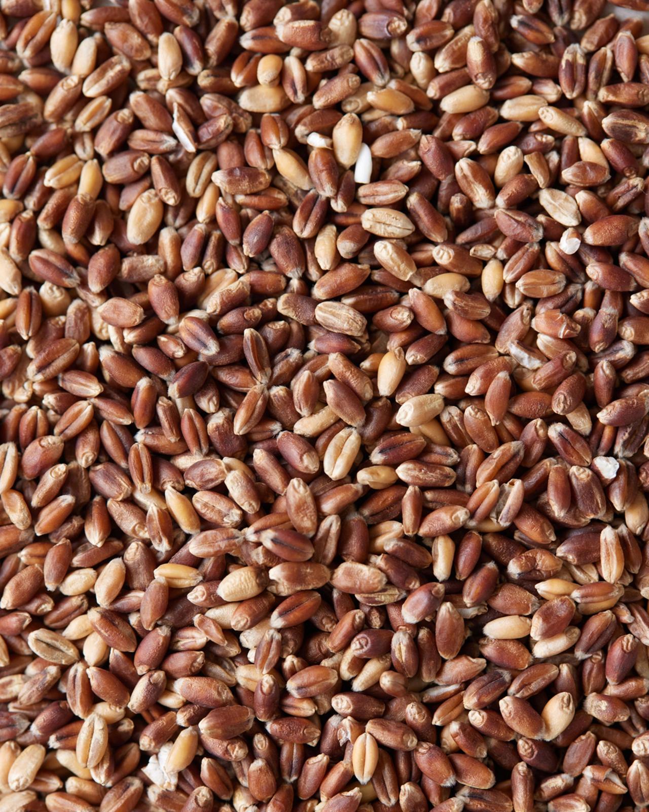 Purpurhvede​​​​‌﻿‍﻿​‍​‍‌‍﻿﻿‌﻿​‍‌‍‍‌‌‍‌﻿‌‍‍‌‌‍﻿‍​‍​‍​﻿‍‍​‍​‍‌﻿​﻿‌‍​‌‌‍﻿‍‌‍‍‌‌﻿‌​‌﻿‍‌​‍﻿‍‌‍‍‌‌‍﻿﻿​‍​‍​‍﻿​​‍​‍‌‍‍​‌﻿​‍‌‍‌‌‌‍‌‍​‍​‍​﻿‍‍​‍​‍‌‍‍​‌﻿‌​‌﻿‌​‌﻿​​​﻿‍‍​‍﻿﻿​‍﻿﻿‌‍﻿​‌‍﻿﻿‌‍​﻿‌‍​‌‌‍﻿​‌‍‍​‌‍﻿﻿‌﻿​﻿‌﻿‌​​﻿‍‍​﻿​﻿​﻿​﻿​﻿​﻿​﻿​﻿​‍﻿﻿‌‍‍‌‌‍﻿‍‌﻿‌​‌‍‌‌‌‍﻿‍‌﻿‌​​‍﻿﻿‌‍‌‌‌‍‌​‌‍‍‌‌﻿‌​​‍﻿﻿‌‍﻿‌‌‍﻿﻿‌‍‌​‌‍‌‌​﻿﻿‌‌﻿​​‌﻿​‍‌‍‌‌‌﻿​﻿‌‍‌‌‌‍﻿‍‌﻿‌​‌‍​‌‌﻿‌​‌‍‍‌‌‍﻿﻿‌‍﻿‍​﻿‍﻿‌‍‍‌‌‍‌​​﻿﻿‌​﻿​‌​﻿​​​﻿‍‌‌‍‌‌​﻿​‌‌‍‌​​﻿​‌​﻿​‍​‍﻿‌‌‍​‌​﻿‍​​﻿‌‍​﻿​​​‍﻿‌​﻿‌​‌‍‌‌​﻿‍‌​﻿‌​​‍﻿‌‌‍​‍​﻿‌﻿‌‍‌‍‌‍​﻿​‍﻿‌‌‍​﻿‌‍​﻿​﻿‌‍​﻿‍‌​﻿​‌​﻿‌​‌‍​﻿​﻿​​​﻿‌‌‌‍‌‌​﻿​‌​﻿‌﻿​﻿‍﻿‌﻿‌​‌﻿‍‌‌﻿​​‌‍‌‌​﻿﻿‌‌‍​‌‌﻿​‍‌﻿‌​‌‍‍‌‌‍​﻿‌‍﻿​‌‍‌‌​﻿‍﻿‌﻿​​‌‍​‌‌﻿‌​‌‍‍​​﻿﻿‌‌﻿​​‌‍﻿﻿‌﻿​‍‌﻿‌​‌‍​‌‌‍​‍‌‍﻿​‌‍‌‌‌﻿‌​‌‍‌‌‌﻿‍​‌﻿‌​​‍‌‌​﻿‌‌‌​​‍‌‌﻿﻿‌‍‍﻿‌‍‌‌‌﻿‍‌​‍‌‌​﻿​﻿‌​‌​​‍‌‌​﻿​﻿‌​‌​​‍‌‌​﻿​‍​﻿​‍​﻿​​​﻿​‌​﻿‌‍​﻿​‍‌‍‌‌‌‍​‌‌‍‌‍​﻿‍‌​‍‌‌​﻿​‍​﻿​‍​‍‌‌​﻿‌‌‌​‌​​‍﻿‍‌﻿​﻿‌‍﻿​‌‍‍‌‌‍‌​‌‍‌‌‌﻿​﻿​‍‌‌​﻿‌‌‌​​‍‌‌﻿﻿‌‍‍﻿‌‍‌‌‌﻿‍‌​‍‌‌​﻿​﻿‌​‌​​‍‌‌​﻿​﻿‌​‌​​‍‌‌​﻿​‍​﻿​‍​﻿​‌‌‍‌‌​﻿​‍​﻿‍​‌‍​‍‌‍‌‌​﻿‌‍‌‍​‌​‍‌‌​﻿​‍​﻿​‍​‍‌‌​﻿‌‌‌​‌​​‍﻿‍‌‍‍‌‌‍﻿‌‌‍​‌‌‍‌﻿‌‍‌‌​‍﻿‍‌‍​‌‌‍﻿​‌﻿‌​​﻿﻿﻿‌‍​‍‌‍​‌‌﻿​﻿‌‍‌‌‌‌‌‌‌﻿​‍‌‍﻿​​﻿﻿‌‌‍‍​‌﻿‌​‌﻿‌​‌﻿​​​‍‌‌​﻿​﻿‌​​‌​‍‌‌​﻿​‍‌​‌‍​‍‌‌​﻿​‍‌​‌‍‌‍﻿​‌‍﻿﻿‌‍​﻿‌‍​‌‌‍﻿​‌‍‍​‌‍﻿﻿‌﻿​﻿‌﻿‌​​‍‌‌​﻿​﻿‌​​‌​﻿​﻿​﻿​﻿​﻿​﻿​﻿​﻿​‍‌‍‌‍‍‌‌‍‌​​﻿﻿‌​﻿​‌​﻿​​​﻿‍‌‌‍‌‌​﻿​‌‌‍‌​​﻿​‌​﻿​‍​‍﻿‌‌‍​‌​﻿‍​​﻿‌‍​﻿​​​‍﻿‌​﻿‌​‌‍‌‌​﻿‍‌​﻿‌​​‍﻿‌‌‍​‍​﻿‌﻿‌‍‌‍‌‍​﻿​‍﻿‌‌‍​﻿‌‍​﻿​﻿‌‍​﻿‍‌​﻿​‌​﻿‌​‌‍​﻿​﻿​​​﻿‌‌‌‍‌‌​﻿​‌​﻿‌﻿​‍‌‍‌﻿‌​‌﻿‍‌‌﻿​​‌‍‌‌​﻿﻿‌‌‍​‌‌﻿​‍‌﻿‌​‌‍‍‌‌‍​﻿‌‍﻿​‌‍‌‌​‍‌‍‌﻿​​‌‍​‌‌﻿‌​‌‍‍​​﻿﻿‌‌﻿​​‌‍﻿﻿‌﻿​‍‌﻿‌​‌‍​‌‌‍​‍‌‍﻿​‌‍‌‌‌﻿‌​‌‍‌‌‌﻿‍​‌﻿‌​​‍‌‌​﻿‌‌‌​​‍‌‌﻿﻿‌‍‍﻿‌‍‌‌‌﻿‍‌​‍‌‌​﻿​﻿‌​‌​​‍‌‌​﻿​﻿‌​‌​​‍‌‌​﻿​‍​﻿​‍​﻿​​​﻿​‌​﻿‌‍​﻿​‍‌‍‌‌‌‍​‌‌‍‌‍​﻿‍‌​‍‌‌​﻿​‍​﻿​‍​‍‌‌​﻿‌‌‌​‌​​‍﻿‍‌﻿​﻿‌‍﻿​‌‍‍‌‌‍‌​‌‍‌‌‌﻿​﻿​‍‌‌​﻿‌‌‌​​‍‌‌﻿﻿‌‍‍﻿‌‍‌‌‌﻿‍‌​‍‌‌​﻿​﻿‌​‌​​‍‌‌​﻿​﻿‌​‌​​‍‌‌​﻿​‍​﻿​‍​﻿​‌‌‍‌‌​﻿​‍​﻿‍​‌‍​‍‌‍‌‌​﻿‌‍‌‍​‌​‍‌‌​﻿​‍​﻿​‍​‍‌‌​﻿‌‌‌​‌​​‍﻿‍‌‍‍‌‌‍﻿‌‌‍​‌‌‍‌﻿‌‍‌‌​‍﻿‍‌‍​‌‌‍﻿​‌﻿‌​​‍‌‍‌﻿​​‌‍‌‌‌﻿​‍‌﻿​﻿‌﻿​​‌‍‌‌‌‍​﻿‌﻿‌​‌‍‍‌‌﻿‌‍‌‍‌‌​﻿﻿‌‌﻿​​‌﻿‌‌‌‍​‍‌‍﻿​‌‍‍‌‌﻿​﻿‌‍‍​‌‍‌‌‌‍‌​​‍​‍‌﻿﻿‌