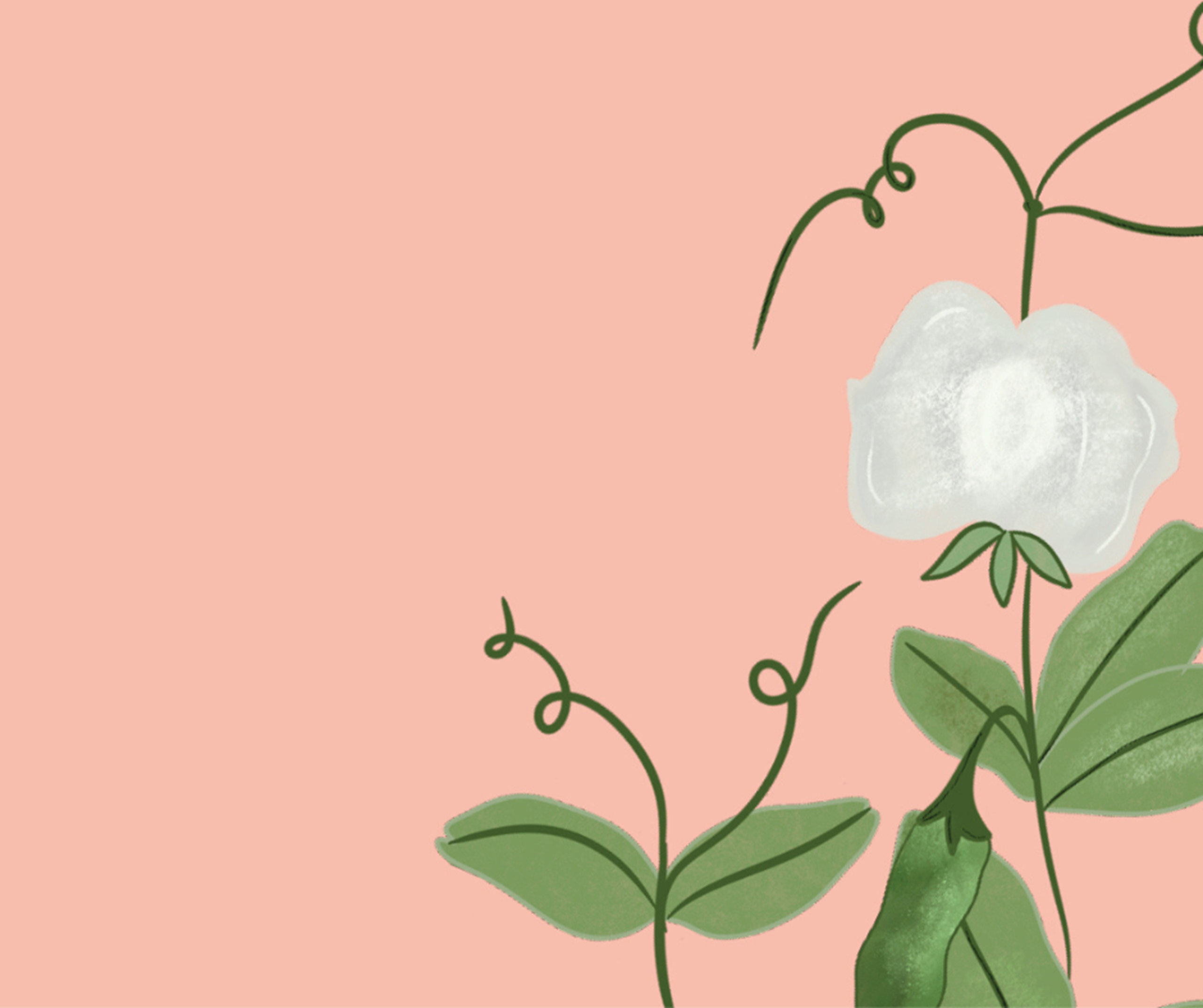 Danmarks nationale Klimahandledag​​​​‌﻿‍﻿​‍​‍‌‍﻿﻿‌﻿​‍‌‍‍‌‌‍‌﻿‌‍‍‌‌‍﻿‍​‍​‍​﻿‍‍​‍​‍‌﻿​﻿‌‍​‌‌‍﻿‍‌‍‍‌‌﻿‌​‌﻿‍‌​‍﻿‍‌‍‍‌‌‍﻿﻿​‍​‍​‍﻿​​‍​‍‌‍‍​‌﻿​‍‌‍‌‌‌‍‌‍​‍​‍​﻿‍‍​‍​‍‌‍‍​‌﻿‌​‌﻿‌​‌﻿​​​﻿‍‍​‍﻿﻿​‍﻿﻿‌‍﻿​‌‍﻿﻿‌‍​﻿‌‍​‌‌‍﻿​‌‍‍​‌‍﻿﻿‌﻿​﻿‌﻿‌​​﻿‍‍​﻿​﻿​﻿​﻿​﻿​﻿​﻿​﻿​‍﻿﻿‌‍‍‌‌‍﻿‍‌﻿‌​‌‍‌‌‌‍﻿‍‌﻿‌​​‍﻿﻿‌‍‌‌‌‍‌​‌‍‍‌‌﻿‌​​‍﻿﻿‌‍﻿‌‌‍﻿﻿‌‍‌​‌‍‌‌​﻿﻿‌‌﻿​​‌﻿​‍‌‍‌‌‌﻿​﻿‌‍‌‌‌‍﻿‍‌﻿‌​‌‍​‌‌﻿‌​‌‍‍‌‌‍﻿﻿‌‍﻿‍​﻿‍﻿‌‍‍‌‌‍‌​​﻿﻿‌‌‍​﻿​﻿‍​​﻿​﻿​﻿​‌​﻿‍‌‌‍‌​‌‍‌​‌‍‌​​‍﻿‌‌‍‌‍​﻿‌﻿‌‍​‍‌‍​﻿​‍﻿‌​﻿‌​​﻿​‍​﻿​‍‌‍‌​​‍﻿‌​﻿‍‌​﻿​‍​﻿​‍​﻿​‌​‍﻿‌​﻿‍‌​﻿​﻿‌‍‌​‌‍​‌​﻿​‍​﻿‌​‌‍‌‌​﻿​﻿​﻿‍‌​﻿​﻿‌‍‌​‌‍​‌​﻿‍﻿‌﻿‌​‌﻿‍‌‌﻿​​‌‍‌‌​﻿﻿‌‌‍​‌‌﻿​‍‌﻿‌​‌‍‍‌‌‍​﻿‌‍﻿​‌‍‌‌​﻿‍﻿‌﻿​​‌‍​‌‌﻿‌​‌‍‍​​﻿﻿‌‌‍‍‌‌‍﻿‌‌‍​‌‌‍‌﻿‌‍‌‌​‍﻿‍‌‍​‌‌‍﻿​‌﻿‌​​﻿﻿﻿‌‍​‍‌‍​‌‌﻿​﻿‌‍‌‌‌‌‌‌‌﻿​‍‌‍﻿​​﻿﻿‌‌‍‍​‌﻿‌​‌﻿‌​‌﻿​​​‍‌‌​﻿​﻿‌​​‌​‍‌‌​﻿​‍‌​‌‍​‍‌‌​﻿​‍‌​‌‍‌‍﻿​‌‍﻿﻿‌‍​﻿‌‍​‌‌‍﻿​‌‍‍​‌‍﻿﻿‌﻿​﻿‌﻿‌​​‍‌‌​﻿​﻿‌​​‌​﻿​﻿​﻿​﻿​﻿​﻿​﻿​﻿​‍‌‍‌‍‍‌‌‍‌​​﻿﻿‌‌‍​﻿​﻿‍​​﻿​﻿​﻿​‌​﻿‍‌‌‍‌​‌‍‌​‌‍‌​​‍﻿‌‌‍‌‍​﻿‌﻿‌‍​‍‌‍​﻿​‍﻿‌​﻿‌​​﻿​‍​﻿​‍‌‍‌​​‍﻿‌​﻿‍‌​﻿​‍​﻿​‍​﻿​‌​‍﻿‌​﻿‍‌​﻿​﻿‌‍‌​‌‍​‌​﻿​‍​﻿‌​‌‍‌‌​﻿​﻿​﻿‍‌​﻿​﻿‌‍‌​‌‍​‌​‍‌‍‌﻿‌​‌﻿‍‌‌﻿​​‌‍‌‌​﻿﻿‌‌‍​‌‌﻿​‍‌﻿‌​‌‍‍‌‌‍​﻿‌‍﻿​‌‍‌‌​‍‌‍‌﻿​​‌‍​‌‌﻿‌​‌‍‍​​﻿﻿‌‌‍‍‌‌‍﻿‌‌‍​‌‌‍‌﻿‌‍‌‌​‍﻿‍‌‍​‌‌‍﻿​‌﻿‌​​‍‌‍‌﻿​​‌‍‌‌‌﻿​‍‌﻿​﻿‌﻿​​‌‍‌‌‌‍​﻿‌﻿‌​‌‍‍‌‌﻿‌‍‌‍‌‌​﻿﻿‌‌﻿​​‌﻿‌‌‌‍​‍‌‍﻿​‌‍‍‌‌﻿​﻿‌‍‍​‌‍‌‌‌‍‌​​‍​‍‌﻿﻿‌