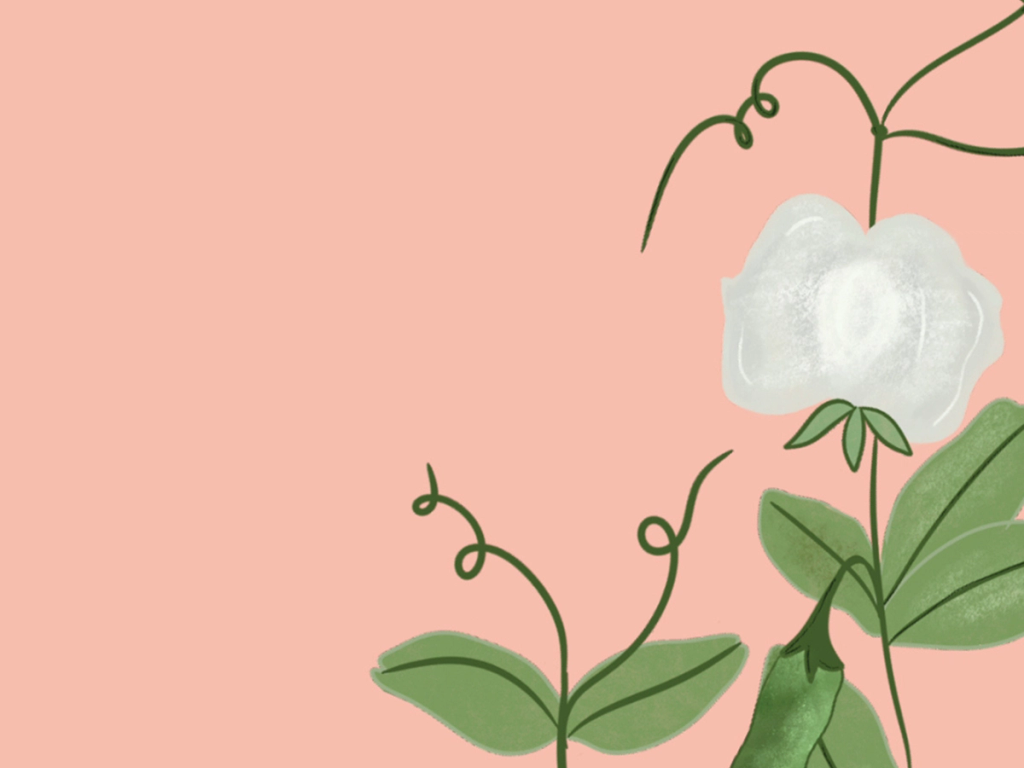 Danmarks nationale Klimahandledag