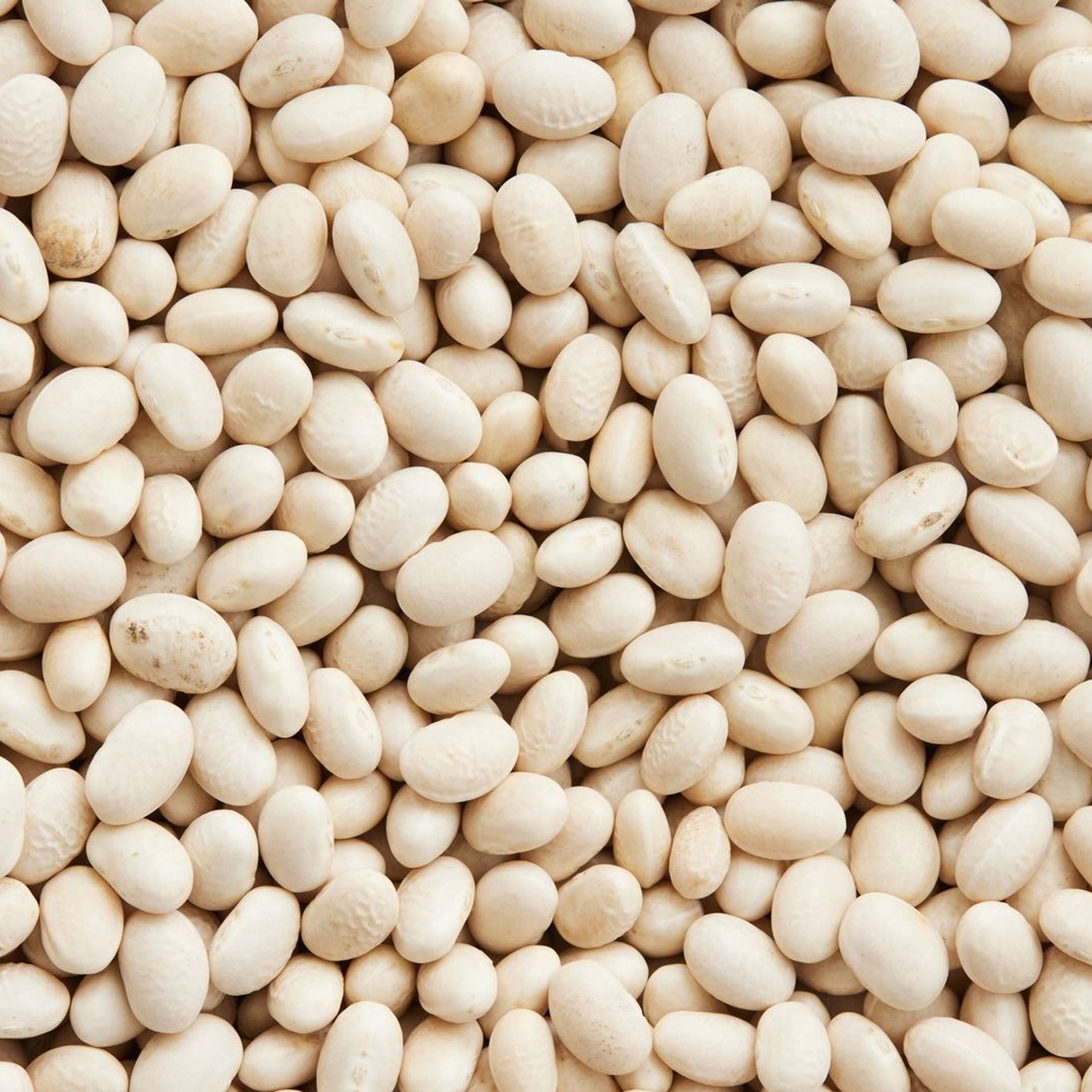 Bønnesalat med soltørrede tomater og forårsløg