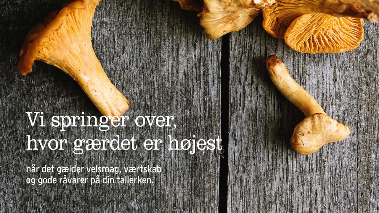 Vi springer over, hvor gærdet er højest​​​​‌﻿‍﻿​‍​‍‌‍﻿﻿‌﻿​‍‌‍‍‌‌‍‌﻿‌‍‍‌‌‍﻿‍​‍​‍​﻿‍‍​‍​‍‌﻿​﻿‌‍​‌‌‍﻿‍‌‍‍‌‌﻿‌​‌﻿‍‌​‍﻿‍‌‍‍‌‌‍﻿﻿​‍​‍​‍﻿​​‍​‍‌‍‍​‌﻿​‍‌‍‌‌‌‍‌‍​‍​‍​﻿‍‍​‍​‍‌‍‍​‌﻿‌​‌﻿‌​‌﻿​​​﻿‍‍​‍﻿﻿​‍﻿﻿‌‍﻿​‌‍﻿﻿‌‍​﻿‌‍​‌‌‍﻿​‌‍‍​‌‍﻿﻿‌﻿​﻿‌﻿‌​​﻿‍‍​﻿​﻿​﻿​﻿​﻿​﻿​﻿​﻿​‍﻿﻿‌‍‍‌‌‍﻿‍‌﻿‌​‌‍‌‌‌‍﻿‍‌﻿‌​​‍﻿﻿‌‍‌‌‌‍‌​‌‍‍‌‌﻿‌​​‍﻿﻿‌‍﻿‌‌‍﻿﻿‌‍‌​‌‍‌‌​﻿﻿‌‌﻿​​‌﻿​‍‌‍‌‌‌﻿​﻿‌‍‌‌‌‍﻿‍‌﻿‌​‌‍​‌‌﻿‌​‌‍‍‌‌‍﻿﻿‌‍﻿‍​﻿‍﻿‌‍‍‌‌‍‌​​﻿﻿‌‌‍​﻿‌‍​‌‌‍​‌‌‍‌‌​﻿‌‌‌‍‌‌‌‍‌‌​﻿‍​​‍﻿‌​﻿‍​​﻿‌‌‌‍‌‍​﻿​​​‍﻿‌​﻿‌​‌‍​‍‌‍‌‌​﻿‌‍​‍﻿‌​﻿‍‌​﻿‌​‌‍​﻿​﻿‌​​‍﻿‌‌‍‌‌‌‍‌‌‌‍‌​​﻿​​​﻿​﻿​﻿​​‌‍‌‍‌‍‌‍​﻿​‌​﻿‌‍‌‍‌‍​﻿​﻿​﻿‍﻿‌﻿‌​‌﻿‍‌‌﻿​​‌‍‌‌​﻿﻿‌‌‍​‌‌﻿​‍‌﻿‌​‌‍‍‌‌‍​﻿‌‍﻿​‌‍‌‌​﻿‍﻿‌﻿​​‌‍​‌‌﻿‌​‌‍‍​​﻿﻿‌‌﻿​​‌‍﻿﻿‌﻿​‍‌﻿‌​‌‍​‌‌‍​‍‌‍﻿​‌‍‌‌‌﻿‌​‌‍‌‌‌﻿‍​‌﻿‌​​‍‌‌​﻿‌‌‌​​‍‌‌﻿﻿‌‍‍﻿‌‍‌‌‌﻿‍‌​‍‌‌​﻿​﻿‌​‌​​‍‌‌​﻿​﻿‌​‌​​‍‌‌​﻿​‍​﻿​‍‌‍​﻿‌‍‌​​﻿​‌​﻿‌‍‌‍​‍​﻿‌﻿‌‍​‌​﻿‍‌​‍‌‌​﻿​‍​﻿​‍​‍‌‌​﻿‌‌‌​‌​​‍﻿‍‌﻿​﻿‌‍﻿​‌‍‍‌‌‍‌​‌‍‌‌‌﻿​﻿​‍‌‌​﻿‌‌‌​​‍‌‌﻿﻿‌‍‍﻿‌‍‌‌‌﻿‍‌​‍‌‌​﻿​﻿‌​‌​​‍‌‌​﻿​﻿‌​‌​​‍‌‌​﻿​‍​﻿​‍‌‍‌​​﻿‌‌​﻿‌​‌‍‌‍‌‍​‍​﻿​‌​﻿​​​﻿​﻿​‍‌‌​﻿​‍​﻿​‍​‍‌‌​﻿‌‌‌​‌​​‍﻿‍‌‍‍‌‌‍﻿‌‌‍​‌‌‍‌﻿‌‍‌‌​‍﻿‍‌‍​‌‌‍﻿​‌﻿‌​​﻿﻿﻿‌‍​‍‌‍​‌‌﻿​﻿‌‍‌‌‌‌‌‌‌﻿​‍‌‍﻿​​﻿﻿‌‌‍‍​‌﻿‌​‌﻿‌​‌﻿​​​‍‌‌​﻿​﻿‌​​‌​‍‌‌​﻿​‍‌​‌‍​‍‌‌​﻿​‍‌​‌‍‌‍﻿​‌‍﻿﻿‌‍​﻿‌‍​‌‌‍﻿​‌‍‍​‌‍﻿﻿‌﻿​﻿‌﻿‌​​‍‌‌​﻿​﻿‌​​‌​﻿​﻿​﻿​﻿​﻿​﻿​﻿​﻿​‍‌‍‌‍‍‌‌‍‌​​﻿﻿‌‌‍​﻿‌‍​‌‌‍​‌‌‍‌‌​﻿‌‌‌‍‌‌‌‍‌‌​﻿‍​​‍﻿‌​﻿‍​​﻿‌‌‌‍‌‍​﻿​​​‍﻿‌​﻿‌​‌‍​‍‌‍‌‌​﻿‌‍​‍﻿‌​﻿‍‌​﻿‌​‌‍​﻿​﻿‌​​‍﻿‌‌‍‌‌‌‍‌‌‌‍‌​​﻿​​​﻿​﻿​﻿​​‌‍‌‍‌‍‌‍​﻿​‌​﻿‌‍‌‍‌‍​﻿​﻿​‍‌‍‌﻿‌​‌﻿‍‌‌﻿​​‌‍‌‌​﻿﻿‌‌‍​‌‌﻿​‍‌﻿‌​‌‍‍‌‌‍​﻿‌‍﻿​‌‍‌‌​‍‌‍‌﻿​​‌‍​‌‌﻿‌​‌‍‍​​﻿﻿‌‌﻿​​‌‍﻿﻿‌﻿​‍‌﻿‌​‌‍​‌‌‍​‍‌‍﻿​‌‍‌‌‌﻿‌​‌‍‌‌‌﻿‍​‌﻿‌​​‍‌‌​﻿‌‌‌​​‍‌‌﻿﻿‌‍‍﻿‌‍‌‌‌﻿‍‌​‍‌‌​﻿​﻿‌​‌​​‍‌‌​﻿​﻿‌​‌​​‍‌‌​﻿​‍​﻿​‍‌‍​﻿‌‍‌​​﻿​‌​﻿‌‍‌‍​‍​﻿‌﻿‌‍​‌​﻿‍‌​‍‌‌​﻿​‍​﻿​‍​‍‌‌​﻿‌‌‌​‌​​‍﻿‍‌﻿​﻿‌‍﻿​‌‍‍‌‌‍‌​‌‍‌‌‌﻿​﻿​‍‌‌​﻿‌‌‌​​‍‌‌﻿﻿‌‍‍﻿‌‍‌‌‌﻿‍‌​‍‌‌​﻿​﻿‌​‌​​‍‌‌​﻿​﻿‌​‌​​‍‌‌​﻿​‍​﻿​‍‌‍‌​​﻿‌‌​﻿‌​‌‍‌‍‌‍​‍​﻿​‌​﻿​​​﻿​﻿​‍‌‌​﻿​‍​﻿​‍​‍‌‌​﻿‌‌‌​‌​​‍﻿‍‌‍‍‌‌‍﻿‌‌‍​‌‌‍‌﻿‌‍‌‌​‍﻿‍‌‍​‌‌‍﻿​‌﻿‌​​‍‌‍‌﻿​​‌‍‌‌‌﻿​‍‌﻿​﻿‌﻿​​‌‍‌‌‌‍​﻿‌﻿‌​‌‍‍‌‌﻿‌‍‌‍‌‌​﻿﻿‌‌﻿​​‌﻿‌‌‌‍​‍‌‍﻿​‌‍‍‌‌﻿​﻿‌‍‍​‌‍‌‌‌‍‌​​‍​‍‌﻿﻿‌