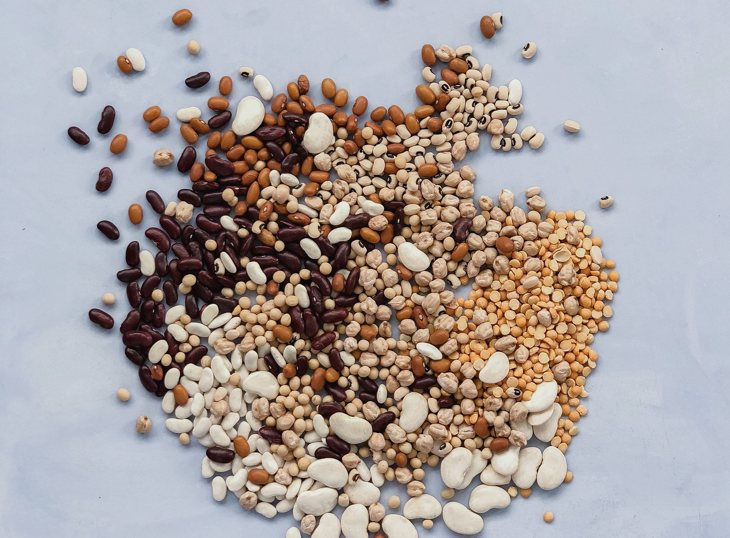 Q&A - De officielle kostråd​​​​‌﻿‍﻿​‍​‍‌‍﻿﻿‌﻿​‍‌‍‍‌‌‍‌﻿‌‍‍‌‌‍﻿‍​‍​‍​﻿‍‍​‍​‍‌﻿​﻿‌‍​‌‌‍﻿‍‌‍‍‌‌﻿‌​‌﻿‍‌​‍﻿‍‌‍‍‌‌‍﻿﻿​‍​‍​‍﻿​​‍​‍‌‍‍​‌﻿​‍‌‍‌‌‌‍‌‍​‍​‍​﻿‍‍​‍​‍‌‍‍​‌﻿‌​‌﻿‌​‌﻿​​​﻿‍‍​‍﻿﻿​‍﻿﻿‌‍﻿​‌‍﻿﻿‌‍​﻿‌‍​‌‌‍﻿​‌‍‍​‌‍﻿﻿‌﻿​﻿‌﻿‌​​﻿‍‍​﻿​﻿​﻿​﻿​﻿​﻿​﻿​﻿​‍﻿﻿‌‍‍‌‌‍﻿‍‌﻿‌​‌‍‌‌‌‍﻿‍‌﻿‌​​‍﻿﻿‌‍‌‌‌‍‌​‌‍‍‌‌﻿‌​​‍﻿﻿‌‍﻿‌‌‍﻿﻿‌‍‌​‌‍‌‌​﻿﻿‌‌﻿​​‌﻿​‍‌‍‌‌‌﻿​﻿‌‍‌‌‌‍﻿‍‌﻿‌​‌‍​‌‌﻿‌​‌‍‍‌‌‍﻿﻿‌‍﻿‍​﻿‍﻿‌‍‍‌‌‍‌​​﻿﻿‌‌‍‌‍‌‍​‍​﻿​​​﻿‌​​﻿‌﻿​﻿‌‍​﻿​​​﻿‍‌​‍﻿‌​﻿​‍​﻿​​​﻿‍‌‌‍‌​​‍﻿‌​﻿‌​‌‍‌‌​﻿‌﻿​﻿​‌​‍﻿‌​﻿‍​​﻿​​‌‍‌‌​﻿‍‌​‍﻿‌​﻿​‍​﻿​﻿​﻿‌﻿​﻿​﻿​﻿​​‌‍​‌‌‍‌‍​﻿​​‌‍​‍‌‍​‍‌‍‌​‌‍‌‌​﻿‍﻿‌﻿‌​‌﻿‍‌‌﻿​​‌‍‌‌​﻿﻿‌‌‍​‌‌﻿​‍‌﻿‌​‌‍‍‌‌‍​﻿‌‍﻿​‌‍‌‌​﻿‍﻿‌﻿​​‌‍​‌‌﻿‌​‌‍‍​​﻿﻿‌‌‍‍‌‌‍﻿‌‌‍​‌‌‍‌﻿‌‍‌‌​‍﻿‍‌‍​‌‌‍﻿​‌﻿‌​​﻿﻿﻿‌‍​‍‌‍​‌‌﻿​﻿‌‍‌‌‌‌‌‌‌﻿​‍‌‍﻿​​﻿﻿‌‌‍‍​‌﻿‌​‌﻿‌​‌﻿​​​‍‌‌​﻿​﻿‌​​‌​‍‌‌​﻿​‍‌​‌‍​‍‌‌​﻿​‍‌​‌‍‌‍﻿​‌‍﻿﻿‌‍​﻿‌‍​‌‌‍﻿​‌‍‍​‌‍﻿﻿‌﻿​﻿‌﻿‌​​‍‌‌​﻿​﻿‌​​‌​﻿​﻿​﻿​﻿​﻿​﻿​﻿​﻿​‍‌‍‌‍‍‌‌‍‌​​﻿﻿‌‌‍‌‍‌‍​‍​﻿​​​﻿‌​​﻿‌﻿​﻿‌‍​﻿​​​﻿‍‌​‍﻿‌​﻿​‍​﻿​​​﻿‍‌‌‍‌​​‍﻿‌​﻿‌​‌‍‌‌​﻿‌﻿​﻿​‌​‍﻿‌​﻿‍​​﻿​​‌‍‌‌​﻿‍‌​‍﻿‌​﻿​‍​﻿​﻿​﻿‌﻿​﻿​﻿​﻿​​‌‍​‌‌‍‌‍​﻿​​‌‍​‍‌‍​‍‌‍‌​‌‍‌‌​‍‌‍‌﻿‌​‌﻿‍‌‌﻿​​‌‍‌‌​﻿﻿‌‌‍​‌‌﻿​‍‌﻿‌​‌‍‍‌‌‍​﻿‌‍﻿​‌‍‌‌​‍‌‍‌﻿​​‌‍​‌‌﻿‌​‌‍‍​​﻿﻿‌‌‍‍‌‌‍﻿‌‌‍​‌‌‍‌﻿‌‍‌‌​‍﻿‍‌‍​‌‌‍﻿​‌﻿‌​​‍‌‍‌﻿​​‌‍‌‌‌﻿​‍‌﻿​﻿‌﻿​​‌‍‌‌‌‍​﻿‌﻿‌​‌‍‍‌‌﻿‌‍‌‍‌‌​﻿﻿‌‌﻿​​‌﻿‌‌‌‍​‍‌‍﻿​‌‍‍‌‌﻿​﻿‌‍‍​‌‍‌‌‌‍‌​​‍​‍‌﻿﻿‌