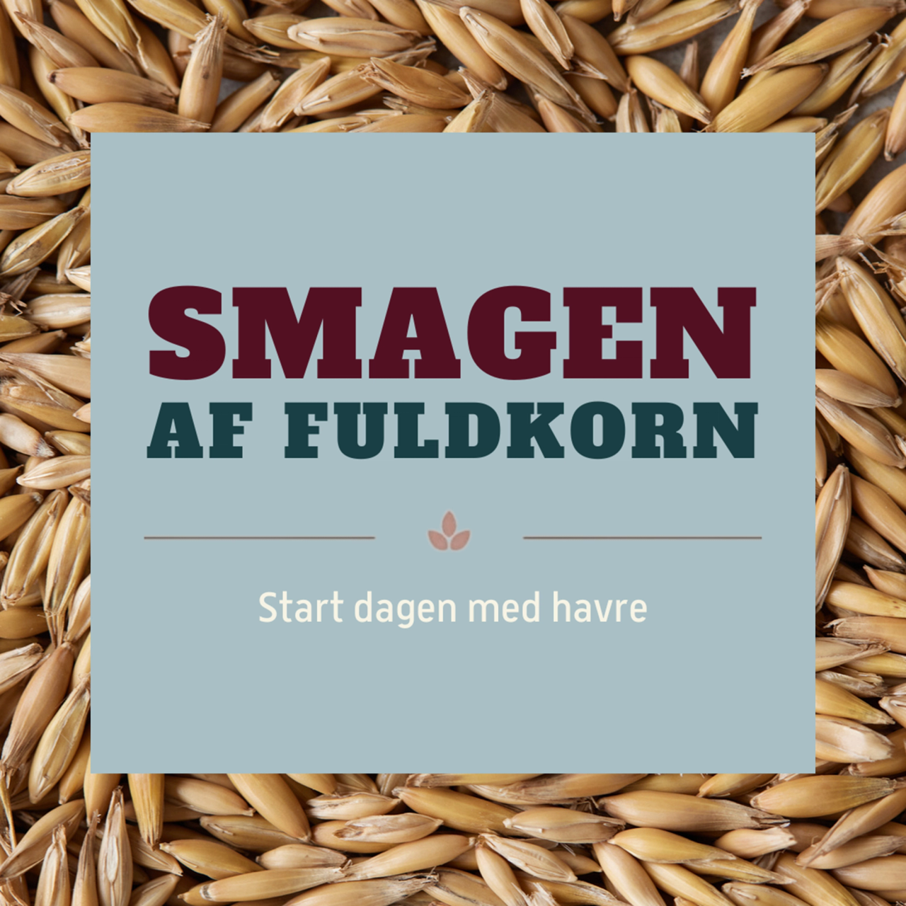 Smagen af fuldkorn​​​​‌﻿‍﻿​‍​‍‌‍﻿﻿‌﻿​‍‌‍‍‌‌‍‌﻿‌‍‍‌‌‍﻿‍​‍​‍​﻿‍‍​‍​‍‌﻿​﻿‌‍​‌‌‍﻿‍‌‍‍‌‌﻿‌​‌﻿‍‌​‍﻿‍‌‍‍‌‌‍﻿﻿​‍​‍​‍﻿​​‍​‍‌‍‍​‌﻿​‍‌‍‌‌‌‍‌‍​‍​‍​﻿‍‍​‍​‍‌‍‍​‌﻿‌​‌﻿‌​‌﻿​​​﻿‍‍​‍﻿﻿​‍﻿﻿‌‍﻿​‌‍﻿﻿‌‍​﻿‌‍​‌‌‍﻿​‌‍‍​‌‍﻿﻿‌﻿​﻿‌﻿‌​​﻿‍‍​﻿​﻿​﻿​﻿​﻿​﻿​﻿​﻿​‍﻿﻿‌‍‍‌‌‍﻿‍‌﻿‌​‌‍‌‌‌‍﻿‍‌﻿‌​​‍﻿﻿‌‍‌‌‌‍‌​‌‍‍‌‌﻿‌​​‍﻿﻿‌‍﻿‌‌‍﻿﻿‌‍‌​‌‍‌‌​﻿﻿‌‌﻿​​‌﻿​‍‌‍‌‌‌﻿​﻿‌‍‌‌‌‍﻿‍‌﻿‌​‌‍​‌‌﻿‌​‌‍‍‌‌‍﻿﻿‌‍﻿‍​﻿‍﻿‌‍‍‌‌‍‌​​﻿﻿‌​﻿‌‍​﻿​‍‌‍​‌​﻿​﻿‌‍‌​‌‍‌‌‌‍​‌​﻿​​​‍﻿‌​﻿‍‌​﻿​​​﻿‌﻿‌‍‌​​‍﻿‌​﻿‌​​﻿‌‍‌‍‌‍​﻿​﻿​‍﻿‌‌‍​‌​﻿​​‌‍‌‌‌‍‌​​‍﻿‌​﻿‍‌​﻿‍​‌‍​‍​﻿‌﻿​﻿‌‍​﻿​‌​﻿‍‌‌‍​﻿​﻿‌​​﻿​​​﻿‍​​﻿‌‌​﻿‍﻿‌﻿‌​‌﻿‍‌‌﻿​​‌‍‌‌​﻿﻿‌‌‍​‌‌﻿​‍‌﻿‌​‌‍‍‌‌‍​﻿‌‍﻿​‌‍‌‌​﻿‍﻿‌﻿​​‌‍​‌‌﻿‌​‌‍‍​​﻿﻿‌‌﻿​​‌‍﻿﻿‌﻿​‍‌﻿‌​‌‍​‌‌‍​‍‌‍﻿​‌‍‌‌‌﻿‌​‌‍‌‌‌﻿‍​‌﻿‌​​‍‌‌​﻿‌‌‌​​‍‌‌﻿﻿‌‍‍﻿‌‍‌‌‌﻿‍‌​‍‌‌​﻿​﻿‌​‌​​‍‌‌​﻿​﻿‌​‌​​‍‌‌​﻿​‍​﻿​‍​﻿​‌​﻿‍​​﻿‍​​﻿‌‌​﻿‍​‌‍‌‍​﻿‌‍‌‍‌​​‍‌‌​﻿​‍​﻿​‍​‍‌‌​﻿‌‌‌​‌​​‍﻿‍‌﻿​﻿‌‍﻿​‌‍‍‌‌‍‌​‌‍‌‌‌﻿​﻿​‍‌‌​﻿‌‌‌​​‍‌‌﻿﻿‌‍‍﻿‌‍‌‌‌﻿‍‌​‍‌‌​﻿​﻿‌​‌​​‍‌‌​﻿​﻿‌​‌​​‍‌‌​﻿​‍​﻿​‍​﻿‌‍​﻿‍​‌‍‌‌​﻿​﻿‌‍‌‍​﻿‍​‌‍‌‍‌‍​‍​‍‌‌​﻿​‍​﻿​‍​‍‌‌​﻿‌‌‌​‌​​‍﻿‍‌‍‍‌‌‍﻿‌‌‍​‌‌‍‌﻿‌‍‌‌​‍﻿‍‌‍​‌‌‍﻿​‌﻿‌​​﻿﻿﻿‌‍​‍‌‍​‌‌﻿​﻿‌‍‌‌‌‌‌‌‌﻿​‍‌‍﻿​​﻿﻿‌‌‍‍​‌﻿‌​‌﻿‌​‌﻿​​​‍‌‌​﻿​﻿‌​​‌​‍‌‌​﻿​‍‌​‌‍​‍‌‌​﻿​‍‌​‌‍‌‍﻿​‌‍﻿﻿‌‍​﻿‌‍​‌‌‍﻿​‌‍‍​‌‍﻿﻿‌﻿​﻿‌﻿‌​​‍‌‌​﻿​﻿‌​​‌​﻿​﻿​﻿​﻿​﻿​﻿​﻿​﻿​‍‌‍‌‍‍‌‌‍‌​​﻿﻿‌​﻿‌‍​﻿​‍‌‍​‌​﻿​﻿‌‍‌​‌‍‌‌‌‍​‌​﻿​​​‍﻿‌​﻿‍‌​﻿​​​﻿‌﻿‌‍‌​​‍﻿‌​﻿‌​​﻿‌‍‌‍‌‍​﻿​﻿​‍﻿‌‌‍​‌​﻿​​‌‍‌‌‌‍‌​​‍﻿‌​﻿‍‌​﻿‍​‌‍​‍​﻿‌﻿​﻿‌‍​﻿​‌​﻿‍‌‌‍​﻿​﻿‌​​﻿​​​﻿‍​​﻿‌‌​‍‌‍‌﻿‌​‌﻿‍‌‌﻿​​‌‍‌‌​﻿﻿‌‌‍​‌‌﻿​‍‌﻿‌​‌‍‍‌‌‍​﻿‌‍﻿​‌‍‌‌​‍‌‍‌﻿​​‌‍​‌‌﻿‌​‌‍‍​​﻿﻿‌‌﻿​​‌‍﻿﻿‌﻿​‍‌﻿‌​‌‍​‌‌‍​‍‌‍﻿​‌‍‌‌‌﻿‌​‌‍‌‌‌﻿‍​‌﻿‌​​‍‌‌​﻿‌‌‌​​‍‌‌﻿﻿‌‍‍﻿‌‍‌‌‌﻿‍‌​‍‌‌​﻿​﻿‌​‌​​‍‌‌​﻿​﻿‌​‌​​‍‌‌​﻿​‍​﻿​‍​﻿​‌​﻿‍​​﻿‍​​﻿‌‌​﻿‍​‌‍‌‍​﻿‌‍‌‍‌​​‍‌‌​﻿​‍​﻿​‍​‍‌‌​﻿‌‌‌​‌​​‍﻿‍‌﻿​﻿‌‍﻿​‌‍‍‌‌‍‌​‌‍‌‌‌﻿​﻿​‍‌‌​﻿‌‌‌​​‍‌‌﻿﻿‌‍‍﻿‌‍‌‌‌﻿‍‌​‍‌‌​﻿​﻿‌​‌​​‍‌‌​﻿​﻿‌​‌​​‍‌‌​﻿​‍​﻿​‍​﻿‌‍​﻿‍​‌‍‌‌​﻿​﻿‌‍‌‍​﻿‍​‌‍‌‍‌‍​‍​‍‌‌​﻿​‍​﻿​‍​‍‌‌​﻿‌‌‌​‌​​‍﻿‍‌‍‍‌‌‍﻿‌‌‍​‌‌‍‌﻿‌‍‌‌​‍﻿‍‌‍​‌‌‍﻿​‌﻿‌​​‍‌‍‌﻿​​‌‍‌‌‌﻿​‍‌﻿​﻿‌﻿​​‌‍‌‌‌‍​﻿‌﻿‌​‌‍‍‌‌﻿‌‍‌‍‌‌​﻿﻿‌‌﻿​​‌﻿‌‌‌‍​‍‌‍﻿​‌‍‍‌‌﻿​﻿‌‍‍​‌‍‌‌‌‍‌​​‍​‍‌﻿﻿‌