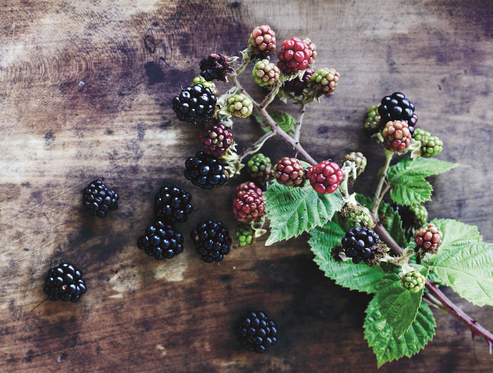 Brombærmarmelade​​​​‌﻿‍﻿​‍​‍‌‍﻿﻿‌﻿​‍‌‍‍‌‌‍‌﻿‌‍‍‌‌‍﻿‍​‍​‍​﻿‍‍​‍​‍‌﻿​﻿‌‍​‌‌‍﻿‍‌‍‍‌‌﻿‌​‌﻿‍‌​‍﻿‍‌‍‍‌‌‍﻿﻿​‍​‍​‍﻿​​‍​‍‌‍‍​‌﻿​‍‌‍‌‌‌‍‌‍​‍​‍​﻿‍‍​‍​‍‌‍‍​‌﻿‌​‌﻿‌​‌﻿​​​﻿‍‍​‍﻿﻿​‍﻿﻿‌‍﻿​‌‍﻿﻿‌‍​﻿‌‍​‌‌‍﻿​‌‍‍​‌‍﻿﻿‌﻿​﻿‌﻿‌​​﻿‍‍​﻿​﻿​﻿​﻿​﻿​﻿​﻿​﻿​‍﻿﻿‌‍‍‌‌‍﻿‍‌﻿‌​‌‍‌‌‌‍﻿‍‌﻿‌​​‍﻿﻿‌‍‌‌‌‍‌​‌‍‍‌‌﻿‌​​‍﻿﻿‌‍﻿‌‌‍﻿﻿‌‍‌​‌‍‌‌​﻿﻿‌‌﻿​​‌﻿​‍‌‍‌‌‌﻿​﻿‌‍‌‌‌‍﻿‍‌﻿‌​‌‍​‌‌﻿‌​‌‍‍‌‌‍﻿﻿‌‍﻿‍​﻿‍﻿‌‍‍‌‌‍‌​​﻿﻿‌‌‍‌​​﻿‌​​﻿‌​​﻿​‍​﻿‌​‌‍​﻿‌‍‌‌​﻿‍​​‍﻿‌‌‍​‍​﻿‍​‌‍‌​​﻿‍​​‍﻿‌​﻿‌‌​﻿‌​​﻿‌﻿‌‍‌‍​‍﻿‌‌‍​‌​﻿​​‌‍‌‌‌‍​‌​‍﻿‌‌‍‌‌​﻿‌﻿‌‍‌​‌‍‌‌‌‍​‍‌‍‌‍​﻿​‌‌‍‌​​﻿​​​﻿‌﻿​﻿​﻿​﻿‌‍​﻿‍﻿‌﻿‌​‌﻿‍‌‌﻿​​‌‍‌‌​﻿﻿‌‌﻿​‍‌‍‌‌‌‍​﻿‌‍‍‌‌﻿​​‌‍‌‌​﻿‍﻿‌﻿​​‌‍​‌‌﻿‌​‌‍‍​​﻿﻿‌‌‍‍‌‌‍﻿‌‌‍​‌‌‍‌﻿‌‍‌‌​‍﻿‍‌‍​‌‌‍﻿​‌﻿‌​​﻿﻿﻿‌‍​‍‌‍​‌‌﻿​﻿‌‍‌‌‌‌‌‌‌﻿​‍‌‍﻿​​﻿﻿‌‌‍‍​‌﻿‌​‌﻿‌​‌﻿​​​‍‌‌​﻿​﻿‌​​‌​‍‌‌​﻿​‍‌​‌‍​‍‌‌​﻿​‍‌​‌‍‌‍﻿​‌‍﻿﻿‌‍​﻿‌‍​‌‌‍﻿​‌‍‍​‌‍﻿﻿‌﻿​﻿‌﻿‌​​‍‌‌​﻿​﻿‌​​‌​﻿​﻿​﻿​﻿​﻿​﻿​﻿​﻿​‍‌‍‌‍‍‌‌‍‌​​﻿﻿‌‌‍‌​​﻿‌​​﻿‌​​﻿​‍​﻿‌​‌‍​﻿‌‍‌‌​﻿‍​​‍﻿‌‌‍​‍​﻿‍​‌‍‌​​﻿‍​​‍﻿‌​﻿‌‌​﻿‌​​﻿‌﻿‌‍‌‍​‍﻿‌‌‍​‌​﻿​​‌‍‌‌‌‍​‌​‍﻿‌‌‍‌‌​﻿‌﻿‌‍‌​‌‍‌‌‌‍​‍‌‍‌‍​﻿​‌‌‍‌​​﻿​​​﻿‌﻿​﻿​﻿​﻿‌‍​‍‌‍‌﻿‌​‌﻿‍‌‌﻿​​‌‍‌‌​﻿﻿‌‌﻿​‍‌‍‌‌‌‍​﻿‌‍‍‌‌﻿​​‌‍‌‌​‍‌‍‌﻿​​‌‍​‌‌﻿‌​‌‍‍​​﻿﻿‌‌‍‍‌‌‍﻿‌‌‍​‌‌‍‌﻿‌‍‌‌​‍﻿‍‌‍​‌‌‍﻿​‌﻿‌​​‍‌‍‌﻿​​‌‍‌‌‌﻿​‍‌﻿​﻿‌﻿​​‌‍‌‌‌‍​﻿‌﻿‌​‌‍‍‌‌﻿‌‍‌‍‌‌​﻿﻿‌‌﻿​​‌﻿‌‌‌‍​‍‌‍﻿​‌‍‍‌‌﻿​﻿‌‍‍​‌‍‌‌‌‍‌​​‍​‍‌﻿﻿‌