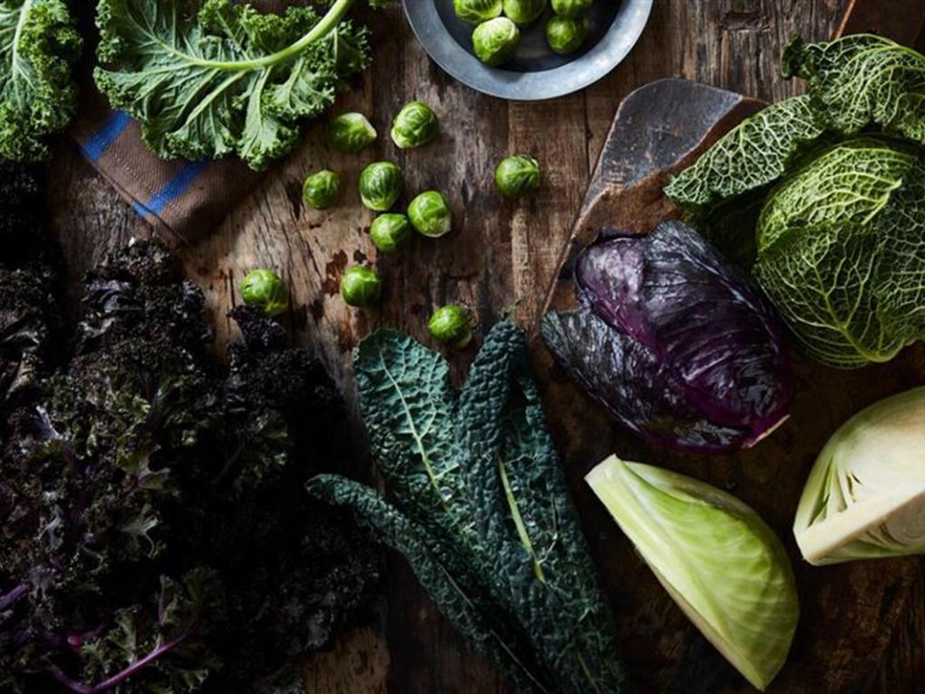 Få en grøn start i 2026