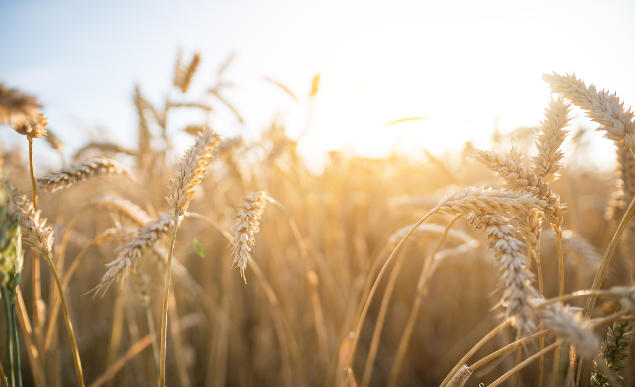 Mere end mad – sådan arbejder vi med bæredygtighed i Madhallen​​​​‌﻿‍﻿​‍​‍‌‍﻿﻿‌﻿​‍‌‍‍‌‌‍‌﻿‌‍‍‌‌‍﻿‍​‍​‍​﻿‍‍​‍​‍‌﻿​﻿‌‍​‌‌‍﻿‍‌‍‍‌‌﻿‌​‌﻿‍‌​‍﻿‍‌‍‍‌‌‍﻿﻿​‍​‍​‍﻿​​‍​‍‌‍‍​‌﻿​‍‌‍‌‌‌‍‌‍​‍​‍​﻿‍‍​‍​‍‌‍‍​‌﻿‌​‌﻿‌​‌﻿​​​﻿‍‍​‍﻿﻿​‍﻿﻿‌‍﻿​‌‍﻿﻿‌‍​﻿‌‍​‌‌‍﻿​‌‍‍​‌‍﻿﻿‌﻿​﻿‌﻿‌​​﻿‍‍​﻿​﻿​﻿​﻿​﻿​﻿​﻿​﻿​‍﻿﻿‌‍‍‌‌‍﻿‍‌﻿‌​‌‍‌‌‌‍﻿‍‌﻿‌​​‍﻿﻿‌‍‌‌‌‍‌​‌‍‍‌‌﻿‌​​‍﻿﻿‌‍﻿‌‌‍﻿﻿‌‍‌​‌‍‌‌​﻿﻿‌‌﻿​​‌﻿​‍‌‍‌‌‌﻿​﻿‌‍‌‌‌‍﻿‍‌﻿‌​‌‍​‌‌﻿‌​‌‍‍‌‌‍﻿﻿‌‍﻿‍​﻿‍﻿‌‍‍‌‌‍‌​​﻿﻿‌​﻿‌‍​﻿​﻿‌‍​﻿​﻿‍‌‌‍​﻿​﻿‌﻿​﻿​‍‌‍​﻿​‍﻿‌​﻿​‍​﻿‌‍​﻿‌‌​﻿​​​‍﻿‌​﻿‌​​﻿‌‌‌‍​‌‌‍​﻿​‍﻿‌​﻿‍​​﻿​‍​﻿‌‍​﻿‌‍​‍﻿‌​﻿​‌‌‍​‌‌‍‌‌​﻿‌​‌‍‌‌‌‍​‌​﻿‌​​﻿‍​‌‍​‌​﻿​‌​﻿​‍​﻿‌‍​﻿‍﻿‌﻿‌​‌﻿‍‌‌﻿​​‌‍‌‌​﻿﻿‌‌‍​‌‌﻿​‍‌﻿‌​‌‍‍‌‌‍​﻿‌‍﻿​‌‍‌‌​﻿‍﻿‌﻿​​‌‍​‌‌﻿‌​‌‍‍​​﻿﻿‌‌‍‍‌‌‍﻿‌‌‍​‌‌‍‌﻿‌‍‌‌​‍﻿‍‌‍​‌‌‍﻿​‌﻿‌​​﻿﻿﻿‌‍​‍‌‍​‌‌﻿​﻿‌‍‌‌‌‌‌‌‌﻿​‍‌‍﻿​​﻿﻿‌‌‍‍​‌﻿‌​‌﻿‌​‌﻿​​​‍‌‌​﻿​﻿‌​​‌​‍‌‌​﻿​‍‌​‌‍​‍‌‌​﻿​‍‌​‌‍‌‍﻿​‌‍﻿﻿‌‍​﻿‌‍​‌‌‍﻿​‌‍‍​‌‍﻿﻿‌﻿​﻿‌﻿‌​​‍‌‌​﻿​﻿‌​​‌​﻿​﻿​﻿​﻿​﻿​﻿​﻿​﻿​‍‌‍‌‍‍‌‌‍‌​​﻿﻿‌​﻿‌‍​﻿​﻿‌‍​﻿​﻿‍‌‌‍​﻿​﻿‌﻿​﻿​‍‌‍​﻿​‍﻿‌​﻿​‍​﻿‌‍​﻿‌‌​﻿​​​‍﻿‌​﻿‌​​﻿‌‌‌‍​‌‌‍​﻿​‍﻿‌​﻿‍​​﻿​‍​﻿‌‍​﻿‌‍​‍﻿‌​﻿​‌‌‍​‌‌‍‌‌​﻿‌​‌‍‌‌‌‍​‌​﻿‌​​﻿‍​‌‍​‌​﻿​‌​﻿​‍​﻿‌‍​‍‌‍‌﻿‌​‌﻿‍‌‌﻿​​‌‍‌‌​﻿﻿‌‌‍​‌‌﻿​‍‌﻿‌​‌‍‍‌‌‍​﻿‌‍﻿​‌‍‌‌​‍‌‍‌﻿​​‌‍​‌‌﻿‌​‌‍‍​​﻿﻿‌‌‍‍‌‌‍﻿‌‌‍​‌‌‍‌﻿‌‍‌‌​‍﻿‍‌‍​‌‌‍﻿​‌﻿‌​​‍‌‍‌﻿​​‌‍‌‌‌﻿​‍‌﻿​﻿‌﻿​​‌‍‌‌‌‍​﻿‌﻿‌​‌‍‍‌‌﻿‌‍‌‍‌‌​﻿﻿‌‌﻿​​‌﻿‌‌‌‍​‍‌‍﻿​‌‍‍‌‌﻿​﻿‌‍‍​‌‍‌‌‌‍‌​​‍​‍‌﻿﻿‌