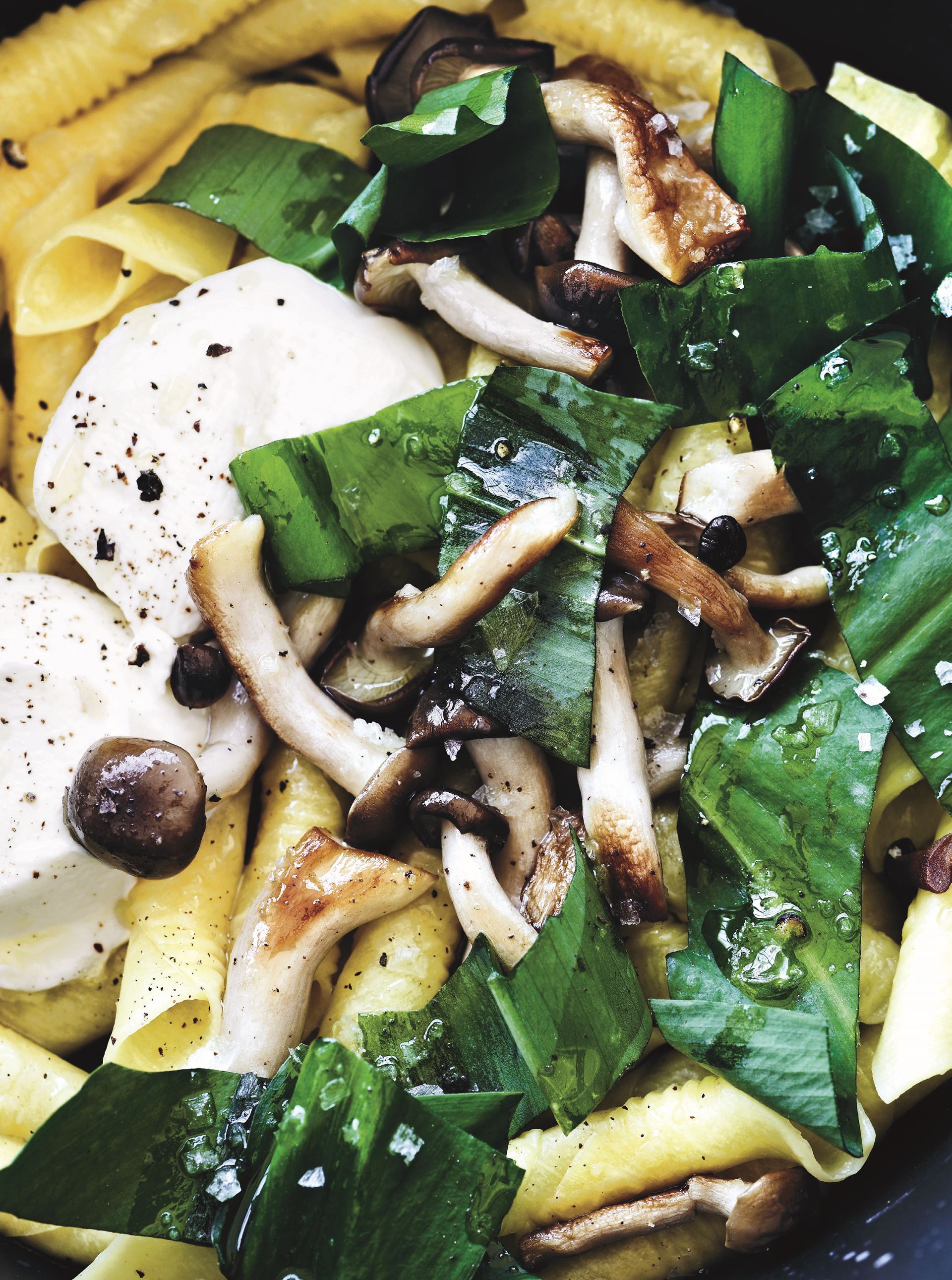 Garganelli med ramsløg, forårssvampe og friskost​​​​‌﻿‍﻿​‍​‍‌‍﻿﻿‌﻿​‍‌‍‍‌‌‍‌﻿‌‍‍‌‌‍﻿‍​‍​‍​﻿‍‍​‍​‍‌﻿​﻿‌‍​‌‌‍﻿‍‌‍‍‌‌﻿‌​‌﻿‍‌​‍﻿‍‌‍‍‌‌‍﻿﻿​‍​‍​‍﻿​​‍​‍‌‍‍​‌﻿​‍‌‍‌‌‌‍‌‍​‍​‍​﻿‍‍​‍​‍‌‍‍​‌﻿‌​‌﻿‌​‌﻿​​​﻿‍‍​‍﻿﻿​‍﻿﻿‌‍﻿​‌‍﻿﻿‌‍​﻿‌‍​‌‌‍﻿​‌‍‍​‌‍﻿﻿‌﻿​﻿‌﻿‌​​﻿‍‍​﻿​﻿​﻿​﻿​﻿​﻿​﻿​﻿​‍﻿﻿‌‍‍‌‌‍﻿‍‌﻿‌​‌‍‌‌‌‍﻿‍‌﻿‌​​‍﻿﻿‌‍‌‌‌‍‌​‌‍‍‌‌﻿‌​​‍﻿﻿‌‍﻿‌‌‍﻿﻿‌‍‌​‌‍‌‌​﻿﻿‌‌﻿​​‌﻿​‍‌‍‌‌‌﻿​﻿‌‍‌‌‌‍﻿‍‌﻿‌​‌‍​‌‌﻿‌​‌‍‍‌‌‍﻿﻿‌‍﻿‍​﻿‍﻿‌‍‍‌‌‍‌​​﻿﻿‌‌‍​‌​﻿​​‌‍‌‌‌‍​﻿​﻿​‍​﻿‍‌‌‍‌​‌‍‌​​‍﻿‌​﻿‌﻿​﻿‌‌​﻿‌‍‌‍‌‌​‍﻿‌​﻿‌‌​﻿‌​​﻿‌​​﻿‍‌​‍﻿‌‌‍​‍‌‍‌‌‌‍‌‍​﻿​﻿​‍﻿‌​﻿‌​​﻿​‍‌‍​﻿‌‍‌​​﻿​‍‌‍‌​​﻿​﻿​﻿‍​​﻿​‍​﻿‌﻿‌‍‌​​﻿​​​﻿‍﻿‌﻿‌​‌﻿‍‌‌﻿​​‌‍‌‌​﻿﻿‌‌﻿​‍‌‍‌‌‌‍​﻿‌‍‍‌‌﻿​​‌‍‌‌​﻿‍﻿‌﻿​​‌‍​‌‌﻿‌​‌‍‍​​﻿﻿‌‌‍‍‌‌‍﻿‌‌‍​‌‌‍‌﻿‌‍‌‌​‍﻿‍‌‍​‌‌‍﻿​‌﻿‌​​﻿﻿﻿‌‍​‍‌‍​‌‌﻿​﻿‌‍‌‌‌‌‌‌‌﻿​‍‌‍﻿​​﻿﻿‌‌‍‍​‌﻿‌​‌﻿‌​‌﻿​​​‍‌‌​﻿​﻿‌​​‌​‍‌‌​﻿​‍‌​‌‍​‍‌‌​﻿​‍‌​‌‍‌‍﻿​‌‍﻿﻿‌‍​﻿‌‍​‌‌‍﻿​‌‍‍​‌‍﻿﻿‌﻿​﻿‌﻿‌​​‍‌‌​﻿​﻿‌​​‌​﻿​﻿​﻿​﻿​﻿​﻿​﻿​﻿​‍‌‍‌‍‍‌‌‍‌​​﻿﻿‌‌‍​‌​﻿​​‌‍‌‌‌‍​﻿​﻿​‍​﻿‍‌‌‍‌​‌‍‌​​‍﻿‌​﻿‌﻿​﻿‌‌​﻿‌‍‌‍‌‌​‍﻿‌​﻿‌‌​﻿‌​​﻿‌​​﻿‍‌​‍﻿‌‌‍​‍‌‍‌‌‌‍‌‍​﻿​﻿​‍﻿‌​﻿‌​​﻿​‍‌‍​﻿‌‍‌​​﻿​‍‌‍‌​​﻿​﻿​﻿‍​​﻿​‍​﻿‌﻿‌‍‌​​﻿​​​‍‌‍‌﻿‌​‌﻿‍‌‌﻿​​‌‍‌‌​﻿﻿‌‌﻿​‍‌‍‌‌‌‍​﻿‌‍‍‌‌﻿​​‌‍‌‌​‍‌‍‌﻿​​‌‍​‌‌﻿‌​‌‍‍​​﻿﻿‌‌‍‍‌‌‍﻿‌‌‍​‌‌‍‌﻿‌‍‌‌​‍﻿‍‌‍​‌‌‍﻿​‌﻿‌​​‍‌‍‌﻿​​‌‍‌‌‌﻿​‍‌﻿​﻿‌﻿​​‌‍‌‌‌‍​﻿‌﻿‌​‌‍‍‌‌﻿‌‍‌‍‌‌​﻿﻿‌‌﻿​​‌﻿‌‌‌‍​‍‌‍﻿​‌‍‍‌‌﻿​﻿‌‍‍​‌‍‌‌‌‍‌​​‍​‍‌﻿﻿‌