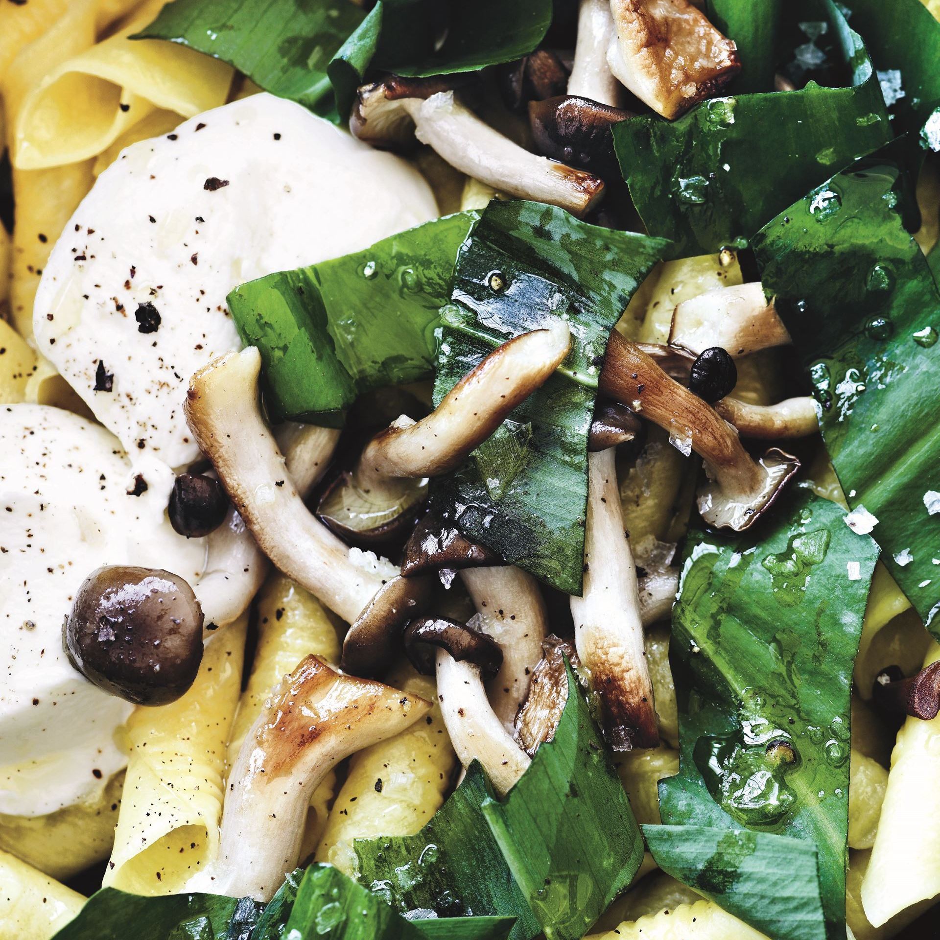 Garganelli med ramsløg, forårssvampe og friskost