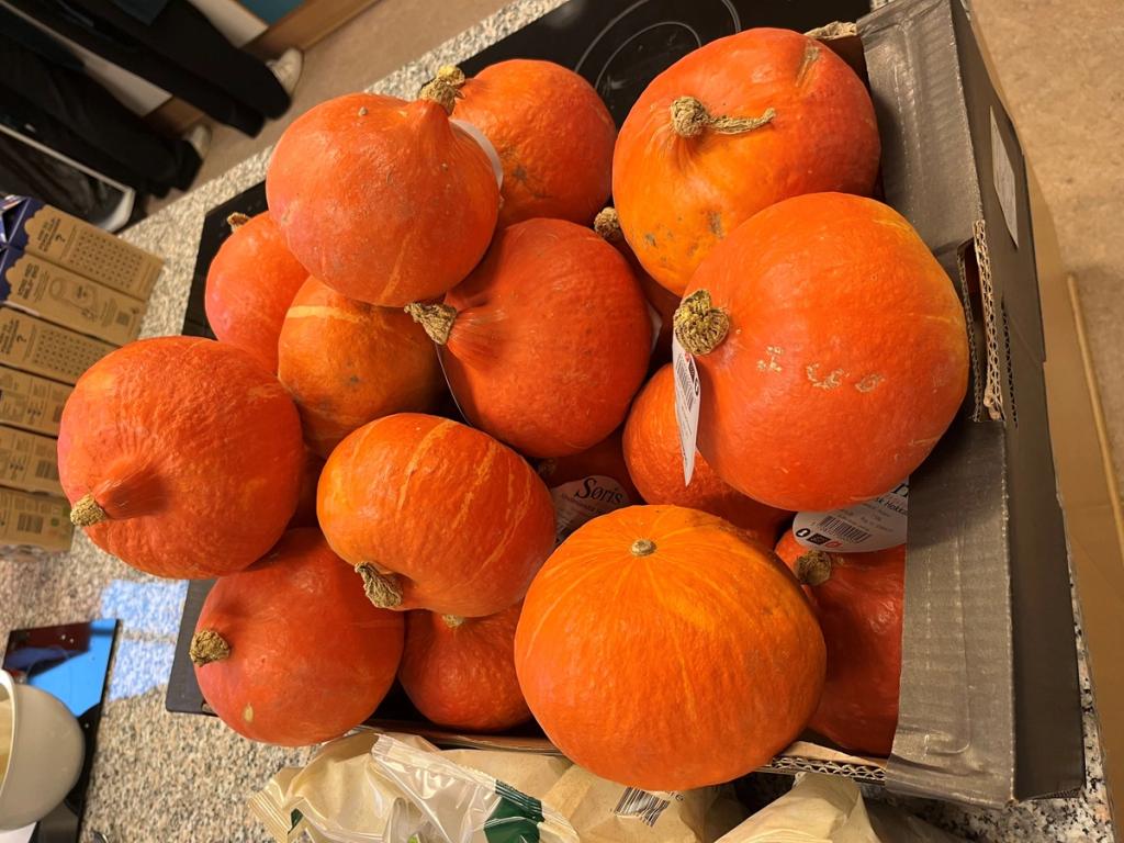 Grønne indspark til en hvid jul