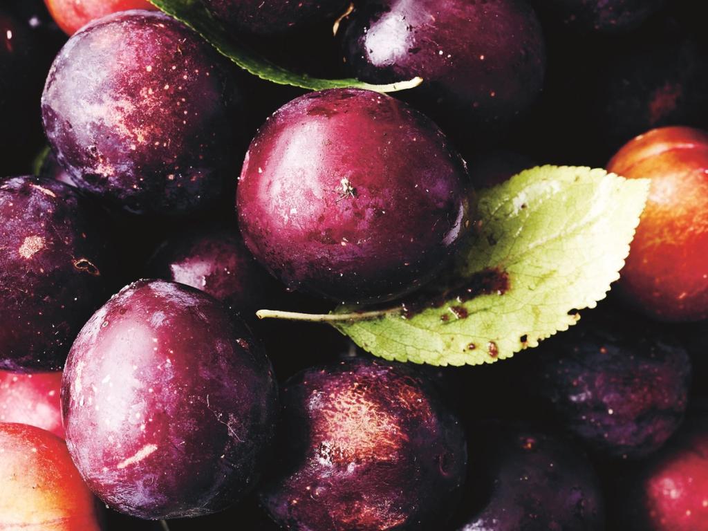 Brug de vidunderlige danske blommer