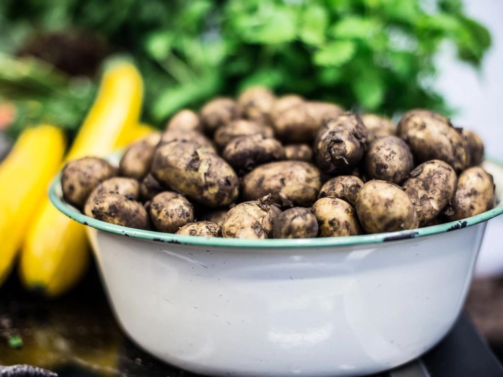 Sådan sparer du penge i køkkenet