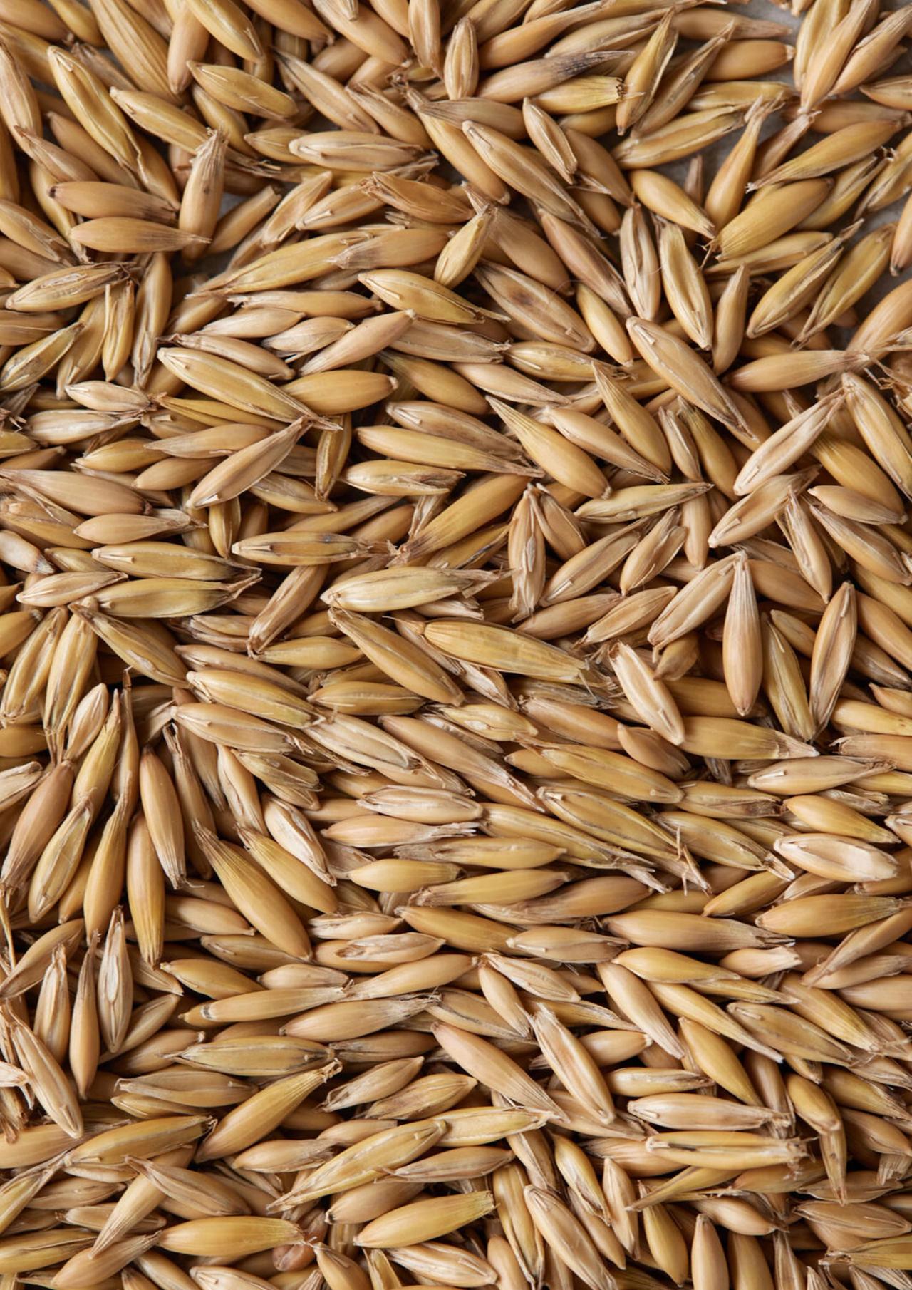 Emmer​​​​‌﻿‍﻿​‍​‍‌‍﻿﻿‌﻿​‍‌‍‍‌‌‍‌﻿‌‍‍‌‌‍﻿‍​‍​‍​﻿‍‍​‍​‍‌﻿​﻿‌‍​‌‌‍﻿‍‌‍‍‌‌﻿‌​‌﻿‍‌​‍﻿‍‌‍‍‌‌‍﻿﻿​‍​‍​‍﻿​​‍​‍‌‍‍​‌﻿​‍‌‍‌‌‌‍‌‍​‍​‍​﻿‍‍​‍​‍‌‍‍​‌﻿‌​‌﻿‌​‌﻿​​​﻿‍‍​‍﻿﻿​‍﻿﻿‌‍﻿​‌‍﻿﻿‌‍​﻿‌‍​‌‌‍﻿​‌‍‍​‌‍﻿﻿‌﻿​﻿‌﻿‌​​﻿‍‍​﻿​﻿​﻿​﻿​﻿​﻿​﻿​﻿​‍﻿﻿‌‍‍‌‌‍﻿‍‌﻿‌​‌‍‌‌‌‍﻿‍‌﻿‌​​‍﻿﻿‌‍‌‌‌‍‌​‌‍‍‌‌﻿‌​​‍﻿﻿‌‍﻿‌‌‍﻿﻿‌‍‌​‌‍‌‌​﻿﻿‌‌﻿​​‌﻿​‍‌‍‌‌‌﻿​﻿‌‍‌‌‌‍﻿‍‌﻿‌​‌‍​‌‌﻿‌​‌‍‍‌‌‍﻿﻿‌‍﻿‍​﻿‍﻿‌‍‍‌‌‍‌​​﻿﻿‌​﻿​‌​﻿​​​﻿‍‌‌‍‌‌​﻿​‌‌‍‌​​﻿​‌​﻿​‍​‍﻿‌‌‍​‌​﻿‍​​﻿‌‍​﻿​​​‍﻿‌​﻿‌​‌‍‌‌​﻿‍‌​﻿‌​​‍﻿‌‌‍​‍​﻿‌﻿‌‍‌‍‌‍​﻿​‍﻿‌‌‍​﻿‌‍​﻿​﻿‌‍​﻿‍‌​﻿​‌​﻿‌​‌‍​﻿​﻿​​​﻿‌‌‌‍‌‌​﻿​‌​﻿‌﻿​﻿‍﻿‌﻿‌​‌﻿‍‌‌﻿​​‌‍‌‌​﻿﻿‌‌‍​‌‌﻿​‍‌﻿‌​‌‍‍‌‌‍​﻿‌‍﻿​‌‍‌‌​﻿‍﻿‌﻿​​‌‍​‌‌﻿‌​‌‍‍​​﻿﻿‌‌﻿​​‌‍﻿﻿‌﻿​‍‌﻿‌​‌‍​‌‌‍​‍‌‍﻿​‌‍‌‌‌﻿‌​‌‍‌‌‌﻿‍​‌﻿‌​​‍‌‌​﻿‌‌‌​​‍‌‌﻿﻿‌‍‍﻿‌‍‌‌‌﻿‍‌​‍‌‌​﻿​﻿‌​‌​​‍‌‌​﻿​﻿‌​‌​​‍‌‌​﻿​‍​﻿​‍​﻿​​​﻿​‌​﻿‌‍​﻿​‍‌‍‌‌‌‍​‌‌‍‌‍​﻿‍‌​‍‌‌​﻿​‍​﻿​‍​‍‌‌​﻿‌‌‌​‌​​‍﻿‍‌﻿​﻿‌‍﻿​‌‍‍‌‌‍‌​‌‍‌‌‌﻿​﻿​‍‌‌​﻿‌‌‌​​‍‌‌﻿﻿‌‍‍﻿‌‍‌‌‌﻿‍‌​‍‌‌​﻿​﻿‌​‌​​‍‌‌​﻿​﻿‌​‌​​‍‌‌​﻿​‍​﻿​‍‌‍​‌‌‍‌​‌‍‌‌‌‍​﻿‌‍​‍​﻿‌​​﻿​​​﻿‍‌​‍‌‌​﻿​‍​﻿​‍​‍‌‌​﻿‌‌‌​‌​​‍﻿‍‌‍‍‌‌‍﻿‌‌‍​‌‌‍‌﻿‌‍‌‌​‍﻿‍‌‍​‌‌‍﻿​‌﻿‌​​﻿﻿﻿‌‍​‍‌‍​‌‌﻿​﻿‌‍‌‌‌‌‌‌‌﻿​‍‌‍﻿​​﻿﻿‌‌‍‍​‌﻿‌​‌﻿‌​‌﻿​​​‍‌‌​﻿​﻿‌​​‌​‍‌‌​﻿​‍‌​‌‍​‍‌‌​﻿​‍‌​‌‍‌‍﻿​‌‍﻿﻿‌‍​﻿‌‍​‌‌‍﻿​‌‍‍​‌‍﻿﻿‌﻿​﻿‌﻿‌​​‍‌‌​﻿​﻿‌​​‌​﻿​﻿​﻿​﻿​﻿​﻿​﻿​﻿​‍‌‍‌‍‍‌‌‍‌​​﻿﻿‌​﻿​‌​﻿​​​﻿‍‌‌‍‌‌​﻿​‌‌‍‌​​﻿​‌​﻿​‍​‍﻿‌‌‍​‌​﻿‍​​﻿‌‍​﻿​​​‍﻿‌​﻿‌​‌‍‌‌​﻿‍‌​﻿‌​​‍﻿‌‌‍​‍​﻿‌﻿‌‍‌‍‌‍​﻿​‍﻿‌‌‍​﻿‌‍​﻿​﻿‌‍​﻿‍‌​﻿​‌​﻿‌​‌‍​﻿​﻿​​​﻿‌‌‌‍‌‌​﻿​‌​﻿‌﻿​‍‌‍‌﻿‌​‌﻿‍‌‌﻿​​‌‍‌‌​﻿﻿‌‌‍​‌‌﻿​‍‌﻿‌​‌‍‍‌‌‍​﻿‌‍﻿​‌‍‌‌​‍‌‍‌﻿​​‌‍​‌‌﻿‌​‌‍‍​​﻿﻿‌‌﻿​​‌‍﻿﻿‌﻿​‍‌﻿‌​‌‍​‌‌‍​‍‌‍﻿​‌‍‌‌‌﻿‌​‌‍‌‌‌﻿‍​‌﻿‌​​‍‌‌​﻿‌‌‌​​‍‌‌﻿﻿‌‍‍﻿‌‍‌‌‌﻿‍‌​‍‌‌​﻿​﻿‌​‌​​‍‌‌​﻿​﻿‌​‌​​‍‌‌​﻿​‍​﻿​‍​﻿​​​﻿​‌​﻿‌‍​﻿​‍‌‍‌‌‌‍​‌‌‍‌‍​﻿‍‌​‍‌‌​﻿​‍​﻿​‍​‍‌‌​﻿‌‌‌​‌​​‍﻿‍‌﻿​﻿‌‍﻿​‌‍‍‌‌‍‌​‌‍‌‌‌﻿​﻿​‍‌‌​﻿‌‌‌​​‍‌‌﻿﻿‌‍‍﻿‌‍‌‌‌﻿‍‌​‍‌‌​﻿​﻿‌​‌​​‍‌‌​﻿​﻿‌​‌​​‍‌‌​﻿​‍​﻿​‍‌‍​‌‌‍‌​‌‍‌‌‌‍​﻿‌‍​‍​﻿‌​​﻿​​​﻿‍‌​‍‌‌​﻿​‍​﻿​‍​‍‌‌​﻿‌‌‌​‌​​‍﻿‍‌‍‍‌‌‍﻿‌‌‍​‌‌‍‌﻿‌‍‌‌​‍﻿‍‌‍​‌‌‍﻿​‌﻿‌​​‍‌‍‌﻿​​‌‍‌‌‌﻿​‍‌﻿​﻿‌﻿​​‌‍‌‌‌‍​﻿‌﻿‌​‌‍‍‌‌﻿‌‍‌‍‌‌​﻿﻿‌‌﻿​​‌﻿‌‌‌‍​‍‌‍﻿​‌‍‍‌‌﻿​﻿‌‍‍​‌‍‌‌‌‍‌​​‍​‍‌﻿﻿‌