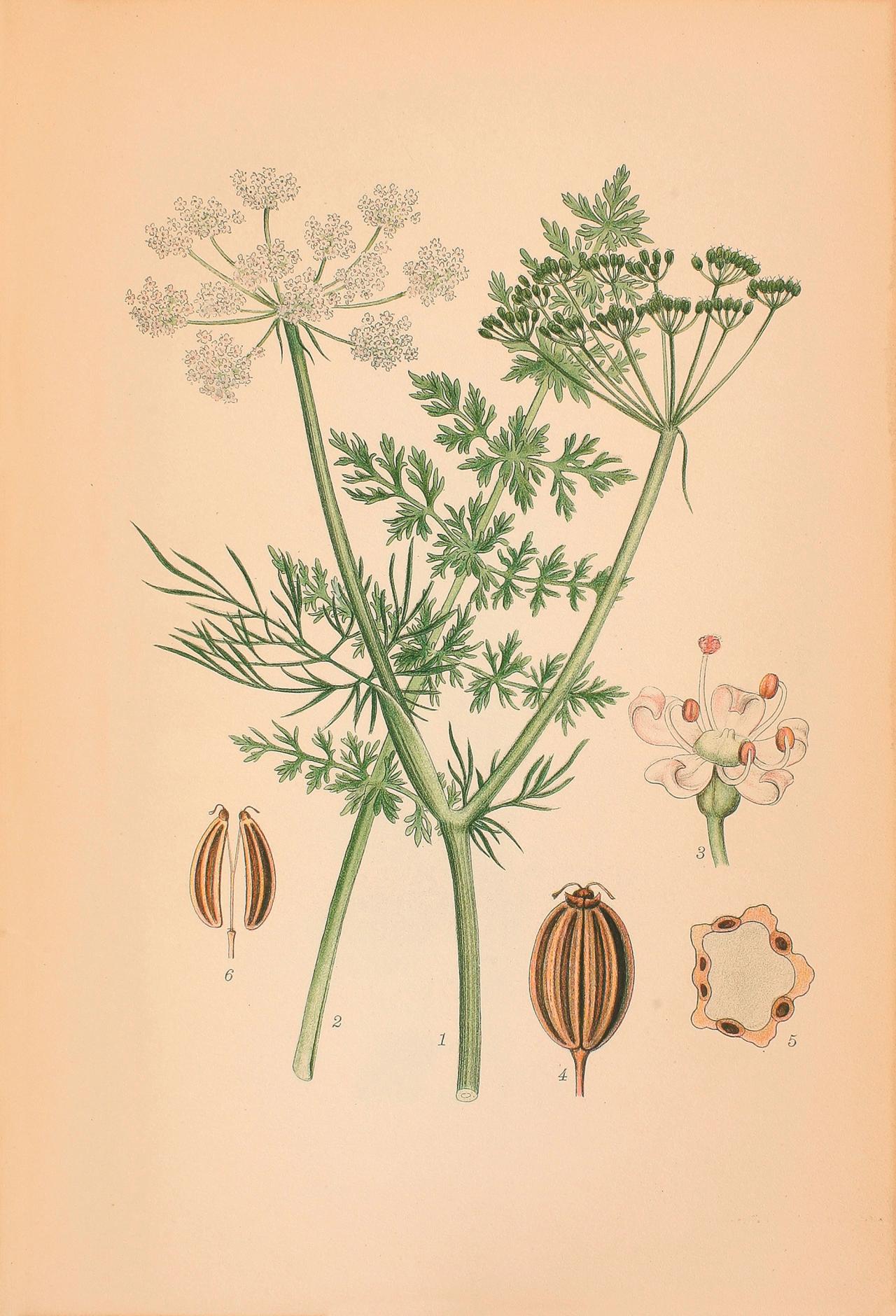 Forår​​​​‌﻿‍﻿​‍​‍‌‍﻿﻿‌﻿​‍‌‍‍‌‌‍‌﻿‌‍‍‌‌‍﻿‍​‍​‍​﻿‍‍​‍​‍‌﻿​﻿‌‍​‌‌‍﻿‍‌‍‍‌‌﻿‌​‌﻿‍‌​‍﻿‍‌‍‍‌‌‍﻿﻿​‍​‍​‍﻿​​‍​‍‌‍‍​‌﻿​‍‌‍‌‌‌‍‌‍​‍​‍​﻿‍‍​‍​‍‌‍‍​‌﻿‌​‌﻿‌​‌﻿​​​﻿‍‍​‍﻿﻿​‍﻿﻿‌‍﻿​‌‍﻿﻿‌‍​﻿‌‍​‌‌‍﻿​‌‍‍​‌‍﻿﻿‌﻿​﻿‌﻿‌​​﻿‍‍​﻿​﻿​﻿​﻿​﻿​﻿​﻿​﻿​‍﻿﻿‌‍‍‌‌‍﻿‍‌﻿‌​‌‍‌‌‌‍﻿‍‌﻿‌​​‍﻿﻿‌‍‌‌‌‍‌​‌‍‍‌‌﻿‌​​‍﻿﻿‌‍﻿‌‌‍﻿﻿‌‍‌​‌‍‌‌​﻿﻿‌‌﻿​​‌﻿​‍‌‍‌‌‌﻿​﻿‌‍‌‌‌‍﻿‍‌﻿‌​‌‍​‌‌﻿‌​‌‍‍‌‌‍﻿﻿‌‍﻿‍​﻿‍﻿‌‍‍‌‌‍‌​​﻿﻿‌​﻿‌‍​﻿​‍‌‍​‌‌‍‌‍​﻿‍​​﻿​﻿​﻿​​​﻿‌﻿​‍﻿‌​﻿​‌​﻿​‌‌‍​‍​﻿‌﻿​‍﻿‌​﻿‌​​﻿‌‌‌‍‌​​﻿​﻿​‍﻿‌​﻿‍‌‌‍​﻿​﻿‌‌‌‍‌​​‍﻿‌‌‍​‌​﻿​﻿‌‍‌​‌‍‌‍​﻿‌‌‌‍‌‍​﻿‌﻿​﻿‌​​﻿‍‌​﻿‌‍‌‍​‍‌‍‌‍​﻿‍﻿‌﻿‌​‌﻿‍‌‌﻿​​‌‍‌‌​﻿﻿‌‌‍​‌‌﻿​‍‌﻿‌​‌‍‍‌‌‍​﻿‌‍﻿​‌‍‌‌​﻿‍﻿‌﻿​​‌‍​‌‌﻿‌​‌‍‍​​﻿﻿‌‌﻿​​‌‍﻿﻿‌﻿​‍‌﻿‌​‌‍​‌‌‍​‍‌‍﻿​‌‍‌‌‌﻿‌​‌‍‌‌‌﻿‍​‌﻿‌​​‍‌‌​﻿‌‌‌​​‍‌‌﻿﻿‌‍‍﻿‌‍‌‌‌﻿‍‌​‍‌‌​﻿​﻿‌​‌​​‍‌‌​﻿​﻿‌​‌​​‍‌‌​﻿​‍​﻿​‍‌‍​‍​﻿‍‌‌‍‌​‌‍‌‌​﻿‌‌​﻿‌‌​﻿​​​﻿​‌​‍‌‌​﻿​‍​﻿​‍​‍‌‌​﻿‌‌‌​‌​​‍﻿‍‌﻿​﻿‌‍﻿​‌‍‍‌‌‍‌​‌‍‌‌‌﻿​﻿​‍‌‌​﻿‌‌‌​​‍‌‌﻿﻿‌‍‍﻿‌‍‌‌‌﻿‍‌​‍‌‌​﻿​﻿‌​‌​​‍‌‌​﻿​﻿‌​‌​​‍‌‌​﻿​‍​﻿​‍‌‍​‌‌‍​‌​﻿​‌​﻿‍‌‌‍‌​‌‍‌‍‌‍‌‍​﻿‍‌​‍‌‌​﻿​‍​﻿​‍​‍‌‌​﻿‌‌‌​‌​​‍﻿‍‌‍‍‌‌‍﻿‌‌‍​‌‌‍‌﻿‌‍‌‌​‍﻿‍‌‍​‌‌‍﻿​‌﻿‌​​﻿﻿﻿‌‍​‍‌‍​‌‌﻿​﻿‌‍‌‌‌‌‌‌‌﻿​‍‌‍﻿​​﻿﻿‌‌‍‍​‌﻿‌​‌﻿‌​‌﻿​​​‍‌‌​﻿​﻿‌​​‌​‍‌‌​﻿​‍‌​‌‍​‍‌‌​﻿​‍‌​‌‍‌‍﻿​‌‍﻿﻿‌‍​﻿‌‍​‌‌‍﻿​‌‍‍​‌‍﻿﻿‌﻿​﻿‌﻿‌​​‍‌‌​﻿​﻿‌​​‌​﻿​﻿​﻿​﻿​﻿​﻿​﻿​﻿​‍‌‍‌‍‍‌‌‍‌​​﻿﻿‌​﻿‌‍​﻿​‍‌‍​‌‌‍‌‍​﻿‍​​﻿​﻿​﻿​​​﻿‌﻿​‍﻿‌​﻿​‌​﻿​‌‌‍​‍​﻿‌﻿​‍﻿‌​﻿‌​​﻿‌‌‌‍‌​​﻿​﻿​‍﻿‌​﻿‍‌‌‍​﻿​﻿‌‌‌‍‌​​‍﻿‌‌‍​‌​﻿​﻿‌‍‌​‌‍‌‍​﻿‌‌‌‍‌‍​﻿‌﻿​﻿‌​​﻿‍‌​﻿‌‍‌‍​‍‌‍‌‍​‍‌‍‌﻿‌​‌﻿‍‌‌﻿​​‌‍‌‌​﻿﻿‌‌‍​‌‌﻿​‍‌﻿‌​‌‍‍‌‌‍​﻿‌‍﻿​‌‍‌‌​‍‌‍‌﻿​​‌‍​‌‌﻿‌​‌‍‍​​﻿﻿‌‌﻿​​‌‍﻿﻿‌﻿​‍‌﻿‌​‌‍​‌‌‍​‍‌‍﻿​‌‍‌‌‌﻿‌​‌‍‌‌‌﻿‍​‌﻿‌​​‍‌‌​﻿‌‌‌​​‍‌‌﻿﻿‌‍‍﻿‌‍‌‌‌﻿‍‌​‍‌‌​﻿​﻿‌​‌​​‍‌‌​﻿​﻿‌​‌​​‍‌‌​﻿​‍​﻿​‍‌‍​‍​﻿‍‌‌‍‌​‌‍‌‌​﻿‌‌​﻿‌‌​﻿​​​﻿​‌​‍‌‌​﻿​‍​﻿​‍​‍‌‌​﻿‌‌‌​‌​​‍﻿‍‌﻿​﻿‌‍﻿​‌‍‍‌‌‍‌​‌‍‌‌‌﻿​﻿​‍‌‌​﻿‌‌‌​​‍‌‌﻿﻿‌‍‍﻿‌‍‌‌‌﻿‍‌​‍‌‌​﻿​﻿‌​‌​​‍‌‌​﻿​﻿‌​‌​​‍‌‌​﻿​‍​﻿​‍‌‍​‌‌‍​‌​﻿​‌​﻿‍‌‌‍‌​‌‍‌‍‌‍‌‍​﻿‍‌​‍‌‌​﻿​‍​﻿​‍​‍‌‌​﻿‌‌‌​‌​​‍﻿‍‌‍‍‌‌‍﻿‌‌‍​‌‌‍‌﻿‌‍‌‌​‍﻿‍‌‍​‌‌‍﻿​‌﻿‌​​‍‌‍‌﻿​​‌‍‌‌‌﻿​‍‌﻿​﻿‌﻿​​‌‍‌‌‌‍​﻿‌﻿‌​‌‍‍‌‌﻿‌‍‌‍‌‌​﻿﻿‌‌﻿​​‌﻿‌‌‌‍​‍‌‍﻿​‌‍‍‌‌﻿​﻿‌‍‍​‌‍‌‌‌‍‌​​‍​‍‌﻿﻿‌