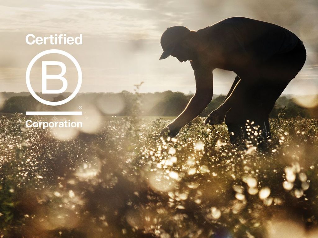 Meyers tager næste skridt på bæredygtighedsrejse med B Corp-certificering 