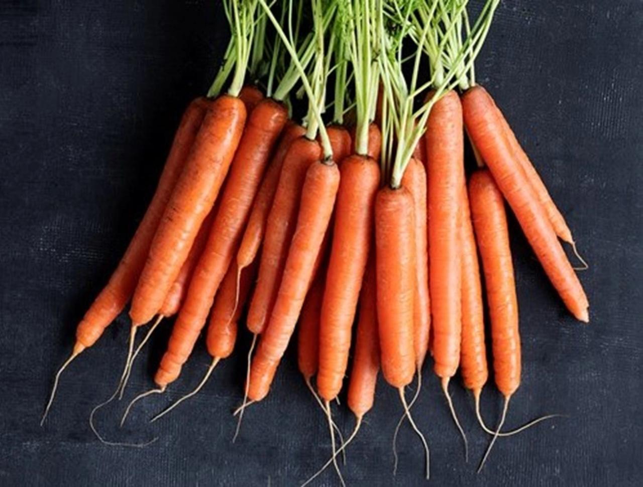 Gulerod​​​​‌﻿‍﻿​‍​‍‌‍﻿﻿‌﻿​‍‌‍‍‌‌‍‌﻿‌‍‍‌‌‍﻿‍​‍​‍​﻿‍‍​‍​‍‌﻿​﻿‌‍​‌‌‍﻿‍‌‍‍‌‌﻿‌​‌﻿‍‌​‍﻿‍‌‍‍‌‌‍﻿﻿​‍​‍​‍﻿​​‍​‍‌‍‍​‌﻿​‍‌‍‌‌‌‍‌‍​‍​‍​﻿‍‍​‍​‍‌‍‍​‌﻿‌​‌﻿‌​‌﻿​​​﻿‍‍​‍﻿﻿​‍﻿﻿‌‍﻿​‌‍﻿﻿‌‍​﻿‌‍​‌‌‍﻿​‌‍‍​‌‍﻿﻿‌﻿​﻿‌﻿‌​​﻿‍‍​﻿​﻿​﻿​﻿​﻿​﻿​﻿​﻿​‍﻿﻿‌‍‍‌‌‍﻿‍‌﻿‌​‌‍‌‌‌‍﻿‍‌﻿‌​​‍﻿﻿‌‍‌‌‌‍‌​‌‍‍‌‌﻿‌​​‍﻿﻿‌‍﻿‌‌‍﻿﻿‌‍‌​‌‍‌‌​﻿﻿‌‌﻿​​‌﻿​‍‌‍‌‌‌﻿​﻿‌‍‌‌‌‍﻿‍‌﻿‌​‌‍​‌‌﻿‌​‌‍‍‌‌‍﻿﻿‌‍﻿‍​﻿‍﻿‌‍‍‌‌‍‌​​﻿﻿‌​﻿‍​​﻿​﻿​﻿‌‌​﻿​‍​﻿​‍​﻿​﻿​﻿​‍‌‍​﻿​‍﻿‌‌‍​﻿​﻿‍​​﻿​​​﻿‍​​‍﻿‌​﻿‌​​﻿‌‍​﻿​﻿​﻿‍‌​‍﻿‌‌‍​‍​﻿‍​‌‍‌​​﻿​‌​‍﻿‌‌‍​‌‌‍​‌​﻿‌‌​﻿‌​‌‍‌‍​﻿​​​﻿‌​​﻿‌‍‌‍​‍​﻿‍‌​﻿​​‌‍‌‍​﻿‍﻿‌﻿‌​‌﻿‍‌‌﻿​​‌‍‌‌​﻿﻿‌‌‍​‌‌﻿​‍‌﻿‌​‌‍‍‌‌‍​﻿‌‍﻿​‌‍‌‌​﻿‍﻿‌﻿​​‌‍​‌‌﻿‌​‌‍‍​​﻿﻿‌‌﻿​​‌‍﻿﻿‌﻿​‍‌﻿‌​‌‍​‌‌‍​‍‌‍﻿​‌‍‌‌‌﻿‌​‌‍‌‌‌﻿‍​‌﻿‌​​‍‌‌​﻿‌‌‌​​‍‌‌﻿﻿‌‍‍﻿‌‍‌‌‌﻿‍‌​‍‌‌​﻿​﻿‌​‌​​‍‌‌​﻿​﻿‌​‌​​‍‌‌​﻿​‍​﻿​‍‌‍​‌‌‍​﻿​﻿​​‌‍‌‍​﻿‌​​﻿‍​‌‍‌​​﻿​‌​‍‌‌​﻿​‍​﻿​‍​‍‌‌​﻿‌‌‌​‌​​‍﻿‍‌﻿​﻿‌‍﻿​‌‍‍‌‌‍‌​‌‍‌‌‌﻿​﻿​‍‌‌​﻿‌‌‌​​‍‌‌﻿﻿‌‍‍﻿‌‍‌‌‌﻿‍‌​‍‌‌​﻿​﻿‌​‌​​‍‌‌​﻿​﻿‌​‌​​‍‌‌​﻿​‍​﻿​‍​﻿‌‌‌‍‌‍​﻿‍​‌‍​﻿​﻿‍‌​﻿​﻿​﻿​﻿‌‍‌‍​‍‌‌​﻿​‍​﻿​‍​‍‌‌​﻿‌‌‌​‌​​‍﻿‍‌‍‍‌‌‍﻿‌‌‍​‌‌‍‌﻿‌‍‌‌​‍﻿‍‌‍​‌‌‍﻿​‌﻿‌​​﻿﻿﻿‌‍​‍‌‍​‌‌﻿​﻿‌‍‌‌‌‌‌‌‌﻿​‍‌‍﻿​​﻿﻿‌‌‍‍​‌﻿‌​‌﻿‌​‌﻿​​​‍‌‌​﻿​﻿‌​​‌​‍‌‌​﻿​‍‌​‌‍​‍‌‌​﻿​‍‌​‌‍‌‍﻿​‌‍﻿﻿‌‍​﻿‌‍​‌‌‍﻿​‌‍‍​‌‍﻿﻿‌﻿​﻿‌﻿‌​​‍‌‌​﻿​﻿‌​​‌​﻿​﻿​﻿​﻿​﻿​﻿​﻿​﻿​‍‌‍‌‍‍‌‌‍‌​​﻿﻿‌​﻿‍​​﻿​﻿​﻿‌‌​﻿​‍​﻿​‍​﻿​﻿​﻿​‍‌‍​﻿​‍﻿‌‌‍​﻿​﻿‍​​﻿​​​﻿‍​​‍﻿‌​﻿‌​​﻿‌‍​﻿​﻿​﻿‍‌​‍﻿‌‌‍​‍​﻿‍​‌‍‌​​﻿​‌​‍﻿‌‌‍​‌‌‍​‌​﻿‌‌​﻿‌​‌‍‌‍​﻿​​​﻿‌​​﻿‌‍‌‍​‍​﻿‍‌​﻿​​‌‍‌‍​‍‌‍‌﻿‌​‌﻿‍‌‌﻿​​‌‍‌‌​﻿﻿‌‌‍​‌‌﻿​‍‌﻿‌​‌‍‍‌‌‍​﻿‌‍﻿​‌‍‌‌​‍‌‍‌﻿​​‌‍​‌‌﻿‌​‌‍‍​​﻿﻿‌‌﻿​​‌‍﻿﻿‌﻿​‍‌﻿‌​‌‍​‌‌‍​‍‌‍﻿​‌‍‌‌‌﻿‌​‌‍‌‌‌﻿‍​‌﻿‌​​‍‌‌​﻿‌‌‌​​‍‌‌﻿﻿‌‍‍﻿‌‍‌‌‌﻿‍‌​‍‌‌​﻿​﻿‌​‌​​‍‌‌​﻿​﻿‌​‌​​‍‌‌​﻿​‍​﻿​‍‌‍​‌‌‍​﻿​﻿​​‌‍‌‍​﻿‌​​﻿‍​‌‍‌​​﻿​‌​‍‌‌​﻿​‍​﻿​‍​‍‌‌​﻿‌‌‌​‌​​‍﻿‍‌﻿​﻿‌‍﻿​‌‍‍‌‌‍‌​‌‍‌‌‌﻿​﻿​‍‌‌​﻿‌‌‌​​‍‌‌﻿﻿‌‍‍﻿‌‍‌‌‌﻿‍‌​‍‌‌​﻿​﻿‌​‌​​‍‌‌​﻿​﻿‌​‌​​‍‌‌​﻿​‍​﻿​‍​﻿‌‌‌‍‌‍​﻿‍​‌‍​﻿​﻿‍‌​﻿​﻿​﻿​﻿‌‍‌‍​‍‌‌​﻿​‍​﻿​‍​‍‌‌​﻿‌‌‌​‌​​‍﻿‍‌‍‍‌‌‍﻿‌‌‍​‌‌‍‌﻿‌‍‌‌​‍﻿‍‌‍​‌‌‍﻿​‌﻿‌​​‍‌‍‌﻿​​‌‍‌‌‌﻿​‍‌﻿​﻿‌﻿​​‌‍‌‌‌‍​﻿‌﻿‌​‌‍‍‌‌﻿‌‍‌‍‌‌​﻿﻿‌‌﻿​​‌﻿‌‌‌‍​‍‌‍﻿​‌‍‍‌‌﻿​﻿‌‍‍​‌‍‌‌‌‍‌​​‍​‍‌﻿﻿‌