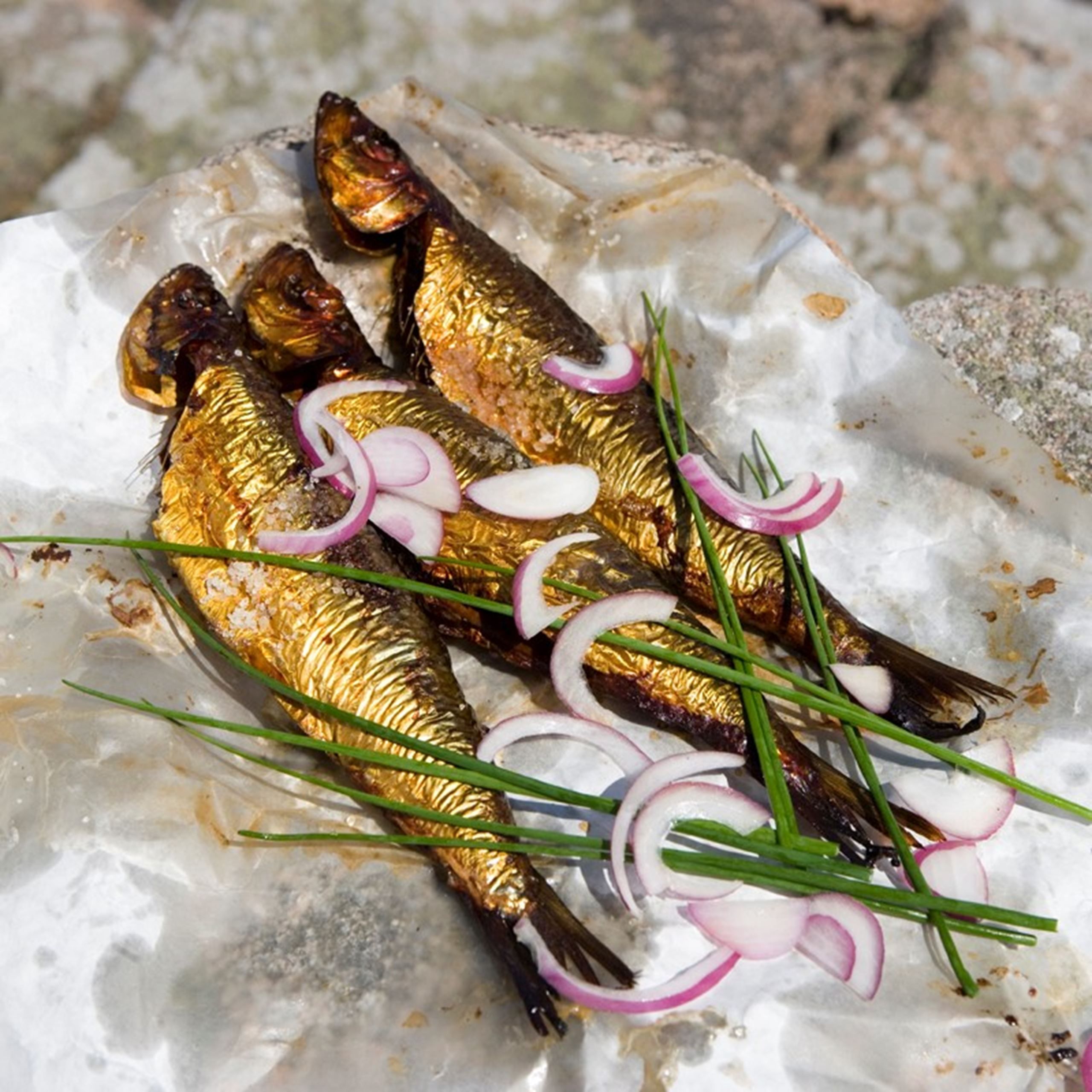 Sol over Gudhjem​​​​‌﻿‍﻿​‍​‍‌‍﻿﻿‌﻿​‍‌‍‍‌‌‍‌﻿‌‍‍‌‌‍﻿‍​‍​‍​﻿‍‍​‍​‍‌﻿​﻿‌‍​‌‌‍﻿‍‌‍‍‌‌﻿‌​‌﻿‍‌​‍﻿‍‌‍‍‌‌‍﻿﻿​‍​‍​‍﻿​​‍​‍‌‍‍​‌﻿​‍‌‍‌‌‌‍‌‍​‍​‍​﻿‍‍​‍​‍‌‍‍​‌﻿‌​‌﻿‌​‌﻿​​​﻿‍‍​‍﻿﻿​‍﻿﻿‌‍﻿​‌‍﻿﻿‌‍​﻿‌‍​‌‌‍﻿​‌‍‍​‌‍﻿﻿‌﻿​﻿‌﻿‌​​﻿‍‍​﻿​﻿​﻿​﻿​﻿​﻿​﻿​﻿​‍﻿﻿‌‍‍‌‌‍﻿‍‌﻿‌​‌‍‌‌‌‍﻿‍‌﻿‌​​‍﻿﻿‌‍‌‌‌‍‌​‌‍‍‌‌﻿‌​​‍﻿﻿‌‍﻿‌‌‍﻿﻿‌‍‌​‌‍‌‌​﻿﻿‌‌﻿​​‌﻿​‍‌‍‌‌‌﻿​﻿‌‍‌‌‌‍﻿‍‌﻿‌​‌‍​‌‌﻿‌​‌‍‍‌‌‍﻿﻿‌‍﻿‍​﻿‍﻿‌‍‍‌‌‍‌​​﻿﻿‌​﻿​‍​﻿‍‌​﻿‍‌​﻿‍​​﻿‌​​﻿‌﻿​﻿‍‌​﻿​‌​‍﻿‌​﻿​​​﻿‌​​﻿‌‍​﻿‍‌​‍﻿‌​﻿‌‌​﻿‌‍‌‍​‍‌‍​﻿​‍﻿‌‌‍​‌‌‍‌​​﻿​‌​﻿‌﻿​‍﻿‌‌‍‌​​﻿‌‌​﻿‌‌​﻿‌‍‌‍​﻿‌‍​‍‌‍‌‌‌‍‌​​﻿​‌​﻿‌​​﻿‌‍​﻿​‍​﻿‍﻿‌﻿‌​‌﻿‍‌‌﻿​​‌‍‌‌​﻿﻿‌‌﻿​‍‌‍‌‌‌‍​﻿‌‍‍‌‌﻿​​‌‍‌‌​﻿‍﻿‌﻿​​‌‍​‌‌﻿‌​‌‍‍​​﻿﻿‌‌‍‍‌‌‍﻿‌‌‍​‌‌‍‌﻿‌‍‌‌​‍﻿‍‌‍​‌‌‍﻿​‌﻿‌​​﻿﻿﻿‌‍​‍‌‍​‌‌﻿​﻿‌‍‌‌‌‌‌‌‌﻿​‍‌‍﻿​​﻿﻿‌‌‍‍​‌﻿‌​‌﻿‌​‌﻿​​​‍‌‌​﻿​﻿‌​​‌​‍‌‌​﻿​‍‌​‌‍​‍‌‌​﻿​‍‌​‌‍‌‍﻿​‌‍﻿﻿‌‍​﻿‌‍​‌‌‍﻿​‌‍‍​‌‍﻿﻿‌﻿​﻿‌﻿‌​​‍‌‌​﻿​﻿‌​​‌​﻿​﻿​﻿​﻿​﻿​﻿​﻿​﻿​‍‌‍‌‍‍‌‌‍‌​​﻿﻿‌​﻿​‍​﻿‍‌​﻿‍‌​﻿‍​​﻿‌​​﻿‌﻿​﻿‍‌​﻿​‌​‍﻿‌​﻿​​​﻿‌​​﻿‌‍​﻿‍‌​‍﻿‌​﻿‌‌​﻿‌‍‌‍​‍‌‍​﻿​‍﻿‌‌‍​‌‌‍‌​​﻿​‌​﻿‌﻿​‍﻿‌‌‍‌​​﻿‌‌​﻿‌‌​﻿‌‍‌‍​﻿‌‍​‍‌‍‌‌‌‍‌​​﻿​‌​﻿‌​​﻿‌‍​﻿​‍​‍‌‍‌﻿‌​‌﻿‍‌‌﻿​​‌‍‌‌​﻿﻿‌‌﻿​‍‌‍‌‌‌‍​﻿‌‍‍‌‌﻿​​‌‍‌‌​‍‌‍‌﻿​​‌‍​‌‌﻿‌​‌‍‍​​﻿﻿‌‌‍‍‌‌‍﻿‌‌‍​‌‌‍‌﻿‌‍‌‌​‍﻿‍‌‍​‌‌‍﻿​‌﻿‌​​‍‌‍‌﻿​​‌‍‌‌‌﻿​‍‌﻿​﻿‌﻿​​‌‍‌‌‌‍​﻿‌﻿‌​‌‍‍‌‌﻿‌‍‌‍‌‌​﻿﻿‌‌﻿​​‌﻿‌‌‌‍​‍‌‍﻿​‌‍‍‌‌﻿​﻿‌‍‍​‌‍‌‌‌‍‌​​‍​‍‌﻿﻿‌