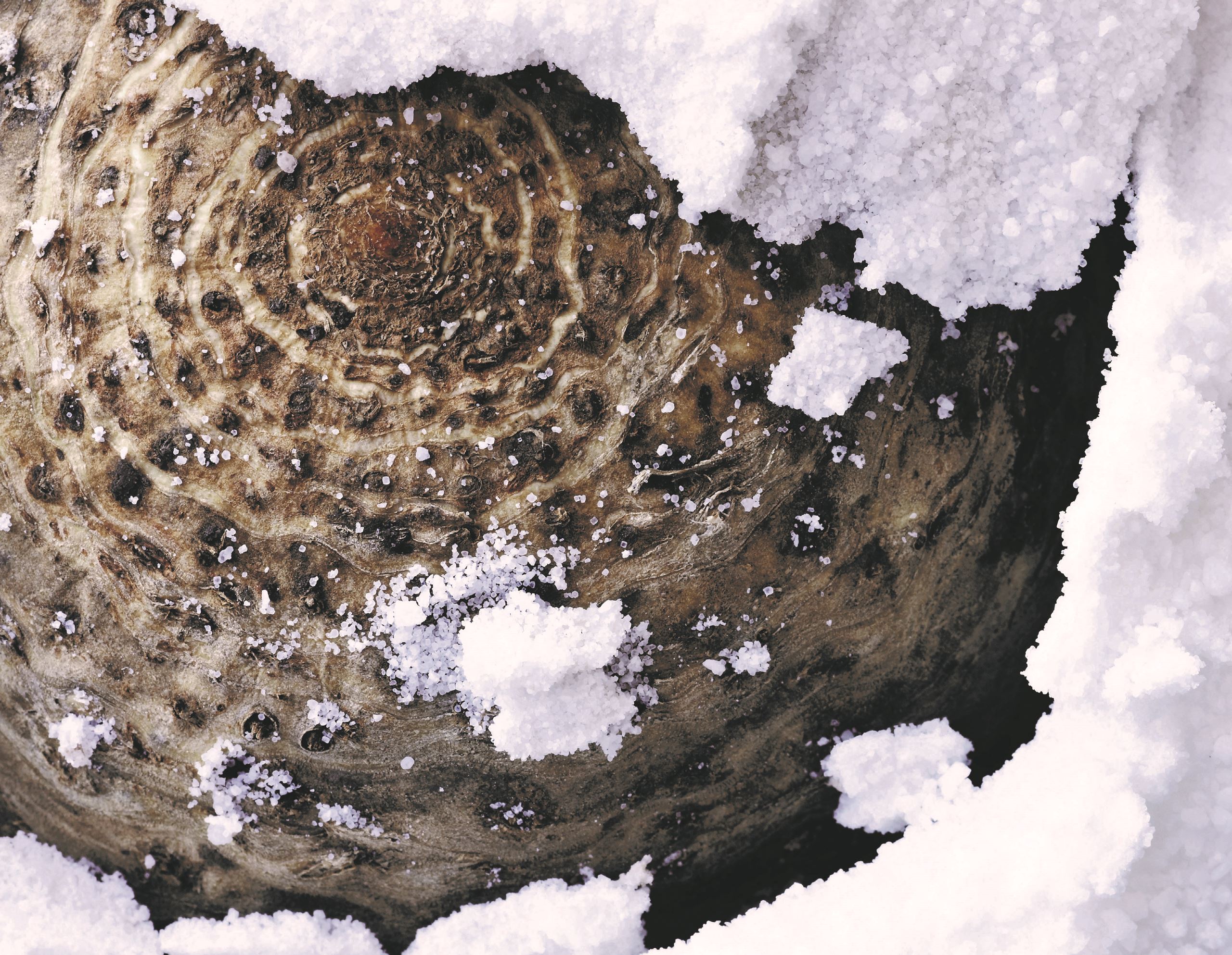 Vegansk kompot af knoldselleri og græskar​​​​‌﻿‍﻿​‍​‍‌‍﻿﻿‌﻿​‍‌‍‍‌‌‍‌﻿‌‍‍‌‌‍﻿‍​‍​‍​﻿‍‍​‍​‍‌﻿​﻿‌‍​‌‌‍﻿‍‌‍‍‌‌﻿‌​‌﻿‍‌​‍﻿‍‌‍‍‌‌‍﻿﻿​‍​‍​‍﻿​​‍​‍‌‍‍​‌﻿​‍‌‍‌‌‌‍‌‍​‍​‍​﻿‍‍​‍​‍‌‍‍​‌﻿‌​‌﻿‌​‌﻿​​​﻿‍‍​‍﻿﻿​‍﻿﻿‌‍﻿​‌‍﻿﻿‌‍​﻿‌‍​‌‌‍﻿​‌‍‍​‌‍﻿﻿‌﻿​﻿‌﻿‌​​﻿‍‍​﻿​﻿​﻿​﻿​﻿​﻿​﻿​﻿​‍﻿﻿‌‍‍‌‌‍﻿‍‌﻿‌​‌‍‌‌‌‍﻿‍‌﻿‌​​‍﻿﻿‌‍‌‌‌‍‌​‌‍‍‌‌﻿‌​​‍﻿﻿‌‍﻿‌‌‍﻿﻿‌‍‌​‌‍‌‌​﻿﻿‌‌﻿​​‌﻿​‍‌‍‌‌‌﻿​﻿‌‍‌‌‌‍﻿‍‌﻿‌​‌‍​‌‌﻿‌​‌‍‍‌‌‍﻿﻿‌‍﻿‍​﻿‍﻿‌‍‍‌‌‍‌​​﻿﻿‌‌‍‌​​﻿‌‌​﻿‌﻿​﻿​‍‌‍​﻿​﻿​​​﻿​​​﻿‍​​‍﻿‌​﻿‍‌​﻿​‌​﻿​​‌‍‌‍​‍﻿‌​﻿‌‌‌‍​‍‌‍‌‌‌‍​‌​‍﻿‌​﻿‍‌​﻿​‍​﻿​‌​﻿​‍​‍﻿‌‌‍‌‌‌‍‌​​﻿‌﻿‌‍‌‍​﻿​﻿​﻿​‌​﻿​‍​﻿‌​​﻿‍​‌‍‌‍​﻿‌﻿‌‍​‌​﻿‍﻿‌﻿‌​‌﻿‍‌‌﻿​​‌‍‌‌​﻿﻿‌‌﻿​‍‌‍‌‌‌‍​﻿‌‍‍‌‌﻿​​‌‍‌‌​﻿‍﻿‌﻿​​‌‍​‌‌﻿‌​‌‍‍​​﻿﻿‌‌‍‍‌‌‍﻿‌‌‍​‌‌‍‌﻿‌‍‌‌​‍﻿‍‌‍​‌‌‍﻿​‌﻿‌​​﻿﻿﻿‌‍​‍‌‍​‌‌﻿​﻿‌‍‌‌‌‌‌‌‌﻿​‍‌‍﻿​​﻿﻿‌‌‍‍​‌﻿‌​‌﻿‌​‌﻿​​​‍‌‌​﻿​﻿‌​​‌​‍‌‌​﻿​‍‌​‌‍​‍‌‌​﻿​‍‌​‌‍‌‍﻿​‌‍﻿﻿‌‍​﻿‌‍​‌‌‍﻿​‌‍‍​‌‍﻿﻿‌﻿​﻿‌﻿‌​​‍‌‌​﻿​﻿‌​​‌​﻿​﻿​﻿​﻿​﻿​﻿​﻿​﻿​‍‌‍‌‍‍‌‌‍‌​​﻿﻿‌‌‍‌​​﻿‌‌​﻿‌﻿​﻿​‍‌‍​﻿​﻿​​​﻿​​​﻿‍​​‍﻿‌​﻿‍‌​﻿​‌​﻿​​‌‍‌‍​‍﻿‌​﻿‌‌‌‍​‍‌‍‌‌‌‍​‌​‍﻿‌​﻿‍‌​﻿​‍​﻿​‌​﻿​‍​‍﻿‌‌‍‌‌‌‍‌​​﻿‌﻿‌‍‌‍​﻿​﻿​﻿​‌​﻿​‍​﻿‌​​﻿‍​‌‍‌‍​﻿‌﻿‌‍​‌​‍‌‍‌﻿‌​‌﻿‍‌‌﻿​​‌‍‌‌​﻿﻿‌‌﻿​‍‌‍‌‌‌‍​﻿‌‍‍‌‌﻿​​‌‍‌‌​‍‌‍‌﻿​​‌‍​‌‌﻿‌​‌‍‍​​﻿﻿‌‌‍‍‌‌‍﻿‌‌‍​‌‌‍‌﻿‌‍‌‌​‍﻿‍‌‍​‌‌‍﻿​‌﻿‌​​‍‌‍‌﻿​​‌‍‌‌‌﻿​‍‌﻿​﻿‌﻿​​‌‍‌‌‌‍​﻿‌﻿‌​‌‍‍‌‌﻿‌‍‌‍‌‌​﻿﻿‌‌﻿​​‌﻿‌‌‌‍​‍‌‍﻿​‌‍‍‌‌﻿​﻿‌‍‍​‌‍‌‌‌‍‌​​‍​‍‌﻿﻿‌