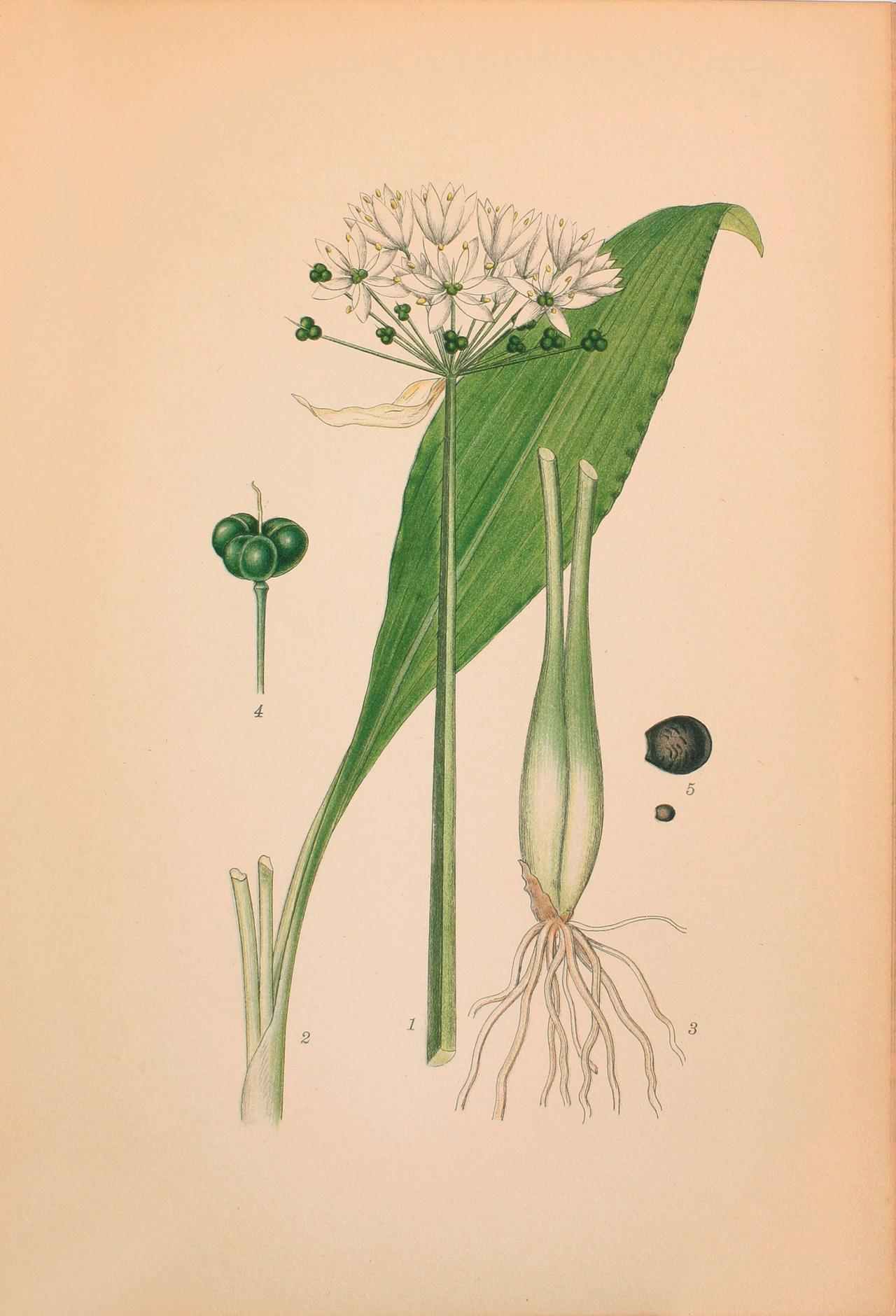 Forår​​​​‌﻿‍﻿​‍​‍‌‍﻿﻿‌﻿​‍‌‍‍‌‌‍‌﻿‌‍‍‌‌‍﻿‍​‍​‍​﻿‍‍​‍​‍‌﻿​﻿‌‍​‌‌‍﻿‍‌‍‍‌‌﻿‌​‌﻿‍‌​‍﻿‍‌‍‍‌‌‍﻿﻿​‍​‍​‍﻿​​‍​‍‌‍‍​‌﻿​‍‌‍‌‌‌‍‌‍​‍​‍​﻿‍‍​‍​‍‌‍‍​‌﻿‌​‌﻿‌​‌﻿​​​﻿‍‍​‍﻿﻿​‍﻿﻿‌‍﻿​‌‍﻿﻿‌‍​﻿‌‍​‌‌‍﻿​‌‍‍​‌‍﻿﻿‌﻿​﻿‌﻿‌​​﻿‍‍​﻿​﻿​﻿​﻿​﻿​﻿​﻿​﻿​‍﻿﻿‌‍‍‌‌‍﻿‍‌﻿‌​‌‍‌‌‌‍﻿‍‌﻿‌​​‍﻿﻿‌‍‌‌‌‍‌​‌‍‍‌‌﻿‌​​‍﻿﻿‌‍﻿‌‌‍﻿﻿‌‍‌​‌‍‌‌​﻿﻿‌‌﻿​​‌﻿​‍‌‍‌‌‌﻿​﻿‌‍‌‌‌‍﻿‍‌﻿‌​‌‍​‌‌﻿‌​‌‍‍‌‌‍﻿﻿‌‍﻿‍​﻿‍﻿‌‍‍‌‌‍‌​​﻿﻿‌​﻿‌‍​﻿​‍‌‍​‌‌‍‌‍​﻿‍​​﻿​﻿​﻿​​​﻿‌﻿​‍﻿‌​﻿​‌​﻿​‌‌‍​‍​﻿‌﻿​‍﻿‌​﻿‌​​﻿‌‌‌‍‌​​﻿​﻿​‍﻿‌​﻿‍‌‌‍​﻿​﻿‌‌‌‍‌​​‍﻿‌‌‍​‌​﻿​﻿‌‍‌​‌‍‌‍​﻿‌‌‌‍‌‍​﻿‌﻿​﻿‌​​﻿‍‌​﻿‌‍‌‍​‍‌‍‌‍​﻿‍﻿‌﻿‌​‌﻿‍‌‌﻿​​‌‍‌‌​﻿﻿‌‌‍​‌‌﻿​‍‌﻿‌​‌‍‍‌‌‍​﻿‌‍﻿​‌‍‌‌​﻿‍﻿‌﻿​​‌‍​‌‌﻿‌​‌‍‍​​﻿﻿‌‌﻿​​‌‍﻿﻿‌﻿​‍‌﻿‌​‌‍​‌‌‍​‍‌‍﻿​‌‍‌‌‌﻿‌​‌‍‌‌‌﻿‍​‌﻿‌​​‍‌‌​﻿‌‌‌​​‍‌‌﻿﻿‌‍‍﻿‌‍‌‌‌﻿‍‌​‍‌‌​﻿​﻿‌​‌​​‍‌‌​﻿​﻿‌​‌​​‍‌‌​﻿​‍​﻿​‍‌‍​‍​﻿‍‌‌‍‌​‌‍‌‌​﻿‌‌​﻿‌‌​﻿​​​﻿​‌​‍‌‌​﻿​‍​﻿​‍​‍‌‌​﻿‌‌‌​‌​​‍﻿‍‌﻿​﻿‌‍﻿​‌‍‍‌‌‍‌​‌‍‌‌‌﻿​﻿​‍‌‌​﻿‌‌‌​​‍‌‌﻿﻿‌‍‍﻿‌‍‌‌‌﻿‍‌​‍‌‌​﻿​﻿‌​‌​​‍‌‌​﻿​﻿‌​‌​​‍‌‌​﻿​‍​﻿​‍​﻿‌﻿​﻿​‍‌‍‌​​﻿‍​​﻿‍​‌‍‌​‌‍​﻿​﻿​​​‍‌‌​﻿​‍​﻿​‍​‍‌‌​﻿‌‌‌​‌​​‍﻿‍‌‍‍‌‌‍﻿‌‌‍​‌‌‍‌﻿‌‍‌‌​‍﻿‍‌‍​‌‌‍﻿​‌﻿‌​​﻿﻿﻿‌‍​‍‌‍​‌‌﻿​﻿‌‍‌‌‌‌‌‌‌﻿​‍‌‍﻿​​﻿﻿‌‌‍‍​‌﻿‌​‌﻿‌​‌﻿​​​‍‌‌​﻿​﻿‌​​‌​‍‌‌​﻿​‍‌​‌‍​‍‌‌​﻿​‍‌​‌‍‌‍﻿​‌‍﻿﻿‌‍​﻿‌‍​‌‌‍﻿​‌‍‍​‌‍﻿﻿‌﻿​﻿‌﻿‌​​‍‌‌​﻿​﻿‌​​‌​﻿​﻿​﻿​﻿​﻿​﻿​﻿​﻿​‍‌‍‌‍‍‌‌‍‌​​﻿﻿‌​﻿‌‍​﻿​‍‌‍​‌‌‍‌‍​﻿‍​​﻿​﻿​﻿​​​﻿‌﻿​‍﻿‌​﻿​‌​﻿​‌‌‍​‍​﻿‌﻿​‍﻿‌​﻿‌​​﻿‌‌‌‍‌​​﻿​﻿​‍﻿‌​﻿‍‌‌‍​﻿​﻿‌‌‌‍‌​​‍﻿‌‌‍​‌​﻿​﻿‌‍‌​‌‍‌‍​﻿‌‌‌‍‌‍​﻿‌﻿​﻿‌​​﻿‍‌​﻿‌‍‌‍​‍‌‍‌‍​‍‌‍‌﻿‌​‌﻿‍‌‌﻿​​‌‍‌‌​﻿﻿‌‌‍​‌‌﻿​‍‌﻿‌​‌‍‍‌‌‍​﻿‌‍﻿​‌‍‌‌​‍‌‍‌﻿​​‌‍​‌‌﻿‌​‌‍‍​​﻿﻿‌‌﻿​​‌‍﻿﻿‌﻿​‍‌﻿‌​‌‍​‌‌‍​‍‌‍﻿​‌‍‌‌‌﻿‌​‌‍‌‌‌﻿‍​‌﻿‌​​‍‌‌​﻿‌‌‌​​‍‌‌﻿﻿‌‍‍﻿‌‍‌‌‌﻿‍‌​‍‌‌​﻿​﻿‌​‌​​‍‌‌​﻿​﻿‌​‌​​‍‌‌​﻿​‍​﻿​‍‌‍​‍​﻿‍‌‌‍‌​‌‍‌‌​﻿‌‌​﻿‌‌​﻿​​​﻿​‌​‍‌‌​﻿​‍​﻿​‍​‍‌‌​﻿‌‌‌​‌​​‍﻿‍‌﻿​﻿‌‍﻿​‌‍‍‌‌‍‌​‌‍‌‌‌﻿​﻿​‍‌‌​﻿‌‌‌​​‍‌‌﻿﻿‌‍‍﻿‌‍‌‌‌﻿‍‌​‍‌‌​﻿​﻿‌​‌​​‍‌‌​﻿​﻿‌​‌​​‍‌‌​﻿​‍​﻿​‍​﻿‌﻿​﻿​‍‌‍‌​​﻿‍​​﻿‍​‌‍‌​‌‍​﻿​﻿​​​‍‌‌​﻿​‍​﻿​‍​‍‌‌​﻿‌‌‌​‌​​‍﻿‍‌‍‍‌‌‍﻿‌‌‍​‌‌‍‌﻿‌‍‌‌​‍﻿‍‌‍​‌‌‍﻿​‌﻿‌​​‍‌‍‌﻿​​‌‍‌‌‌﻿​‍‌﻿​﻿‌﻿​​‌‍‌‌‌‍​﻿‌﻿‌​‌‍‍‌‌﻿‌‍‌‍‌‌​﻿﻿‌‌﻿​​‌﻿‌‌‌‍​‍‌‍﻿​‌‍‍‌‌﻿​﻿‌‍‍​‌‍‌‌‌‍‌​​‍​‍‌﻿﻿‌