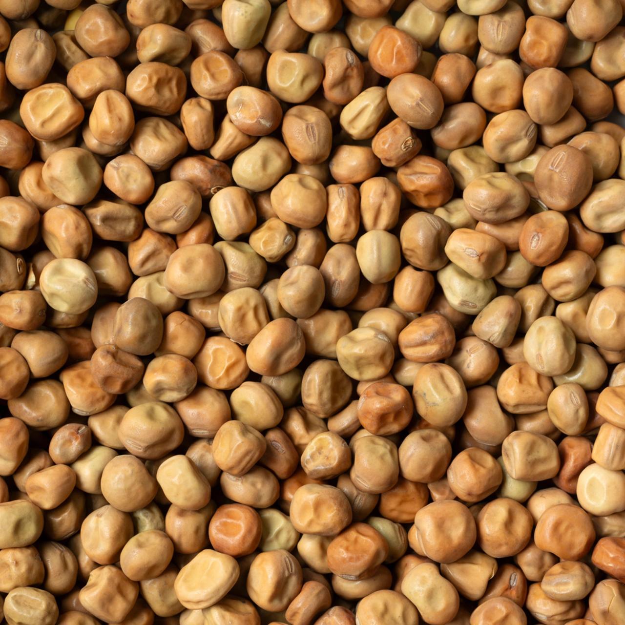 Brun ært​​​​‌﻿‍﻿​‍​‍‌‍﻿﻿‌﻿​‍‌‍‍‌‌‍‌﻿‌‍‍‌‌‍﻿‍​‍​‍​﻿‍‍​‍​‍‌﻿​﻿‌‍​‌‌‍﻿‍‌‍‍‌‌﻿‌​‌﻿‍‌​‍﻿‍‌‍‍‌‌‍﻿﻿​‍​‍​‍﻿​​‍​‍‌‍‍​‌﻿​‍‌‍‌‌‌‍‌‍​‍​‍​﻿‍‍​‍​‍‌‍‍​‌﻿‌​‌﻿‌​‌﻿​​​﻿‍‍​‍﻿﻿​‍﻿﻿‌‍﻿​‌‍﻿﻿‌‍​﻿‌‍​‌‌‍﻿​‌‍‍​‌‍﻿﻿‌﻿​﻿‌﻿‌​​﻿‍‍​﻿​﻿​﻿​﻿​﻿​﻿​﻿​﻿​‍﻿﻿‌‍‍‌‌‍﻿‍‌﻿‌​‌‍‌‌‌‍﻿‍‌﻿‌​​‍﻿﻿‌‍‌‌‌‍‌​‌‍‍‌‌﻿‌​​‍﻿﻿‌‍﻿‌‌‍﻿﻿‌‍‌​‌‍‌‌​﻿﻿‌‌﻿​​‌﻿​‍‌‍‌‌‌﻿​﻿‌‍‌‌‌‍﻿‍‌﻿‌​‌‍​‌‌﻿‌​‌‍‍‌‌‍﻿﻿‌‍﻿‍​﻿‍﻿‌‍‍‌‌‍‌​​﻿﻿‌‌‍‌​​﻿‌﻿​﻿​﻿‌‍​﻿​﻿‌﻿‌‍‌‌​﻿‌‌​﻿‌﻿​‍﻿‌​﻿‍​​﻿‌‍‌‍​﻿​﻿​‍​‍﻿‌​﻿‌​​﻿‌‍​﻿‌‍​﻿​﻿​‍﻿‌‌‍​‍​﻿‌​‌‍‌‌‌‍‌‍​‍﻿‌​﻿‌​‌‍‌‍‌‍​‍‌‍‌‌‌‍​‌‌‍‌​​﻿​​‌‍‌​​﻿​‌​﻿​‌​﻿​‌​﻿‍​​﻿‍﻿‌﻿‌​‌﻿‍‌‌﻿​​‌‍‌‌​﻿﻿‌‌‍​‌‌﻿​‍‌﻿‌​‌‍‍‌‌‍​﻿‌‍﻿​‌‍‌‌​﻿‍﻿‌﻿​​‌‍​‌‌﻿‌​‌‍‍​​﻿﻿‌‌﻿​​‌‍﻿﻿‌﻿​‍‌﻿‌​‌‍​‌‌‍​‍‌‍﻿​‌‍‌‌‌﻿‌​‌‍‌‌‌﻿‍​‌﻿‌​​‍‌‌​﻿‌‌‌​​‍‌‌﻿﻿‌‍‍﻿‌‍‌‌‌﻿‍‌​‍‌‌​﻿​﻿‌​‌​​‍‌‌​﻿​﻿‌​‌​​‍‌‌​﻿​‍​﻿​‍​﻿​‍​﻿​‍​﻿​‌​﻿​​​﻿‍​​﻿‌﻿‌‍‌​‌‍​‌​‍‌‌​﻿​‍​﻿​‍​‍‌‌​﻿‌‌‌​‌​​‍﻿‍‌﻿​﻿‌‍﻿​‌‍‍‌‌‍‌​‌‍‌‌‌﻿​﻿​‍‌‌​﻿‌‌‌​​‍‌‌﻿﻿‌‍‍﻿‌‍‌‌‌﻿‍‌​‍‌‌​﻿​﻿‌​‌​​‍‌‌​﻿​﻿‌​‌​​‍‌‌​﻿​‍​﻿​‍​﻿‌‌​﻿‌﻿‌‍​﻿‌‍‌‌​﻿​‌​﻿​​‌‍​﻿​﻿​‌​‍‌‌​﻿​‍​﻿​‍​‍‌‌​﻿‌‌‌​‌​​‍﻿‍‌‍‍‌‌‍﻿‌‌‍​‌‌‍‌﻿‌‍‌‌​‍﻿‍‌‍​‌‌‍﻿​‌﻿‌​​﻿﻿﻿‌‍​‍‌‍​‌‌﻿​﻿‌‍‌‌‌‌‌‌‌﻿​‍‌‍﻿​​﻿﻿‌‌‍‍​‌﻿‌​‌﻿‌​‌﻿​​​‍‌‌​﻿​﻿‌​​‌​‍‌‌​﻿​‍‌​‌‍​‍‌‌​﻿​‍‌​‌‍‌‍﻿​‌‍﻿﻿‌‍​﻿‌‍​‌‌‍﻿​‌‍‍​‌‍﻿﻿‌﻿​﻿‌﻿‌​​‍‌‌​﻿​﻿‌​​‌​﻿​﻿​﻿​﻿​﻿​﻿​﻿​﻿​‍‌‍‌‍‍‌‌‍‌​​﻿﻿‌‌‍‌​​﻿‌﻿​﻿​﻿‌‍​﻿​﻿‌﻿‌‍‌‌​﻿‌‌​﻿‌﻿​‍﻿‌​﻿‍​​﻿‌‍‌‍​﻿​﻿​‍​‍﻿‌​﻿‌​​﻿‌‍​﻿‌‍​﻿​﻿​‍﻿‌‌‍​‍​﻿‌​‌‍‌‌‌‍‌‍​‍﻿‌​﻿‌​‌‍‌‍‌‍​‍‌‍‌‌‌‍​‌‌‍‌​​﻿​​‌‍‌​​﻿​‌​﻿​‌​﻿​‌​﻿‍​​‍‌‍‌﻿‌​‌﻿‍‌‌﻿​​‌‍‌‌​﻿﻿‌‌‍​‌‌﻿​‍‌﻿‌​‌‍‍‌‌‍​﻿‌‍﻿​‌‍‌‌​‍‌‍‌﻿​​‌‍​‌‌﻿‌​‌‍‍​​﻿﻿‌‌﻿​​‌‍﻿﻿‌﻿​‍‌﻿‌​‌‍​‌‌‍​‍‌‍﻿​‌‍‌‌‌﻿‌​‌‍‌‌‌﻿‍​‌﻿‌​​‍‌‌​﻿‌‌‌​​‍‌‌﻿﻿‌‍‍﻿‌‍‌‌‌﻿‍‌​‍‌‌​﻿​﻿‌​‌​​‍‌‌​﻿​﻿‌​‌​​‍‌‌​﻿​‍​﻿​‍​﻿​‍​﻿​‍​﻿​‌​﻿​​​﻿‍​​﻿‌﻿‌‍‌​‌‍​‌​‍‌‌​﻿​‍​﻿​‍​‍‌‌​﻿‌‌‌​‌​​‍﻿‍‌﻿​﻿‌‍﻿​‌‍‍‌‌‍‌​‌‍‌‌‌﻿​﻿​‍‌‌​﻿‌‌‌​​‍‌‌﻿﻿‌‍‍﻿‌‍‌‌‌﻿‍‌​‍‌‌​﻿​﻿‌​‌​​‍‌‌​﻿​﻿‌​‌​​‍‌‌​﻿​‍​﻿​‍​﻿‌‌​﻿‌﻿‌‍​﻿‌‍‌‌​﻿​‌​﻿​​‌‍​﻿​﻿​‌​‍‌‌​﻿​‍​﻿​‍​‍‌‌​﻿‌‌‌​‌​​‍﻿‍‌‍‍‌‌‍﻿‌‌‍​‌‌‍‌﻿‌‍‌‌​‍﻿‍‌‍​‌‌‍﻿​‌﻿‌​​‍‌‍‌﻿​​‌‍‌‌‌﻿​‍‌﻿​﻿‌﻿​​‌‍‌‌‌‍​﻿‌﻿‌​‌‍‍‌‌﻿‌‍‌‍‌‌​﻿﻿‌‌﻿​​‌﻿‌‌‌‍​‍‌‍﻿​‌‍‍‌‌﻿​﻿‌‍‍​‌‍‌‌‌‍‌​​‍​‍‌﻿﻿‌