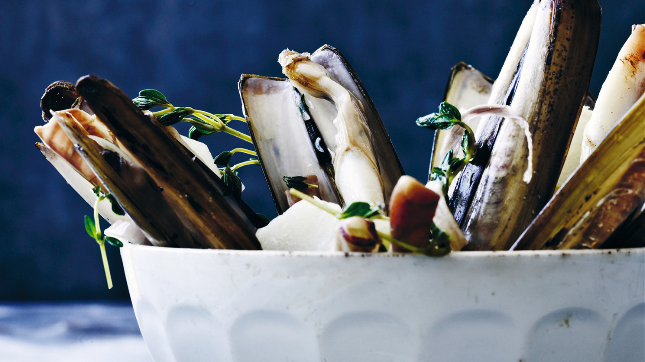 Dampede muslinger med jordskokker, løg og hvide bønner​​​​‌﻿‍﻿​‍​‍‌‍﻿﻿‌﻿​‍‌‍‍‌‌‍‌﻿‌‍‍‌‌‍﻿‍​‍​‍​﻿‍‍​‍​‍‌﻿​﻿‌‍​‌‌‍﻿‍‌‍‍‌‌﻿‌​‌﻿‍‌​‍﻿‍‌‍‍‌‌‍﻿﻿​‍​‍​‍﻿​​‍​‍‌‍‍​‌﻿​‍‌‍‌‌‌‍‌‍​‍​‍​﻿‍‍​‍​‍‌‍‍​‌﻿‌​‌﻿‌​‌﻿​​​﻿‍‍​‍﻿﻿​‍﻿﻿‌‍﻿​‌‍﻿﻿‌‍​﻿‌‍​‌‌‍﻿​‌‍‍​‌‍﻿﻿‌﻿​﻿‌﻿‌​​﻿‍‍​﻿​﻿​﻿​﻿​﻿​﻿​﻿​﻿​‍﻿﻿‌‍‍‌‌‍﻿‍‌﻿‌​‌‍‌‌‌‍﻿‍‌﻿‌​​‍﻿﻿‌‍‌‌‌‍‌​‌‍‍‌‌﻿‌​​‍﻿﻿‌‍﻿‌‌‍﻿﻿‌‍‌​‌‍‌‌​﻿﻿‌‌﻿​​‌﻿​‍‌‍‌‌‌﻿​﻿‌‍‌‌‌‍﻿‍‌﻿‌​‌‍​‌‌﻿‌​‌‍‍‌‌‍﻿﻿‌‍﻿‍​﻿‍﻿‌‍‍‌‌‍‌​​﻿﻿‌‌‍​‌​﻿‌​‌‍‌‍​﻿​​​﻿‍‌​﻿​﻿​﻿‍​‌‍‌‍​‍﻿‌‌‍‌​​﻿​‌​﻿​​‌‍‌‌​‍﻿‌​﻿‌‌‌‍​‍‌‍​﻿​﻿‌‍​‍﻿‌‌‍​‍‌‍‌‍​﻿‌﻿​﻿‌﻿​‍﻿‌‌‍‌​‌‍‌‌‌‍‌‍‌‍‌‍​﻿​﻿​﻿​‍‌‍‌‍‌‍‌‌​﻿‌﻿​﻿​‌‌‍​‍​﻿‌​​﻿‍﻿‌﻿‌​‌﻿‍‌‌﻿​​‌‍‌‌​﻿﻿‌‌﻿​‍‌‍‌‌‌‍​﻿‌‍‍‌‌﻿​​‌‍‌‌​﻿‍﻿‌﻿​​‌‍​‌‌﻿‌​‌‍‍​​﻿﻿‌‌‍‍‌‌‍﻿‌‌‍​‌‌‍‌﻿‌‍‌‌​‍﻿‍‌‍​‌‌‍﻿​‌﻿‌​​﻿﻿﻿‌‍​‍‌‍​‌‌﻿​﻿‌‍‌‌‌‌‌‌‌﻿​‍‌‍﻿​​﻿﻿‌‌‍‍​‌﻿‌​‌﻿‌​‌﻿​​​‍‌‌​﻿​﻿‌​​‌​‍‌‌​﻿​‍‌​‌‍​‍‌‌​﻿​‍‌​‌‍‌‍﻿​‌‍﻿﻿‌‍​﻿‌‍​‌‌‍﻿​‌‍‍​‌‍﻿﻿‌﻿​﻿‌﻿‌​​‍‌‌​﻿​﻿‌​​‌​﻿​﻿​﻿​﻿​﻿​﻿​﻿​﻿​‍‌‍‌‍‍‌‌‍‌​​﻿﻿‌‌‍​‌​﻿‌​‌‍‌‍​﻿​​​﻿‍‌​﻿​﻿​﻿‍​‌‍‌‍​‍﻿‌‌‍‌​​﻿​‌​﻿​​‌‍‌‌​‍﻿‌​﻿‌‌‌‍​‍‌‍​﻿​﻿‌‍​‍﻿‌‌‍​‍‌‍‌‍​﻿‌﻿​﻿‌﻿​‍﻿‌‌‍‌​‌‍‌‌‌‍‌‍‌‍‌‍​﻿​﻿​﻿​‍‌‍‌‍‌‍‌‌​﻿‌﻿​﻿​‌‌‍​‍​﻿‌​​‍‌‍‌﻿‌​‌﻿‍‌‌﻿​​‌‍‌‌​﻿﻿‌‌﻿​‍‌‍‌‌‌‍​﻿‌‍‍‌‌﻿​​‌‍‌‌​‍‌‍‌﻿​​‌‍​‌‌﻿‌​‌‍‍​​﻿﻿‌‌‍‍‌‌‍﻿‌‌‍​‌‌‍‌﻿‌‍‌‌​‍﻿‍‌‍​‌‌‍﻿​‌﻿‌​​‍‌‍‌﻿​​‌‍‌‌‌﻿​‍‌﻿​﻿‌﻿​​‌‍‌‌‌‍​﻿‌﻿‌​‌‍‍‌‌﻿‌‍‌‍‌‌​﻿﻿‌‌﻿​​‌﻿‌‌‌‍​‍‌‍﻿​‌‍‍‌‌﻿​﻿‌‍‍​‌‍‌‌‌‍‌​​‍​‍‌﻿﻿‌