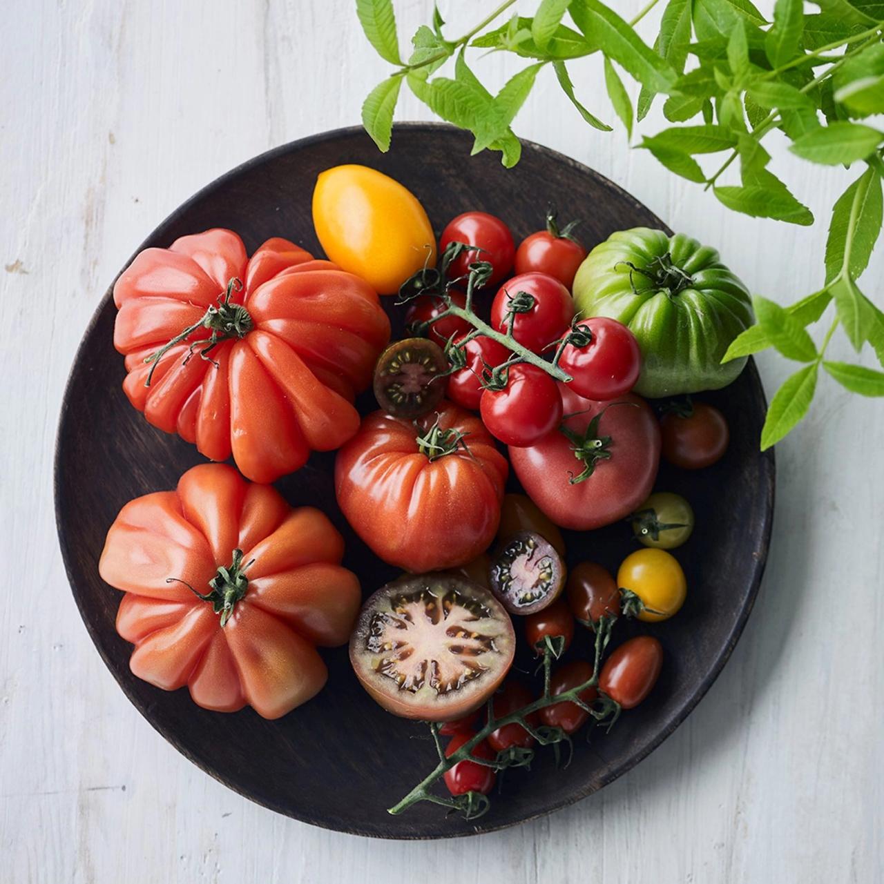 Gode råd til at undgå at smide dine grøntsager ud​​​​‌﻿‍﻿​‍​‍‌‍﻿﻿‌﻿​‍‌‍‍‌‌‍‌﻿‌‍‍‌‌‍﻿‍​‍​‍​﻿‍‍​‍​‍‌﻿​﻿‌‍​‌‌‍﻿‍‌‍‍‌‌﻿‌​‌﻿‍‌​‍﻿‍‌‍‍‌‌‍﻿﻿​‍​‍​‍﻿​​‍​‍‌‍‍​‌﻿​‍‌‍‌‌‌‍‌‍​‍​‍​﻿‍‍​‍​‍‌‍‍​‌﻿‌​‌﻿‌​‌﻿​​​﻿‍‍​‍﻿﻿​‍﻿﻿‌‍﻿​‌‍﻿﻿‌‍​﻿‌‍​‌‌‍﻿​‌‍‍​‌‍﻿﻿‌﻿​﻿‌﻿‌​​﻿‍‍​﻿​﻿​﻿​﻿​﻿​﻿​﻿​﻿​‍﻿﻿‌‍‍‌‌‍﻿‍‌﻿‌​‌‍‌‌‌‍﻿‍‌﻿‌​​‍﻿﻿‌‍‌‌‌‍‌​‌‍‍‌‌﻿‌​​‍﻿﻿‌‍﻿‌‌‍﻿﻿‌‍‌​‌‍‌‌​﻿﻿‌‌﻿​​‌﻿​‍‌‍‌‌‌﻿​﻿‌‍‌‌‌‍﻿‍‌﻿‌​‌‍​‌‌﻿‌​‌‍‍‌‌‍﻿﻿‌‍﻿‍​﻿‍﻿‌‍‍‌‌‍‌​​﻿﻿‌‌‍​﻿​﻿‍‌​﻿​‍​﻿‌‌​﻿​﻿​﻿‌‌​﻿​​​﻿‍​​‍﻿‌​﻿‌‌​﻿‌‌​﻿​​​﻿‍‌​‍﻿‌​﻿‌​‌‍​‍​﻿​​​﻿‍​​‍﻿‌​﻿‍‌‌‍‌‍‌‍​‌​﻿​‌​‍﻿‌‌‍‌​​﻿​﻿​﻿‌‌​﻿‌‌‌‍​﻿​﻿​​​﻿​‌‌‍‌‍​﻿‌﻿‌‍​‍‌‍‌‌‌‍‌‌​﻿‍﻿‌﻿‌​‌﻿‍‌‌﻿​​‌‍‌‌​﻿﻿‌‌‍​‌‌﻿​‍‌﻿‌​‌‍‍‌‌‍​﻿‌‍﻿​‌‍‌‌​﻿‍﻿‌﻿​​‌‍​‌‌﻿‌​‌‍‍​​﻿﻿‌‌﻿​​‌‍﻿﻿‌﻿​‍‌﻿‌​‌‍​‌‌‍​‍‌‍﻿​‌‍‌‌‌﻿‌​‌‍‌‌‌﻿‍​‌﻿‌​​‍‌‌​﻿‌‌‌​​‍‌‌﻿﻿‌‍‍﻿‌‍‌‌‌﻿‍‌​‍‌‌​﻿​﻿‌​‌​​‍‌‌​﻿​﻿‌​‌​​‍‌‌​﻿​‍​﻿​‍​﻿‍​‌‍​‌​﻿​﻿​﻿‌‌‌‍‌‍​﻿‌‍​﻿‌​​﻿‌​​‍‌‌​﻿​‍​﻿​‍​‍‌‌​﻿‌‌‌​‌​​‍﻿‍‌﻿​﻿‌‍﻿​‌‍‍‌‌‍‌​‌‍‌‌‌﻿​﻿​‍‌‌​﻿‌‌‌​​‍‌‌﻿﻿‌‍‍﻿‌‍‌‌‌﻿‍‌​‍‌‌​﻿​﻿‌​‌​​‍‌‌​﻿​﻿‌​‌​​‍‌‌​﻿​‍​﻿​‍​﻿‍‌​﻿‌﻿​﻿​​​﻿​‍​﻿​​​﻿‌﻿​﻿​‌​﻿‌‍​‍‌‌​﻿​‍​﻿​‍​‍‌‌​﻿‌‌‌​‌​​‍﻿‍‌‍‍‌‌‍﻿‌‌‍​‌‌‍‌﻿‌‍‌‌​‍﻿‍‌‍​‌‌‍﻿​‌﻿‌​​﻿﻿﻿‌‍​‍‌‍​‌‌﻿​﻿‌‍‌‌‌‌‌‌‌﻿​‍‌‍﻿​​﻿﻿‌‌‍‍​‌﻿‌​‌﻿‌​‌﻿​​​‍‌‌​﻿​﻿‌​​‌​‍‌‌​﻿​‍‌​‌‍​‍‌‌​﻿​‍‌​‌‍‌‍﻿​‌‍﻿﻿‌‍​﻿‌‍​‌‌‍﻿​‌‍‍​‌‍﻿﻿‌﻿​﻿‌﻿‌​​‍‌‌​﻿​﻿‌​​‌​﻿​﻿​﻿​﻿​﻿​﻿​﻿​﻿​‍‌‍‌‍‍‌‌‍‌​​﻿﻿‌‌‍​﻿​﻿‍‌​﻿​‍​﻿‌‌​﻿​﻿​﻿‌‌​﻿​​​﻿‍​​‍﻿‌​﻿‌‌​﻿‌‌​﻿​​​﻿‍‌​‍﻿‌​﻿‌​‌‍​‍​﻿​​​﻿‍​​‍﻿‌​﻿‍‌‌‍‌‍‌‍​‌​﻿​‌​‍﻿‌‌‍‌​​﻿​﻿​﻿‌‌​﻿‌‌‌‍​﻿​﻿​​​﻿​‌‌‍‌‍​﻿‌﻿‌‍​‍‌‍‌‌‌‍‌‌​‍‌‍‌﻿‌​‌﻿‍‌‌﻿​​‌‍‌‌​﻿﻿‌‌‍​‌‌﻿​‍‌﻿‌​‌‍‍‌‌‍​﻿‌‍﻿​‌‍‌‌​‍‌‍‌﻿​​‌‍​‌‌﻿‌​‌‍‍​​﻿﻿‌‌﻿​​‌‍﻿﻿‌﻿​‍‌﻿‌​‌‍​‌‌‍​‍‌‍﻿​‌‍‌‌‌﻿‌​‌‍‌‌‌﻿‍​‌﻿‌​​‍‌‌​﻿‌‌‌​​‍‌‌﻿﻿‌‍‍﻿‌‍‌‌‌﻿‍‌​‍‌‌​﻿​﻿‌​‌​​‍‌‌​﻿​﻿‌​‌​​‍‌‌​﻿​‍​﻿​‍​﻿‍​‌‍​‌​﻿​﻿​﻿‌‌‌‍‌‍​﻿‌‍​﻿‌​​﻿‌​​‍‌‌​﻿​‍​﻿​‍​‍‌‌​﻿‌‌‌​‌​​‍﻿‍‌﻿​﻿‌‍﻿​‌‍‍‌‌‍‌​‌‍‌‌‌﻿​﻿​‍‌‌​﻿‌‌‌​​‍‌‌﻿﻿‌‍‍﻿‌‍‌‌‌﻿‍‌​‍‌‌​﻿​﻿‌​‌​​‍‌‌​﻿​﻿‌​‌​​‍‌‌​﻿​‍​﻿​‍​﻿‍‌​﻿‌﻿​﻿​​​﻿​‍​﻿​​​﻿‌﻿​﻿​‌​﻿‌‍​‍‌‌​﻿​‍​﻿​‍​‍‌‌​﻿‌‌‌​‌​​‍﻿‍‌‍‍‌‌‍﻿‌‌‍​‌‌‍‌﻿‌‍‌‌​‍﻿‍‌‍​‌‌‍﻿​‌﻿‌​​‍‌‍‌﻿​​‌‍‌‌‌﻿​‍‌﻿​﻿‌﻿​​‌‍‌‌‌‍​﻿‌﻿‌​‌‍‍‌‌﻿‌‍‌‍‌‌​﻿﻿‌‌﻿​​‌﻿‌‌‌‍​‍‌‍﻿​‌‍‍‌‌﻿​﻿‌‍‍​‌‍‌‌‌‍‌​​‍​‍‌﻿﻿‌