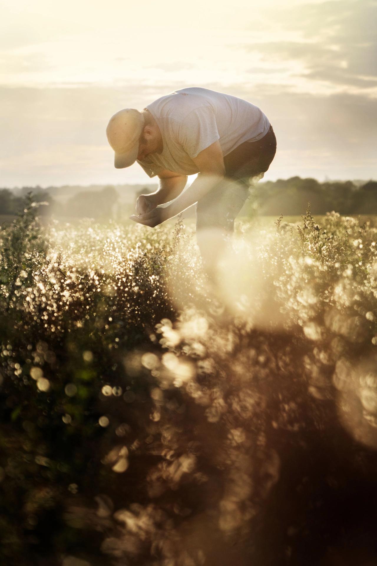 Økologi​​​​‌﻿‍﻿​‍​‍‌‍﻿﻿‌﻿​‍‌‍‍‌‌‍‌﻿‌‍‍‌‌‍﻿‍​‍​‍​﻿‍‍​‍​‍‌﻿​﻿‌‍​‌‌‍﻿‍‌‍‍‌‌﻿‌​‌﻿‍‌​‍﻿‍‌‍‍‌‌‍﻿﻿​‍​‍​‍﻿​​‍​‍‌‍‍​‌﻿​‍‌‍‌‌‌‍‌‍​‍​‍​﻿‍‍​‍​‍‌‍‍​‌﻿‌​‌﻿‌​‌﻿​​​﻿‍‍​‍﻿﻿​‍﻿﻿‌‍﻿​‌‍﻿﻿‌‍​﻿‌‍​‌‌‍﻿​‌‍‍​‌‍﻿﻿‌﻿​﻿‌﻿‌​​﻿‍‍​﻿​﻿​﻿​﻿​﻿​﻿​﻿​﻿​‍﻿﻿‌‍‍‌‌‍﻿‍‌﻿‌​‌‍‌‌‌‍﻿‍‌﻿‌​​‍﻿﻿‌‍‌‌‌‍‌​‌‍‍‌‌﻿‌​​‍﻿﻿‌‍﻿‌‌‍﻿﻿‌‍‌​‌‍‌‌​﻿﻿‌‌﻿​​‌﻿​‍‌‍‌‌‌﻿​﻿‌‍‌‌‌‍﻿‍‌﻿‌​‌‍​‌‌﻿‌​‌‍‍‌‌‍﻿﻿‌‍﻿‍​﻿‍﻿‌‍‍‌‌‍‌​​﻿﻿‌‌‍​‌‌‍​﻿‌‍‌‌​﻿​​‌‍‌​‌‍​‌‌‍​‍‌‍​﻿​‍﻿‌‌‍‌‌‌‍‌‍​﻿​‌‌‍‌‍​‍﻿‌​﻿‌​​﻿​﻿​﻿​​‌‍‌​​‍﻿‌​﻿‍​​﻿​‌​﻿​‌​﻿​﻿​‍﻿‌​﻿​﻿​﻿​​‌‍​‍​﻿‍‌​﻿​‍​﻿​﻿‌‍​‍​﻿‌‍‌‍​﻿​﻿‌﻿​﻿‌‍‌‍‌‍​﻿‍﻿‌﻿‌​‌﻿‍‌‌﻿​​‌‍‌‌​﻿﻿‌‌‍​‌‌﻿​‍‌﻿‌​‌‍‍‌‌‍​﻿‌‍﻿​‌‍‌‌​﻿‍﻿‌﻿​​‌‍​‌‌﻿‌​‌‍‍​​﻿﻿‌‌﻿​​‌‍﻿﻿‌﻿​‍‌﻿‌​‌‍​‌‌‍​‍‌‍﻿​‌‍‌‌‌﻿‌​‌‍‌‌‌﻿‍​‌﻿‌​​‍‌‌​﻿‌‌‌​​‍‌‌﻿﻿‌‍‍﻿‌‍‌‌‌﻿‍‌​‍‌‌​﻿​﻿‌​‌​​‍‌‌​﻿​﻿‌​‌​​‍‌‌​﻿​‍​﻿​‍​﻿‌‍‌‍​‌​﻿‍‌​﻿​﻿​﻿‍​​﻿​‍​﻿​‍​﻿‌﻿​‍‌‌​﻿​‍​﻿​‍​‍‌‌​﻿‌‌‌​‌​​‍﻿‍‌﻿​﻿‌‍﻿​‌‍‍‌‌‍‌​‌‍‌‌‌﻿​﻿​‍‌‌​﻿‌‌‌​​‍‌‌﻿﻿‌‍‍﻿‌‍‌‌‌﻿‍‌​‍‌‌​﻿​﻿‌​‌​​‍‌‌​﻿​﻿‌​‌​​‍‌‌​﻿​‍​﻿​‍‌‍‌‍​﻿​‍‌‍​‍​﻿‌‌​﻿​﻿​﻿‌‍‌‍‌‌‌‍​‍​‍‌‌​﻿​‍​﻿​‍​‍‌‌​﻿‌‌‌​‌​​‍﻿‍‌‍‍‌‌‍﻿‌‌‍​‌‌‍‌﻿‌‍‌‌​‍﻿‍‌‍​‌‌‍﻿​‌﻿‌​​﻿﻿﻿‌‍​‍‌‍​‌‌﻿​﻿‌‍‌‌‌‌‌‌‌﻿​‍‌‍﻿​​﻿﻿‌‌‍‍​‌﻿‌​‌﻿‌​‌﻿​​​‍‌‌​﻿​﻿‌​​‌​‍‌‌​﻿​‍‌​‌‍​‍‌‌​﻿​‍‌​‌‍‌‍﻿​‌‍﻿﻿‌‍​﻿‌‍​‌‌‍﻿​‌‍‍​‌‍﻿﻿‌﻿​﻿‌﻿‌​​‍‌‌​﻿​﻿‌​​‌​﻿​﻿​﻿​﻿​﻿​﻿​﻿​﻿​‍‌‍‌‍‍‌‌‍‌​​﻿﻿‌‌‍​‌‌‍​﻿‌‍‌‌​﻿​​‌‍‌​‌‍​‌‌‍​‍‌‍​﻿​‍﻿‌‌‍‌‌‌‍‌‍​﻿​‌‌‍‌‍​‍﻿‌​﻿‌​​﻿​﻿​﻿​​‌‍‌​​‍﻿‌​﻿‍​​﻿​‌​﻿​‌​﻿​﻿​‍﻿‌​﻿​﻿​﻿​​‌‍​‍​﻿‍‌​﻿​‍​﻿​﻿‌‍​‍​﻿‌‍‌‍​﻿​﻿‌﻿​﻿‌‍‌‍‌‍​‍‌‍‌﻿‌​‌﻿‍‌‌﻿​​‌‍‌‌​﻿﻿‌‌‍​‌‌﻿​‍‌﻿‌​‌‍‍‌‌‍​﻿‌‍﻿​‌‍‌‌​‍‌‍‌﻿​​‌‍​‌‌﻿‌​‌‍‍​​﻿﻿‌‌﻿​​‌‍﻿﻿‌﻿​‍‌﻿‌​‌‍​‌‌‍​‍‌‍﻿​‌‍‌‌‌﻿‌​‌‍‌‌‌﻿‍​‌﻿‌​​‍‌‌​﻿‌‌‌​​‍‌‌﻿﻿‌‍‍﻿‌‍‌‌‌﻿‍‌​‍‌‌​﻿​﻿‌​‌​​‍‌‌​﻿​﻿‌​‌​​‍‌‌​﻿​‍​﻿​‍​﻿‌‍‌‍​‌​﻿‍‌​﻿​﻿​﻿‍​​﻿​‍​﻿​‍​﻿‌﻿​‍‌‌​﻿​‍​﻿​‍​‍‌‌​﻿‌‌‌​‌​​‍﻿‍‌﻿​﻿‌‍﻿​‌‍‍‌‌‍‌​‌‍‌‌‌﻿​﻿​‍‌‌​﻿‌‌‌​​‍‌‌﻿﻿‌‍‍﻿‌‍‌‌‌﻿‍‌​‍‌‌​﻿​﻿‌​‌​​‍‌‌​﻿​﻿‌​‌​​‍‌‌​﻿​‍​﻿​‍‌‍‌‍​﻿​‍‌‍​‍​﻿‌‌​﻿​﻿​﻿‌‍‌‍‌‌‌‍​‍​‍‌‌​﻿​‍​﻿​‍​‍‌‌​﻿‌‌‌​‌​​‍﻿‍‌‍‍‌‌‍﻿‌‌‍​‌‌‍‌﻿‌‍‌‌​‍﻿‍‌‍​‌‌‍﻿​‌﻿‌​​‍‌‍‌﻿​​‌‍‌‌‌﻿​‍‌﻿​﻿‌﻿​​‌‍‌‌‌‍​﻿‌﻿‌​‌‍‍‌‌﻿‌‍‌‍‌‌​﻿﻿‌‌﻿​​‌﻿‌‌‌‍​‍‌‍﻿​‌‍‍‌‌﻿​﻿‌‍‍​‌‍‌‌‌‍‌​​‍​‍‌﻿﻿‌