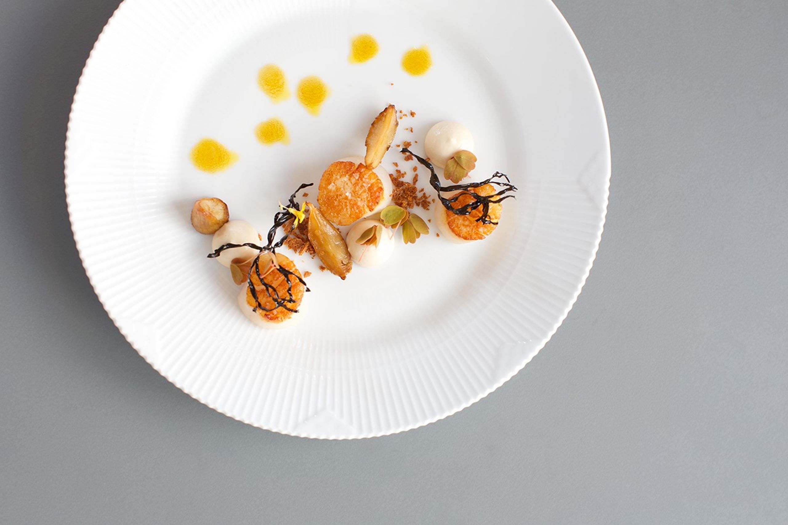 Stegte kammuslinger med bagte jordskokker​​​​‌﻿‍﻿​‍​‍‌‍﻿﻿‌﻿​‍‌‍‍‌‌‍‌﻿‌‍‍‌‌‍﻿‍​‍​‍​﻿‍‍​‍​‍‌﻿​﻿‌‍​‌‌‍﻿‍‌‍‍‌‌﻿‌​‌﻿‍‌​‍﻿‍‌‍‍‌‌‍﻿﻿​‍​‍​‍﻿​​‍​‍‌‍‍​‌﻿​‍‌‍‌‌‌‍‌‍​‍​‍​﻿‍‍​‍​‍‌‍‍​‌﻿‌​‌﻿‌​‌﻿​​​﻿‍‍​‍﻿﻿​‍﻿﻿‌‍﻿​‌‍﻿﻿‌‍​﻿‌‍​‌‌‍﻿​‌‍‍​‌‍﻿﻿‌﻿​﻿‌﻿‌​​﻿‍‍​﻿​﻿​﻿​﻿​﻿​﻿​﻿​﻿​‍﻿﻿‌‍‍‌‌‍﻿‍‌﻿‌​‌‍‌‌‌‍﻿‍‌﻿‌​​‍﻿﻿‌‍‌‌‌‍‌​‌‍‍‌‌﻿‌​​‍﻿﻿‌‍﻿‌‌‍﻿﻿‌‍‌​‌‍‌‌​﻿﻿‌‌﻿​​‌﻿​‍‌‍‌‌‌﻿​﻿‌‍‌‌‌‍﻿‍‌﻿‌​‌‍​‌‌﻿‌​‌‍‍‌‌‍﻿﻿‌‍﻿‍​﻿‍﻿‌‍‍‌‌‍‌​​﻿﻿‌‌‍​‍‌‍‌‌‌‍‌‍​﻿​​​﻿‌‌​﻿‌‍‌‍‌‍​﻿​‍​‍﻿‌​﻿‍​​﻿‍​​﻿​﻿‌‍​‌​‍﻿‌​﻿‌‌‌‍​‌‌‍​﻿‌‍​﻿​‍﻿‌​﻿‍‌​﻿‍‌‌‍‌​​﻿​‍​‍﻿‌​﻿‌‌​﻿‌﻿​﻿‍‌‌‍‌‍​﻿‍​​﻿​‍‌‍​‍​﻿‌​‌‍​‌​﻿‍​​﻿‍‌​﻿​​​﻿‍﻿‌﻿‌​‌﻿‍‌‌﻿​​‌‍‌‌​﻿﻿‌‌﻿​‍‌‍‌‌‌‍​﻿‌‍‍‌‌﻿​​‌‍‌‌​﻿‍﻿‌﻿​​‌‍​‌‌﻿‌​‌‍‍​​﻿﻿‌‌‍‍‌‌‍﻿‌‌‍​‌‌‍‌﻿‌‍‌‌​‍﻿‍‌‍​‌‌‍﻿​‌﻿‌​​﻿﻿﻿‌‍​‍‌‍​‌‌﻿​﻿‌‍‌‌‌‌‌‌‌﻿​‍‌‍﻿​​﻿﻿‌‌‍‍​‌﻿‌​‌﻿‌​‌﻿​​​‍‌‌​﻿​﻿‌​​‌​‍‌‌​﻿​‍‌​‌‍​‍‌‌​﻿​‍‌​‌‍‌‍﻿​‌‍﻿﻿‌‍​﻿‌‍​‌‌‍﻿​‌‍‍​‌‍﻿﻿‌﻿​﻿‌﻿‌​​‍‌‌​﻿​﻿‌​​‌​﻿​﻿​﻿​﻿​﻿​﻿​﻿​﻿​‍‌‍‌‍‍‌‌‍‌​​﻿﻿‌‌‍​‍‌‍‌‌‌‍‌‍​﻿​​​﻿‌‌​﻿‌‍‌‍‌‍​﻿​‍​‍﻿‌​﻿‍​​﻿‍​​﻿​﻿‌‍​‌​‍﻿‌​﻿‌‌‌‍​‌‌‍​﻿‌‍​﻿​‍﻿‌​﻿‍‌​﻿‍‌‌‍‌​​﻿​‍​‍﻿‌​﻿‌‌​﻿‌﻿​﻿‍‌‌‍‌‍​﻿‍​​﻿​‍‌‍​‍​﻿‌​‌‍​‌​﻿‍​​﻿‍‌​﻿​​​‍‌‍‌﻿‌​‌﻿‍‌‌﻿​​‌‍‌‌​﻿﻿‌‌﻿​‍‌‍‌‌‌‍​﻿‌‍‍‌‌﻿​​‌‍‌‌​‍‌‍‌﻿​​‌‍​‌‌﻿‌​‌‍‍​​﻿﻿‌‌‍‍‌‌‍﻿‌‌‍​‌‌‍‌﻿‌‍‌‌​‍﻿‍‌‍​‌‌‍﻿​‌﻿‌​​‍‌‍‌﻿​​‌‍‌‌‌﻿​‍‌﻿​﻿‌﻿​​‌‍‌‌‌‍​﻿‌﻿‌​‌‍‍‌‌﻿‌‍‌‍‌‌​﻿﻿‌‌﻿​​‌﻿‌‌‌‍​‍‌‍﻿​‌‍‍‌‌﻿​﻿‌‍‍​‌‍‌‌‌‍‌​​‍​‍‌﻿﻿‌