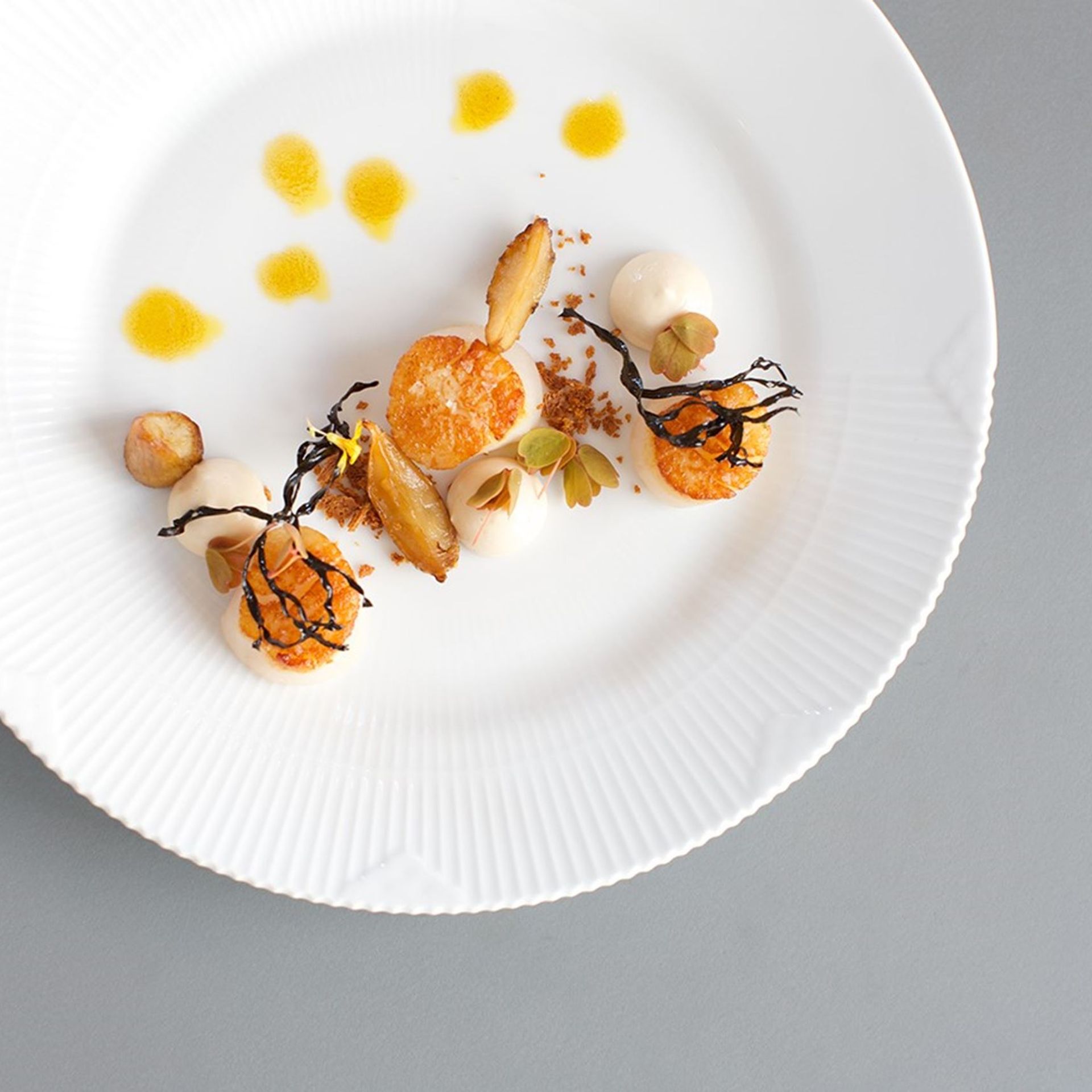 Stegte kammuslinger med bagte jordskokker