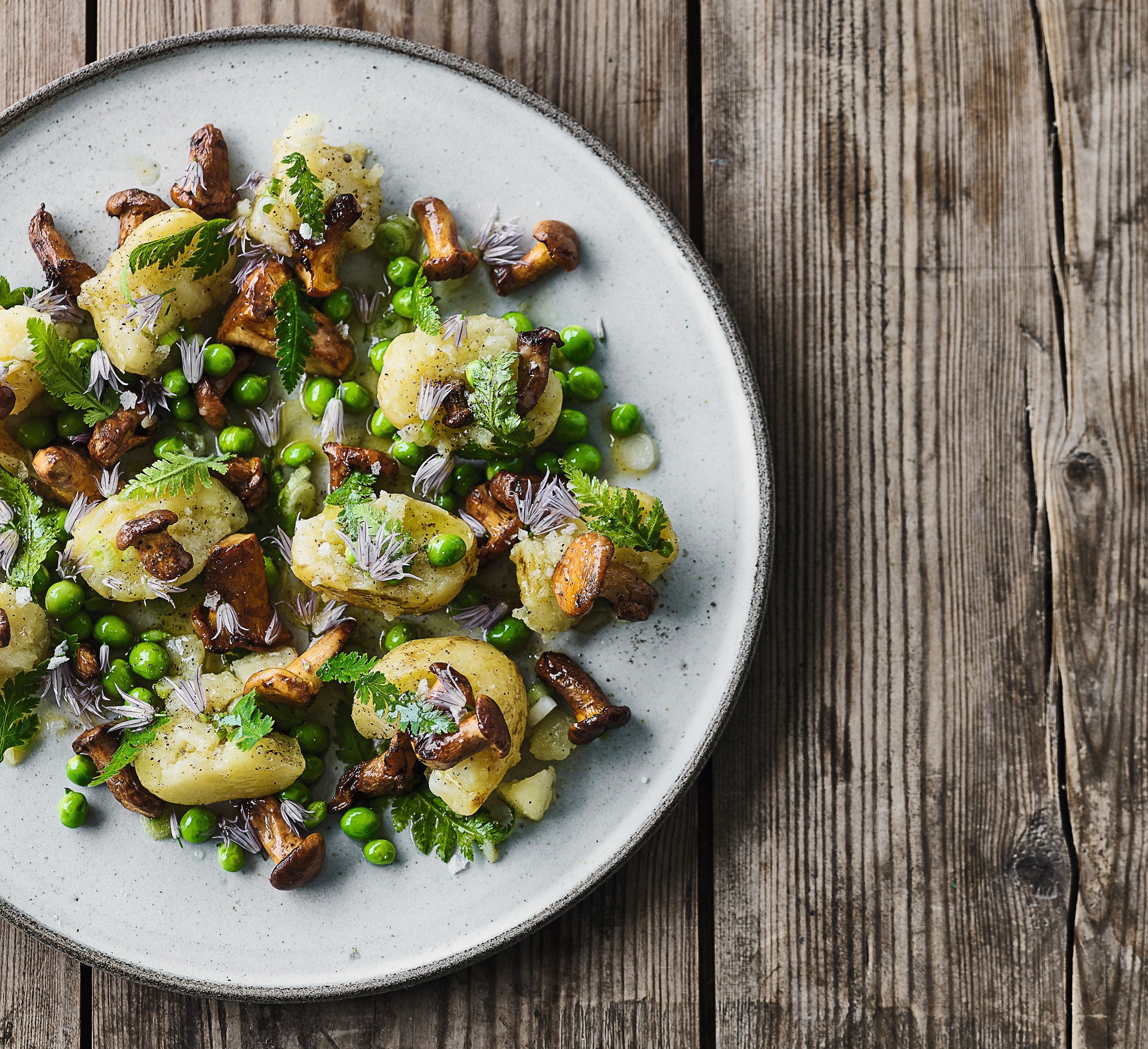 Røgede kartofler og sommersvampe​​​​‌﻿‍﻿​‍​‍‌‍﻿﻿‌﻿​‍‌‍‍‌‌‍‌﻿‌‍‍‌‌‍﻿‍​‍​‍​﻿‍‍​‍​‍‌﻿​﻿‌‍​‌‌‍﻿‍‌‍‍‌‌﻿‌​‌﻿‍‌​‍﻿‍‌‍‍‌‌‍﻿﻿​‍​‍​‍﻿​​‍​‍‌‍‍​‌﻿​‍‌‍‌‌‌‍‌‍​‍​‍​﻿‍‍​‍​‍‌‍‍​‌﻿‌​‌﻿‌​‌﻿​​​﻿‍‍​‍﻿﻿​‍﻿﻿‌‍﻿​‌‍﻿﻿‌‍​﻿‌‍​‌‌‍﻿​‌‍‍​‌‍﻿﻿‌﻿​﻿‌﻿‌​​﻿‍‍​﻿​﻿​﻿​﻿​﻿​﻿​﻿​﻿​‍﻿﻿‌‍‍‌‌‍﻿‍‌﻿‌​‌‍‌‌‌‍﻿‍‌﻿‌​​‍﻿﻿‌‍‌‌‌‍‌​‌‍‍‌‌﻿‌​​‍﻿﻿‌‍﻿‌‌‍﻿﻿‌‍‌​‌‍‌‌​﻿﻿‌‌﻿​​‌﻿​‍‌‍‌‌‌﻿​﻿‌‍‌‌‌‍﻿‍‌﻿‌​‌‍​‌‌﻿‌​‌‍‍‌‌‍﻿﻿‌‍﻿‍​﻿‍﻿‌‍‍‌‌‍‌​​﻿﻿‌​﻿‌​‌‍‌​​﻿‌‌​﻿‌‌‌‍​‌‌‍‌‌‌‍​‌​﻿‌‍​‍﻿‌​﻿‌﻿‌‍​﻿‌‍‌​​﻿‌‌​‍﻿‌​﻿‌‌​﻿​​‌‍​﻿‌‍‌‌​‍﻿‌‌‍​‍​﻿​﻿​﻿​﻿‌‍‌​​‍﻿‌​﻿​‌​﻿‌‌‌‍‌‌‌‍‌‌​﻿​‍‌‍​‌​﻿‌﻿​﻿​‌​﻿‌​​﻿​‍‌‍‌‌​﻿‌﻿​﻿‍﻿‌﻿‌​‌﻿‍‌‌﻿​​‌‍‌‌​﻿﻿‌‌﻿​‍‌‍‌‌‌‍​﻿‌‍‍‌‌﻿​​‌‍‌‌​﻿‍﻿‌﻿​​‌‍​‌‌﻿‌​‌‍‍​​﻿﻿‌‌‍‍‌‌‍﻿‌‌‍​‌‌‍‌﻿‌‍‌‌​‍﻿‍‌‍​‌‌‍﻿​‌﻿‌​​﻿﻿﻿‌‍​‍‌‍​‌‌﻿​﻿‌‍‌‌‌‌‌‌‌﻿​‍‌‍﻿​​﻿﻿‌‌‍‍​‌﻿‌​‌﻿‌​‌﻿​​​‍‌‌​﻿​﻿‌​​‌​‍‌‌​﻿​‍‌​‌‍​‍‌‌​﻿​‍‌​‌‍‌‍﻿​‌‍﻿﻿‌‍​﻿‌‍​‌‌‍﻿​‌‍‍​‌‍﻿﻿‌﻿​﻿‌﻿‌​​‍‌‌​﻿​﻿‌​​‌​﻿​﻿​﻿​﻿​﻿​﻿​﻿​﻿​‍‌‍‌‍‍‌‌‍‌​​﻿﻿‌​﻿‌​‌‍‌​​﻿‌‌​﻿‌‌‌‍​‌‌‍‌‌‌‍​‌​﻿‌‍​‍﻿‌​﻿‌﻿‌‍​﻿‌‍‌​​﻿‌‌​‍﻿‌​﻿‌‌​﻿​​‌‍​﻿‌‍‌‌​‍﻿‌‌‍​‍​﻿​﻿​﻿​﻿‌‍‌​​‍﻿‌​﻿​‌​﻿‌‌‌‍‌‌‌‍‌‌​﻿​‍‌‍​‌​﻿‌﻿​﻿​‌​﻿‌​​﻿​‍‌‍‌‌​﻿‌﻿​‍‌‍‌﻿‌​‌﻿‍‌‌﻿​​‌‍‌‌​﻿﻿‌‌﻿​‍‌‍‌‌‌‍​﻿‌‍‍‌‌﻿​​‌‍‌‌​‍‌‍‌﻿​​‌‍​‌‌﻿‌​‌‍‍​​﻿﻿‌‌‍‍‌‌‍﻿‌‌‍​‌‌‍‌﻿‌‍‌‌​‍﻿‍‌‍​‌‌‍﻿​‌﻿‌​​‍‌‍‌﻿​​‌‍‌‌‌﻿​‍‌﻿​﻿‌﻿​​‌‍‌‌‌‍​﻿‌﻿‌​‌‍‍‌‌﻿‌‍‌‍‌‌​﻿﻿‌‌﻿​​‌﻿‌‌‌‍​‍‌‍﻿​‌‍‍‌‌﻿​﻿‌‍‍​‌‍‌‌‌‍‌​​‍​‍‌﻿﻿‌