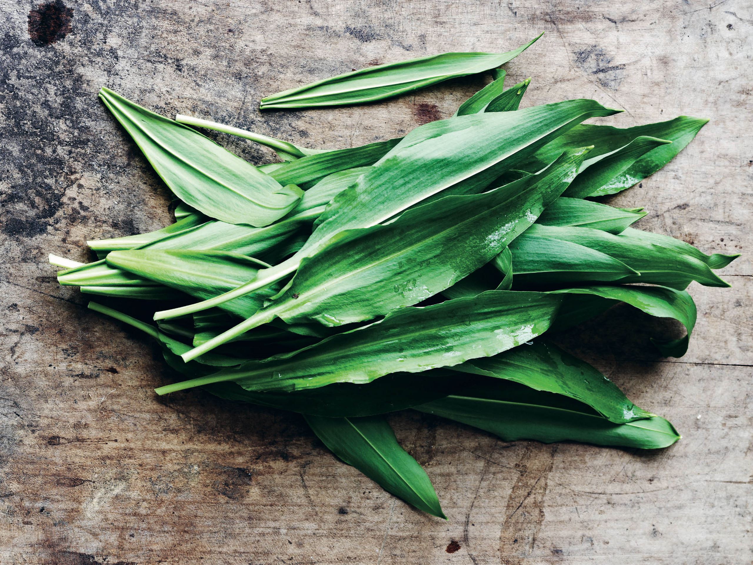 Bring foråret ind i køkkenet ved at servere ramsløg​​​​‌﻿‍﻿​‍​‍‌‍﻿﻿‌﻿​‍‌‍‍‌‌‍‌﻿‌‍‍‌‌‍﻿‍​‍​‍​﻿‍‍​‍​‍‌﻿​﻿‌‍​‌‌‍﻿‍‌‍‍‌‌﻿‌​‌﻿‍‌​‍﻿‍‌‍‍‌‌‍﻿﻿​‍​‍​‍﻿​​‍​‍‌‍‍​‌﻿​‍‌‍‌‌‌‍‌‍​‍​‍​﻿‍‍​‍​‍‌‍‍​‌﻿‌​‌﻿‌​‌﻿​​​﻿‍‍​‍﻿﻿​‍﻿﻿‌‍﻿​‌‍﻿﻿‌‍​﻿‌‍​‌‌‍﻿​‌‍‍​‌‍﻿﻿‌﻿​﻿‌﻿‌​​﻿‍‍​﻿​﻿​﻿​﻿​﻿​﻿​﻿​﻿​‍﻿﻿‌‍‍‌‌‍﻿‍‌﻿‌​‌‍‌‌‌‍﻿‍‌﻿‌​​‍﻿﻿‌‍‌‌‌‍‌​‌‍‍‌‌﻿‌​​‍﻿﻿‌‍﻿‌‌‍﻿﻿‌‍‌​‌‍‌‌​﻿﻿‌‌﻿​​‌﻿​‍‌‍‌‌‌﻿​﻿‌‍‌‌‌‍﻿‍‌﻿‌​‌‍​‌‌﻿‌​‌‍‍‌‌‍﻿﻿‌‍﻿‍​﻿‍﻿‌‍‍‌‌‍‌​​﻿﻿‌‌‍​﻿​﻿‍‌​﻿​‌​﻿‌‌‌‍‌‌‌‍​﻿​﻿​﻿​﻿‌‍​‍﻿‌​﻿​﻿​﻿‍​​﻿‌‌​﻿‍‌​‍﻿‌​﻿‌​‌‍​‌​﻿‌﻿‌‍‌​​‍﻿‌​﻿‍​‌‍‌​‌‍​﻿‌‍‌‌​‍﻿‌​﻿‌​​﻿‌‌​﻿‍‌​﻿‍‌​﻿‌‍​﻿‌﻿​﻿‌‌​﻿​​​﻿‍‌​﻿‌‍​﻿‍​​﻿‌‍​﻿‍﻿‌﻿‌​‌﻿‍‌‌﻿​​‌‍‌‌​﻿﻿‌‌‍​‌‌﻿​‍‌﻿‌​‌‍‍‌‌‍​﻿‌‍﻿​‌‍‌‌​﻿‍﻿‌﻿​​‌‍​‌‌﻿‌​‌‍‍​​﻿﻿‌‌‍‍‌‌‍﻿‌‌‍​‌‌‍‌﻿‌‍‌‌​‍﻿‍‌‍​‌‌‍﻿​‌﻿‌​​﻿﻿﻿‌‍​‍‌‍​‌‌﻿​﻿‌‍‌‌‌‌‌‌‌﻿​‍‌‍﻿​​﻿﻿‌‌‍‍​‌﻿‌​‌﻿‌​‌﻿​​​‍‌‌​﻿​﻿‌​​‌​‍‌‌​﻿​‍‌​‌‍​‍‌‌​﻿​‍‌​‌‍‌‍﻿​‌‍﻿﻿‌‍​﻿‌‍​‌‌‍﻿​‌‍‍​‌‍﻿﻿‌﻿​﻿‌﻿‌​​‍‌‌​﻿​﻿‌​​‌​﻿​﻿​﻿​﻿​﻿​﻿​﻿​﻿​‍‌‍‌‍‍‌‌‍‌​​﻿﻿‌‌‍​﻿​﻿‍‌​﻿​‌​﻿‌‌‌‍‌‌‌‍​﻿​﻿​﻿​﻿‌‍​‍﻿‌​﻿​﻿​﻿‍​​﻿‌‌​﻿‍‌​‍﻿‌​﻿‌​‌‍​‌​﻿‌﻿‌‍‌​​‍﻿‌​﻿‍​‌‍‌​‌‍​﻿‌‍‌‌​‍﻿‌​﻿‌​​﻿‌‌​﻿‍‌​﻿‍‌​﻿‌‍​﻿‌﻿​﻿‌‌​﻿​​​﻿‍‌​﻿‌‍​﻿‍​​﻿‌‍​‍‌‍‌﻿‌​‌﻿‍‌‌﻿​​‌‍‌‌​﻿﻿‌‌‍​‌‌﻿​‍‌﻿‌​‌‍‍‌‌‍​﻿‌‍﻿​‌‍‌‌​‍‌‍‌﻿​​‌‍​‌‌﻿‌​‌‍‍​​﻿﻿‌‌‍‍‌‌‍﻿‌‌‍​‌‌‍‌﻿‌‍‌‌​‍﻿‍‌‍​‌‌‍﻿​‌﻿‌​​‍‌‍‌﻿​​‌‍‌‌‌﻿​‍‌﻿​﻿‌﻿​​‌‍‌‌‌‍​﻿‌﻿‌​‌‍‍‌‌﻿‌‍‌‍‌‌​﻿﻿‌‌﻿​​‌﻿‌‌‌‍​‍‌‍﻿​‌‍‍‌‌﻿​﻿‌‍‍​‌‍‌‌‌‍‌​​‍​‍‌﻿﻿‌