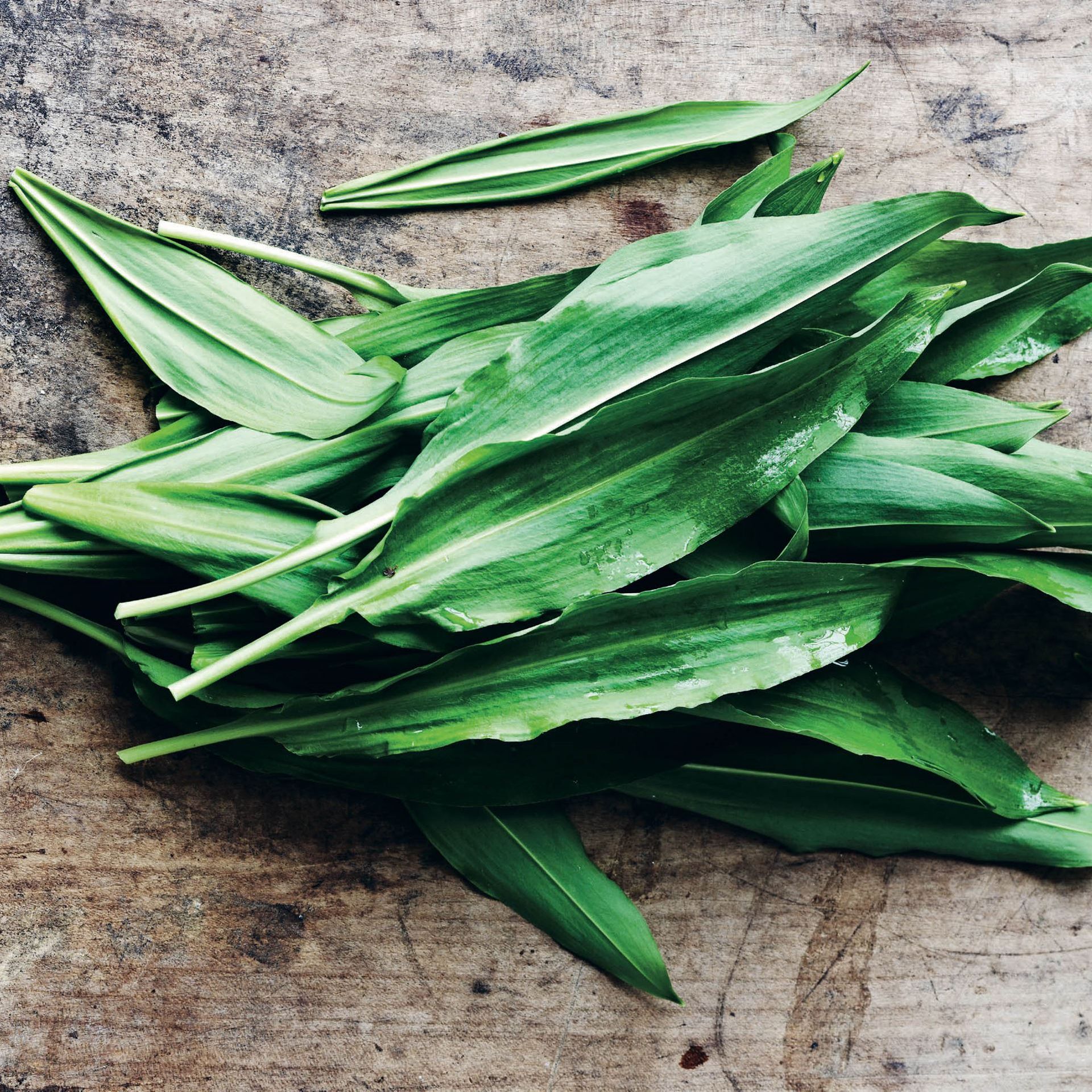 Bring foråret ind i køkkenet ved at servere ramsløg