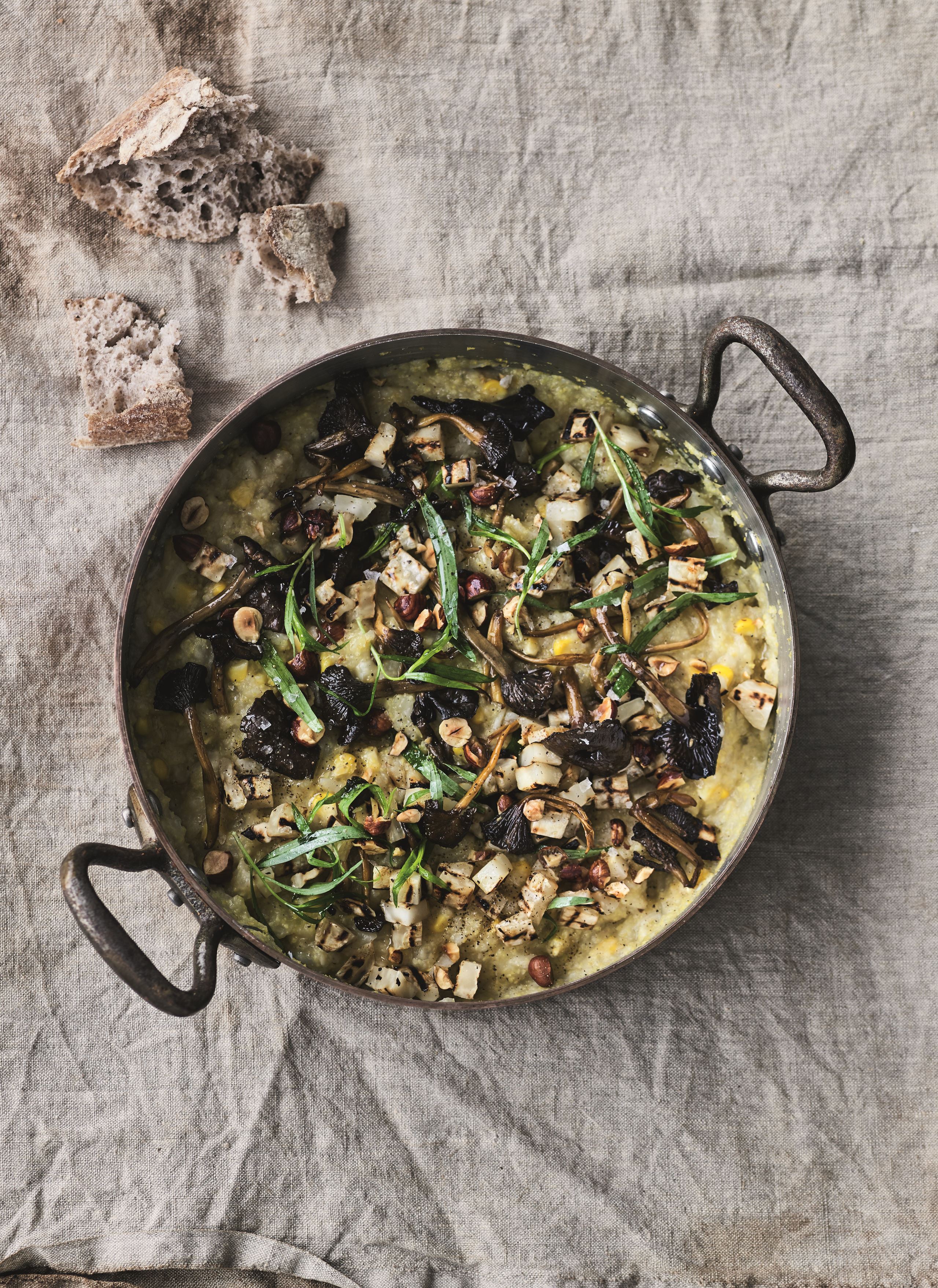 Selleri-polenta med majs og kantareller​​​​‌﻿‍﻿​‍​‍‌‍﻿﻿‌﻿​‍‌‍‍‌‌‍‌﻿‌‍‍‌‌‍﻿‍​‍​‍​﻿‍‍​‍​‍‌﻿​﻿‌‍​‌‌‍﻿‍‌‍‍‌‌﻿‌​‌﻿‍‌​‍﻿‍‌‍‍‌‌‍﻿﻿​‍​‍​‍﻿​​‍​‍‌‍‍​‌﻿​‍‌‍‌‌‌‍‌‍​‍​‍​﻿‍‍​‍​‍‌‍‍​‌﻿‌​‌﻿‌​‌﻿​​​﻿‍‍​‍﻿﻿​‍﻿﻿‌‍﻿​‌‍﻿﻿‌‍​﻿‌‍​‌‌‍﻿​‌‍‍​‌‍﻿﻿‌﻿​﻿‌﻿‌​​﻿‍‍​﻿​﻿​﻿​﻿​﻿​﻿​﻿​﻿​‍﻿﻿‌‍‍‌‌‍﻿‍‌﻿‌​‌‍‌‌‌‍﻿‍‌﻿‌​​‍﻿﻿‌‍‌‌‌‍‌​‌‍‍‌‌﻿‌​​‍﻿﻿‌‍﻿‌‌‍﻿﻿‌‍‌​‌‍‌‌​﻿﻿‌‌﻿​​‌﻿​‍‌‍‌‌‌﻿​﻿‌‍‌‌‌‍﻿‍‌﻿‌​‌‍​‌‌﻿‌​‌‍‍‌‌‍﻿﻿‌‍﻿‍​﻿‍﻿‌‍‍‌‌‍‌​​﻿﻿‌‌‍​‌​﻿‍‌​﻿‌‌‌‍‌​​﻿​﻿​﻿​‍​﻿‍‌​﻿‌​​‍﻿‌​﻿‍​​﻿‌‌‌‍​‌‌‍‌‌​‍﻿‌​﻿‌‌​﻿‍​​﻿​﻿​﻿‌﻿​‍﻿‌​﻿‍​​﻿‌​‌‍‌‌​﻿‌​​‍﻿‌‌‍​﻿‌‍‌​​﻿‌﻿​﻿​‍‌‍​﻿‌‍​﻿‌‍​﻿​﻿​‍​﻿‍‌​﻿‍‌​﻿​​‌‍​‌​﻿‍﻿‌﻿‌​‌﻿‍‌‌﻿​​‌‍‌‌​﻿﻿‌‌﻿​‍‌‍‌‌‌‍​﻿‌‍‍‌‌﻿​​‌‍‌‌​﻿‍﻿‌﻿​​‌‍​‌‌﻿‌​‌‍‍​​﻿﻿‌‌‍‍‌‌‍﻿‌‌‍​‌‌‍‌﻿‌‍‌‌​‍﻿‍‌‍​‌‌‍﻿​‌﻿‌​​﻿﻿﻿‌‍​‍‌‍​‌‌﻿​﻿‌‍‌‌‌‌‌‌‌﻿​‍‌‍﻿​​﻿﻿‌‌‍‍​‌﻿‌​‌﻿‌​‌﻿​​​‍‌‌​﻿​﻿‌​​‌​‍‌‌​﻿​‍‌​‌‍​‍‌‌​﻿​‍‌​‌‍‌‍﻿​‌‍﻿﻿‌‍​﻿‌‍​‌‌‍﻿​‌‍‍​‌‍﻿﻿‌﻿​﻿‌﻿‌​​‍‌‌​﻿​﻿‌​​‌​﻿​﻿​﻿​﻿​﻿​﻿​﻿​﻿​‍‌‍‌‍‍‌‌‍‌​​﻿﻿‌‌‍​‌​﻿‍‌​﻿‌‌‌‍‌​​﻿​﻿​﻿​‍​﻿‍‌​﻿‌​​‍﻿‌​﻿‍​​﻿‌‌‌‍​‌‌‍‌‌​‍﻿‌​﻿‌‌​﻿‍​​﻿​﻿​﻿‌﻿​‍﻿‌​﻿‍​​﻿‌​‌‍‌‌​﻿‌​​‍﻿‌‌‍​﻿‌‍‌​​﻿‌﻿​﻿​‍‌‍​﻿‌‍​﻿‌‍​﻿​﻿​‍​﻿‍‌​﻿‍‌​﻿​​‌‍​‌​‍‌‍‌﻿‌​‌﻿‍‌‌﻿​​‌‍‌‌​﻿﻿‌‌﻿​‍‌‍‌‌‌‍​﻿‌‍‍‌‌﻿​​‌‍‌‌​‍‌‍‌﻿​​‌‍​‌‌﻿‌​‌‍‍​​﻿﻿‌‌‍‍‌‌‍﻿‌‌‍​‌‌‍‌﻿‌‍‌‌​‍﻿‍‌‍​‌‌‍﻿​‌﻿‌​​‍‌‍‌﻿​​‌‍‌‌‌﻿​‍‌﻿​﻿‌﻿​​‌‍‌‌‌‍​﻿‌﻿‌​‌‍‍‌‌﻿‌‍‌‍‌‌​﻿﻿‌‌﻿​​‌﻿‌‌‌‍​‍‌‍﻿​‌‍‍‌‌﻿​﻿‌‍‍​‌‍‌‌‌‍‌​​‍​‍‌﻿﻿‌