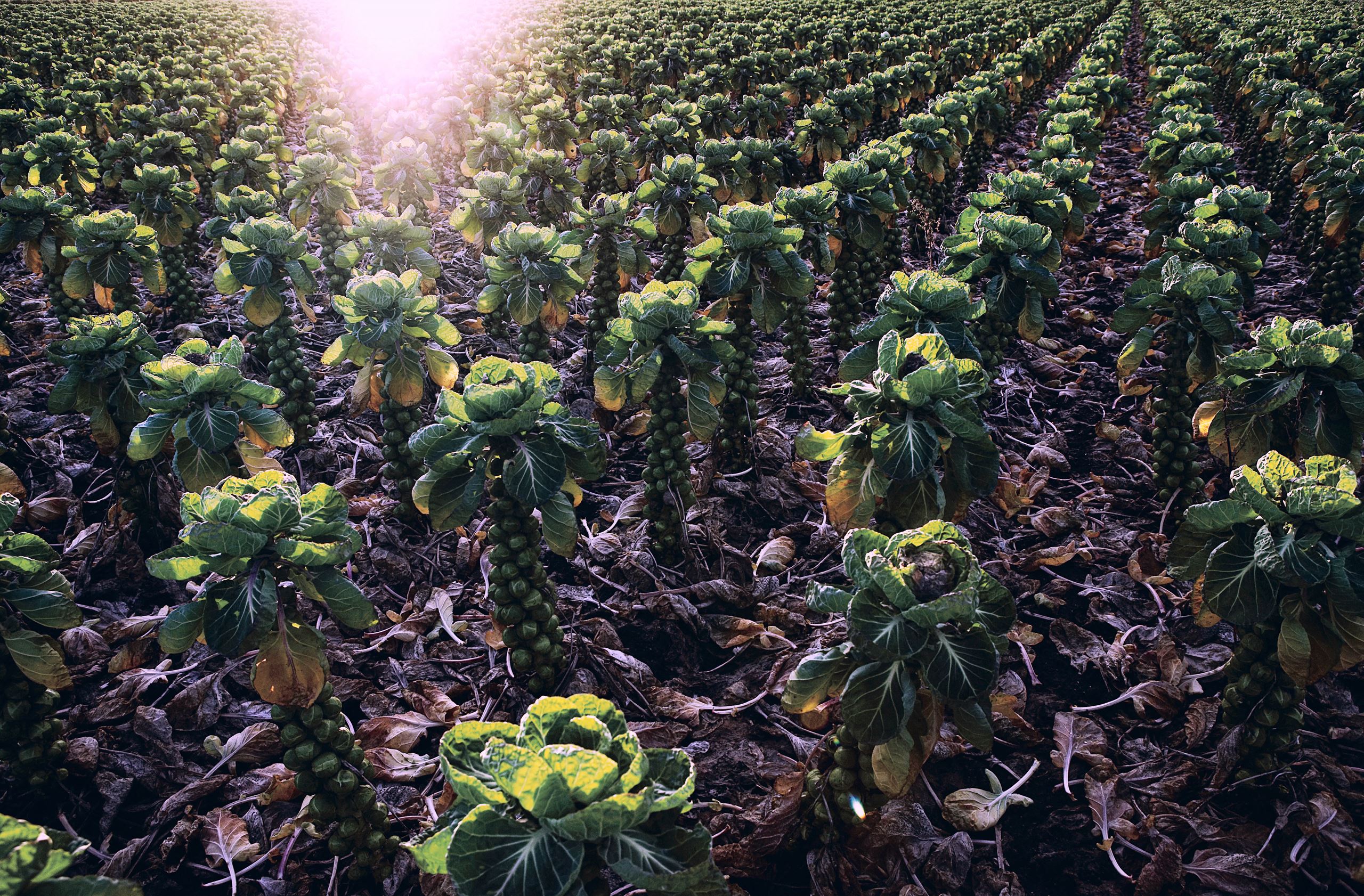 Almanak 10 års jubilæum ​​​​‌﻿‍﻿​‍​‍‌‍﻿﻿‌﻿​‍‌‍‍‌‌‍‌﻿‌‍‍‌‌‍﻿‍​‍​‍​﻿‍‍​‍​‍‌﻿​﻿‌‍​‌‌‍﻿‍‌‍‍‌‌﻿‌​‌﻿‍‌​‍﻿‍‌‍‍‌‌‍﻿﻿​‍​‍​‍﻿​​‍​‍‌‍‍​‌﻿​‍‌‍‌‌‌‍‌‍​‍​‍​﻿‍‍​‍​‍‌‍‍​‌﻿‌​‌﻿‌​‌﻿​​​﻿‍‍​‍﻿﻿​‍﻿﻿‌‍﻿​‌‍﻿﻿‌‍​﻿‌‍​‌‌‍﻿​‌‍‍​‌‍﻿﻿‌﻿​﻿‌﻿‌​​﻿‍‍​﻿​﻿​﻿​﻿​﻿​﻿​﻿​﻿​‍﻿﻿‌‍‍‌‌‍﻿‍‌﻿‌​‌‍‌‌‌‍﻿‍‌﻿‌​​‍﻿﻿‌‍‌‌‌‍‌​‌‍‍‌‌﻿‌​​‍﻿﻿‌‍﻿‌‌‍﻿﻿‌‍‌​‌‍‌‌​﻿﻿‌‌﻿​​‌﻿​‍‌‍‌‌‌﻿​﻿‌‍‌‌‌‍﻿‍‌﻿‌​‌‍​‌‌﻿‌​‌‍‍‌‌‍﻿﻿‌‍﻿‍​﻿‍﻿‌‍‍‌‌‍‌​​﻿﻿‌​﻿‌﻿‌‍‌​​﻿​‌‌‍​‍​﻿​‍​﻿‍​​﻿‍​​﻿​﻿​‍﻿‌​﻿‍​‌‍​‌‌‍​‍​﻿‍​​‍﻿‌​﻿‌​‌‍‌​​﻿‌‍​﻿‌﻿​‍﻿‌​﻿‍​​﻿​‌‌‍​﻿​﻿‍​​‍﻿‌‌‍‌‌​﻿​﻿‌‍‌​‌‍​‌‌‍​‌​﻿‌‍‌‍‌​​﻿‌​‌‍​‌​﻿​﻿​﻿‍​‌‍‌​​﻿‍﻿‌﻿‌​‌﻿‍‌‌﻿​​‌‍‌‌​﻿﻿‌‌‍​‌‌﻿​‍‌﻿‌​‌‍‍‌‌‍​﻿‌‍﻿​‌‍‌‌​﻿‍﻿‌﻿​​‌‍​‌‌﻿‌​‌‍‍​​﻿﻿‌‌‍‍‌‌‍﻿‌‌‍​‌‌‍‌﻿‌‍‌‌​‍﻿‍‌‍​‌‌‍﻿​‌﻿‌​​﻿﻿﻿‌‍​‍‌‍​‌‌﻿​﻿‌‍‌‌‌‌‌‌‌﻿​‍‌‍﻿​​﻿﻿‌‌‍‍​‌﻿‌​‌﻿‌​‌﻿​​​‍‌‌​﻿​﻿‌​​‌​‍‌‌​﻿​‍‌​‌‍​‍‌‌​﻿​‍‌​‌‍‌‍﻿​‌‍﻿﻿‌‍​﻿‌‍​‌‌‍﻿​‌‍‍​‌‍﻿﻿‌﻿​﻿‌﻿‌​​‍‌‌​﻿​﻿‌​​‌​﻿​﻿​﻿​﻿​﻿​﻿​﻿​﻿​‍‌‍‌‍‍‌‌‍‌​​﻿﻿‌​﻿‌﻿‌‍‌​​﻿​‌‌‍​‍​﻿​‍​﻿‍​​﻿‍​​﻿​﻿​‍﻿‌​﻿‍​‌‍​‌‌‍​‍​﻿‍​​‍﻿‌​﻿‌​‌‍‌​​﻿‌‍​﻿‌﻿​‍﻿‌​﻿‍​​﻿​‌‌‍​﻿​﻿‍​​‍﻿‌‌‍‌‌​﻿​﻿‌‍‌​‌‍​‌‌‍​‌​﻿‌‍‌‍‌​​﻿‌​‌‍​‌​﻿​﻿​﻿‍​‌‍‌​​‍‌‍‌﻿‌​‌﻿‍‌‌﻿​​‌‍‌‌​﻿﻿‌‌‍​‌‌﻿​‍‌﻿‌​‌‍‍‌‌‍​﻿‌‍﻿​‌‍‌‌​‍‌‍‌﻿​​‌‍​‌‌﻿‌​‌‍‍​​﻿﻿‌‌‍‍‌‌‍﻿‌‌‍​‌‌‍‌﻿‌‍‌‌​‍﻿‍‌‍​‌‌‍﻿​‌﻿‌​​‍‌‍‌﻿​​‌‍‌‌‌﻿​‍‌﻿​﻿‌﻿​​‌‍‌‌‌‍​﻿‌﻿‌​‌‍‍‌‌﻿‌‍‌‍‌‌​﻿﻿‌‌﻿​​‌﻿‌‌‌‍​‍‌‍﻿​‌‍‍‌‌﻿​﻿‌‍‍​‌‍‌‌‌‍‌​​‍​‍‌﻿﻿‌