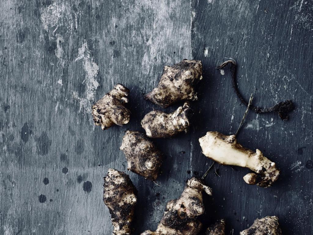 Løgismose og Meyers slår sig sammen