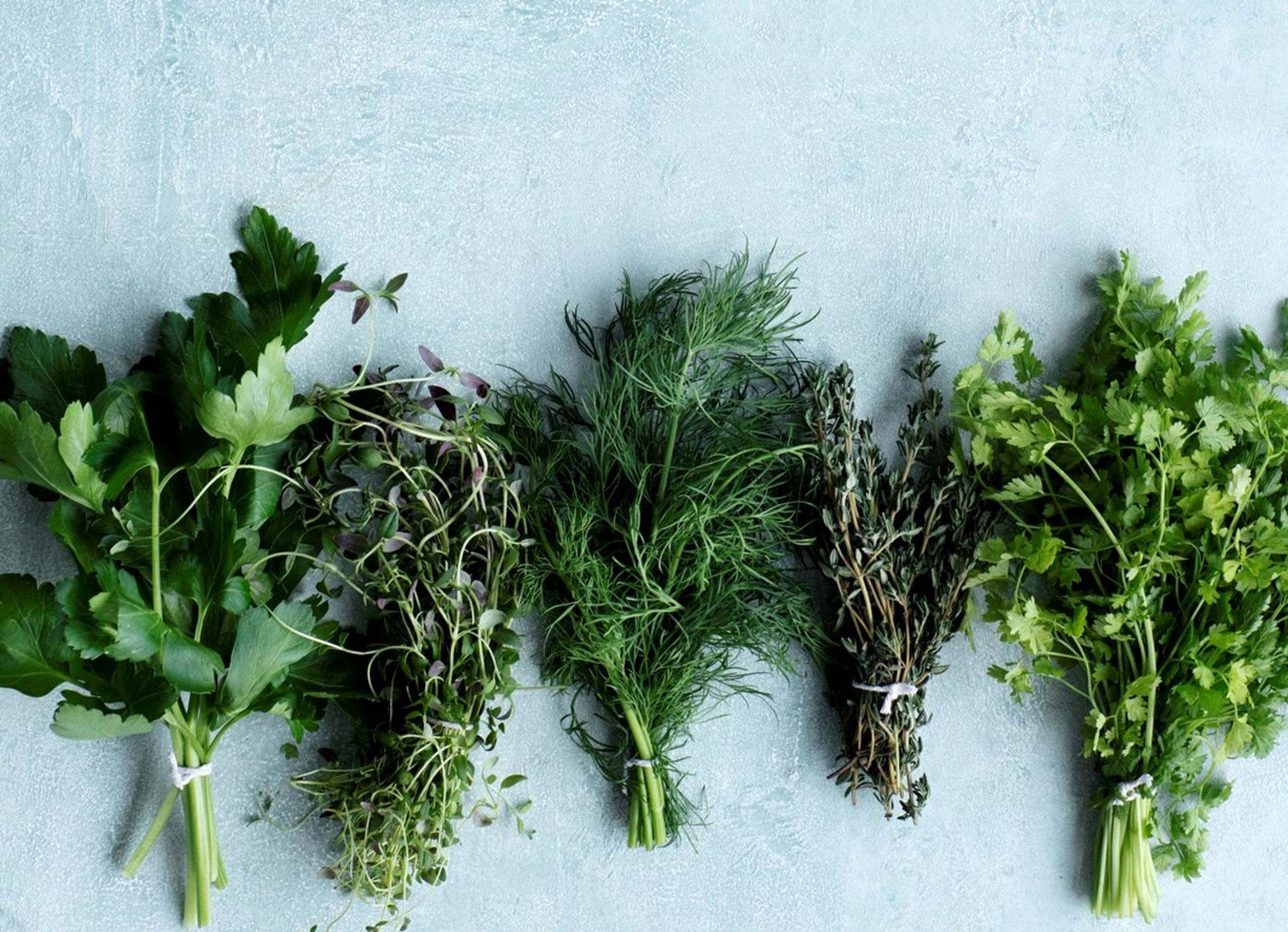 Holdet i Madhallen​​​​‌﻿‍﻿​‍​‍‌‍﻿﻿‌﻿​‍‌‍‍‌‌‍‌﻿‌‍‍‌‌‍﻿‍​‍​‍​﻿‍‍​‍​‍‌﻿​﻿‌‍​‌‌‍﻿‍‌‍‍‌‌﻿‌​‌﻿‍‌​‍﻿‍‌‍‍‌‌‍﻿﻿​‍​‍​‍﻿​​‍​‍‌‍‍​‌﻿​‍‌‍‌‌‌‍‌‍​‍​‍​﻿‍‍​‍​‍‌‍‍​‌﻿‌​‌﻿‌​‌﻿​​​﻿‍‍​‍﻿﻿​‍﻿﻿‌‍﻿​‌‍﻿﻿‌‍​﻿‌‍​‌‌‍﻿​‌‍‍​‌‍﻿﻿‌﻿​﻿‌﻿‌​​﻿‍‍​﻿​﻿​﻿​﻿​﻿​﻿​﻿​﻿​‍﻿﻿‌‍‍‌‌‍﻿‍‌﻿‌​‌‍‌‌‌‍﻿‍‌﻿‌​​‍﻿﻿‌‍‌‌‌‍‌​‌‍‍‌‌﻿‌​​‍﻿﻿‌‍﻿‌‌‍﻿﻿‌‍‌​‌‍‌‌​﻿﻿‌‌﻿​​‌﻿​‍‌‍‌‌‌﻿​﻿‌‍‌‌‌‍﻿‍‌﻿‌​‌‍​‌‌﻿‌​‌‍‍‌‌‍﻿﻿‌‍﻿‍​﻿‍﻿‌‍‍‌‌‍‌​​﻿﻿‌‌‍​‍‌‍​‌​﻿‍​​﻿‍​​﻿‌​​﻿‌﻿‌‍​‍​﻿​‌​‍﻿‌​﻿​​‌‍​﻿​﻿​​‌‍‌‌​‍﻿‌​﻿‌​‌‍​﻿​﻿‌‍​﻿‌‍​‍﻿‌​﻿‍​​﻿‌‍​﻿‍‌‌‍​‌​‍﻿‌‌‍‌‍‌‍​﻿‌‍​﻿​﻿​​‌‍​‍​﻿‌‍​﻿‌​‌‍​‍‌‍​﻿‌‍​‍​﻿​‍​﻿​﻿​﻿‍﻿‌﻿‌​‌﻿‍‌‌﻿​​‌‍‌‌​﻿﻿‌‌‍​‌‌﻿​‍‌﻿‌​‌‍‍‌‌‍​﻿‌‍﻿​‌‍‌‌​﻿‍﻿‌﻿​​‌‍​‌‌﻿‌​‌‍‍​​﻿﻿‌‌‍‍‌‌‍﻿‌‌‍​‌‌‍‌﻿‌‍‌‌​‍﻿‍‌‍​‌‌‍﻿​‌﻿‌​​﻿﻿﻿‌‍​‍‌‍​‌‌﻿​﻿‌‍‌‌‌‌‌‌‌﻿​‍‌‍﻿​​﻿﻿‌‌‍‍​‌﻿‌​‌﻿‌​‌﻿​​​‍‌‌​﻿​﻿‌​​‌​‍‌‌​﻿​‍‌​‌‍​‍‌‌​﻿​‍‌​‌‍‌‍﻿​‌‍﻿﻿‌‍​﻿‌‍​‌‌‍﻿​‌‍‍​‌‍﻿﻿‌﻿​﻿‌﻿‌​​‍‌‌​﻿​﻿‌​​‌​﻿​﻿​﻿​﻿​﻿​﻿​﻿​﻿​‍‌‍‌‍‍‌‌‍‌​​﻿﻿‌‌‍​‍‌‍​‌​﻿‍​​﻿‍​​﻿‌​​﻿‌﻿‌‍​‍​﻿​‌​‍﻿‌​﻿​​‌‍​﻿​﻿​​‌‍‌‌​‍﻿‌​﻿‌​‌‍​﻿​﻿‌‍​﻿‌‍​‍﻿‌​﻿‍​​﻿‌‍​﻿‍‌‌‍​‌​‍﻿‌‌‍‌‍‌‍​﻿‌‍​﻿​﻿​​‌‍​‍​﻿‌‍​﻿‌​‌‍​‍‌‍​﻿‌‍​‍​﻿​‍​﻿​﻿​‍‌‍‌﻿‌​‌﻿‍‌‌﻿​​‌‍‌‌​﻿﻿‌‌‍​‌‌﻿​‍‌﻿‌​‌‍‍‌‌‍​﻿‌‍﻿​‌‍‌‌​‍‌‍‌﻿​​‌‍​‌‌﻿‌​‌‍‍​​﻿﻿‌‌‍‍‌‌‍﻿‌‌‍​‌‌‍‌﻿‌‍‌‌​‍﻿‍‌‍​‌‌‍﻿​‌﻿‌​​‍‌‍‌﻿​​‌‍‌‌‌﻿​‍‌﻿​﻿‌﻿​​‌‍‌‌‌‍​﻿‌﻿‌​‌‍‍‌‌﻿‌‍‌‍‌‌​﻿﻿‌‌﻿​​‌﻿‌‌‌‍​‍‌‍﻿​‌‍‍‌‌﻿​﻿‌‍‍​‌‍‌‌‌‍‌​​‍​‍‌﻿﻿‌