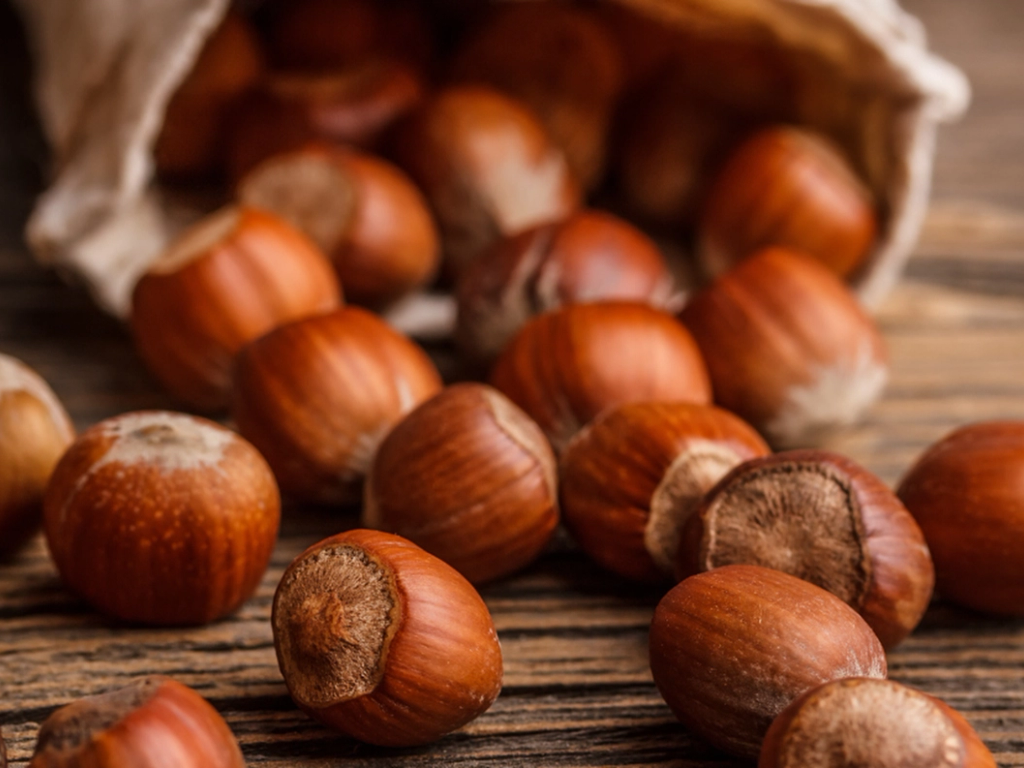 Historien om hasselnødden