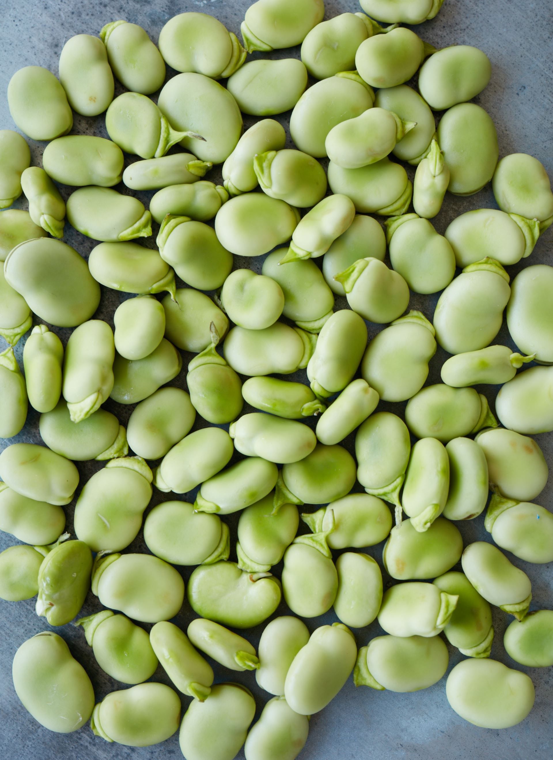 Brown / Green Sprouted Moong Amti​​​​‌﻿‍﻿​‍​‍‌‍﻿﻿‌﻿​‍‌‍‍‌‌‍‌﻿‌‍‍‌‌‍﻿‍​‍​‍​﻿‍‍​‍​‍‌﻿​﻿‌‍​‌‌‍﻿‍‌‍‍‌‌﻿‌​‌﻿‍‌​‍﻿‍‌‍‍‌‌‍﻿﻿​‍​‍​‍﻿​​‍​‍‌‍‍​‌﻿​‍‌‍‌‌‌‍‌‍​‍​‍​﻿‍‍​‍​‍‌‍‍​‌﻿‌​‌﻿‌​‌﻿​​​﻿‍‍​‍﻿﻿​‍﻿﻿‌‍﻿​‌‍﻿﻿‌‍​﻿‌‍​‌‌‍﻿​‌‍‍​‌‍﻿﻿‌﻿​﻿‌﻿‌​​﻿‍‍​﻿​﻿​﻿​﻿​﻿​﻿​﻿​﻿​‍﻿﻿‌‍‍‌‌‍﻿‍‌﻿‌​‌‍‌‌‌‍﻿‍‌﻿‌​​‍﻿﻿‌‍‌‌‌‍‌​‌‍‍‌‌﻿‌​​‍﻿﻿‌‍﻿‌‌‍﻿﻿‌‍‌​‌‍‌‌​﻿﻿‌‌﻿​​‌﻿​‍‌‍‌‌‌﻿​﻿‌‍‌‌‌‍﻿‍‌﻿‌​‌‍​‌‌﻿‌​‌‍‍‌‌‍﻿﻿‌‍﻿‍​﻿‍﻿‌‍‍‌‌‍‌​​﻿﻿‌​﻿‌﻿​﻿‌‌​﻿‍​​﻿​​​﻿​﻿‌‍‌​‌‍​﻿‌‍‌​​‍﻿‌‌‍​‍​﻿‌‌‌‍​‍‌‍​‍​‍﻿‌​﻿‌‌‌‍‌‍​﻿​​​﻿‌‌​‍﻿‌​﻿‍​​﻿‌​‌‍​‌​﻿‌﻿​‍﻿‌​﻿‍​‌‍‌‌‌‍​‍​﻿‌‍​﻿‍​‌‍‌‌​﻿‌﻿​﻿​﻿​﻿​‍​﻿​‍​﻿‌‌‌‍‌​​﻿‍﻿‌﻿‌​‌﻿‍‌‌﻿​​‌‍‌‌​﻿﻿‌‌﻿​‍‌‍‌‌‌‍​﻿‌‍‍‌‌﻿​​‌‍‌‌​﻿‍﻿‌﻿​​‌‍​‌‌﻿‌​‌‍‍​​﻿﻿‌‌‍‍‌‌‍﻿‌‌‍​‌‌‍‌﻿‌‍‌‌​‍﻿‍‌‍​‌‌‍﻿​‌﻿‌​​﻿﻿﻿‌‍​‍‌‍​‌‌﻿​﻿‌‍‌‌‌‌‌‌‌﻿​‍‌‍﻿​​﻿﻿‌‌‍‍​‌﻿‌​‌﻿‌​‌﻿​​​‍‌‌​﻿​﻿‌​​‌​‍‌‌​﻿​‍‌​‌‍​‍‌‌​﻿​‍‌​‌‍‌‍﻿​‌‍﻿﻿‌‍​﻿‌‍​‌‌‍﻿​‌‍‍​‌‍﻿﻿‌﻿​﻿‌﻿‌​​‍‌‌​﻿​﻿‌​​‌​﻿​﻿​﻿​﻿​﻿​﻿​﻿​﻿​‍‌‍‌‍‍‌‌‍‌​​﻿﻿‌​﻿‌﻿​﻿‌‌​﻿‍​​﻿​​​﻿​﻿‌‍‌​‌‍​﻿‌‍‌​​‍﻿‌‌‍​‍​﻿‌‌‌‍​‍‌‍​‍​‍﻿‌​﻿‌‌‌‍‌‍​﻿​​​﻿‌‌​‍﻿‌​﻿‍​​﻿‌​‌‍​‌​﻿‌﻿​‍﻿‌​﻿‍​‌‍‌‌‌‍​‍​﻿‌‍​﻿‍​‌‍‌‌​﻿‌﻿​﻿​﻿​﻿​‍​﻿​‍​﻿‌‌‌‍‌​​‍‌‍‌﻿‌​‌﻿‍‌‌﻿​​‌‍‌‌​﻿﻿‌‌﻿​‍‌‍‌‌‌‍​﻿‌‍‍‌‌﻿​​‌‍‌‌​‍‌‍‌﻿​​‌‍​‌‌﻿‌​‌‍‍​​﻿﻿‌‌‍‍‌‌‍﻿‌‌‍​‌‌‍‌﻿‌‍‌‌​‍﻿‍‌‍​‌‌‍﻿​‌﻿‌​​‍‌‍‌﻿​​‌‍‌‌‌﻿​‍‌﻿​﻿‌﻿​​‌‍‌‌‌‍​﻿‌﻿‌​‌‍‍‌‌﻿‌‍‌‍‌‌​﻿﻿‌‌﻿​​‌﻿‌‌‌‍​‍‌‍﻿​‌‍‍‌‌﻿​﻿‌‍‍​‌‍‌‌‌‍‌​​‍​‍‌﻿﻿‌