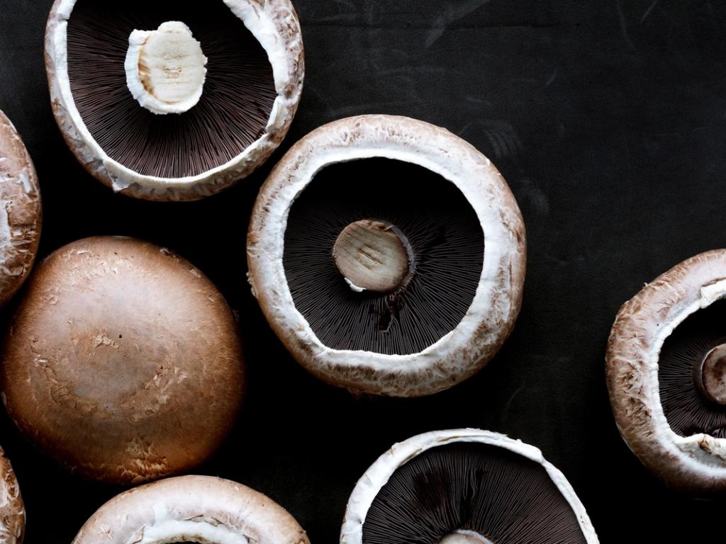 Seneste nyt i forbindelse med COVID-19