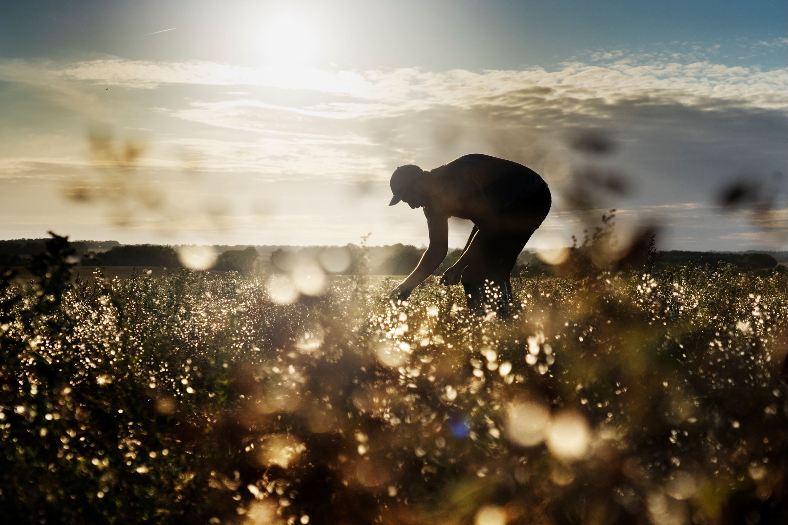 Why we choose organic  ​​​​‌﻿‍﻿​‍​‍‌‍﻿﻿‌﻿​‍‌‍‍‌‌‍‌﻿‌‍‍‌‌‍﻿‍​‍​‍​﻿‍‍​‍​‍‌﻿​﻿‌‍​‌‌‍﻿‍‌‍‍‌‌﻿‌​‌﻿‍‌​‍﻿‍‌‍‍‌‌‍﻿﻿​‍​‍​‍﻿​​‍​‍‌‍‍​‌﻿​‍‌‍‌‌‌‍‌‍​‍​‍​﻿‍‍​‍​‍‌‍‍​‌﻿‌​‌﻿‌​‌﻿​​​﻿‍‍​‍﻿﻿​‍﻿﻿‌‍﻿​‌‍﻿﻿‌‍​﻿‌‍​‌‌‍﻿​‌‍‍​‌‍﻿﻿‌﻿​﻿‌﻿‌​​﻿‍‍​﻿​﻿​﻿​﻿​﻿​﻿​﻿​﻿​‍﻿﻿‌‍‍‌‌‍﻿‍‌﻿‌​‌‍‌‌‌‍﻿‍‌﻿‌​​‍﻿﻿‌‍‌‌‌‍‌​‌‍‍‌‌﻿‌​​‍﻿﻿‌‍﻿‌‌‍﻿﻿‌‍‌​‌‍‌‌​﻿﻿‌‌﻿​​‌﻿​‍‌‍‌‌‌﻿​﻿‌‍‌‌‌‍﻿‍‌﻿‌​‌‍​‌‌﻿‌​‌‍‍‌‌‍﻿﻿‌‍﻿‍​﻿‍﻿‌‍‍‌‌‍‌​​﻿﻿‌‌‍‌‌​﻿‌‌​﻿‍​​﻿‌﻿​﻿‍​​﻿‌‍​﻿​‌​﻿‌﻿​‍﻿‌​﻿​‍‌‍‌‍‌‍​﻿‌‍​‌​‍﻿‌​﻿‌​​﻿‍​‌‍​‍​﻿‌‍​‍﻿‌​﻿‍​​﻿​​​﻿‌﻿‌‍​‌​‍﻿‌‌‍​‍‌‍‌​​﻿​​‌‍​‍​﻿‍​​﻿​‍‌‍​﻿‌‍​﻿​﻿‍​​﻿‍​‌‍​‌​﻿‌‍​﻿‍﻿‌﻿‌​‌﻿‍‌‌﻿​​‌‍‌‌​﻿﻿‌‌‍​‌‌﻿​‍‌﻿‌​‌‍‍‌‌‍​﻿‌‍﻿​‌‍‌‌​﻿‍﻿‌﻿​​‌‍​‌‌﻿‌​‌‍‍​​﻿﻿‌‌‍‍‌‌‍﻿‌‌‍​‌‌‍‌﻿‌‍‌‌​‍﻿‍‌‍​‌‌‍﻿​‌﻿‌​​﻿﻿﻿‌‍​‍‌‍​‌‌﻿​﻿‌‍‌‌‌‌‌‌‌﻿​‍‌‍﻿​​﻿﻿‌‌‍‍​‌﻿‌​‌﻿‌​‌﻿​​​‍‌‌​﻿​﻿‌​​‌​‍‌‌​﻿​‍‌​‌‍​‍‌‌​﻿​‍‌​‌‍‌‍﻿​‌‍﻿﻿‌‍​﻿‌‍​‌‌‍﻿​‌‍‍​‌‍﻿﻿‌﻿​﻿‌﻿‌​​‍‌‌​﻿​﻿‌​​‌​﻿​﻿​﻿​﻿​﻿​﻿​﻿​﻿​‍‌‍‌‍‍‌‌‍‌​​﻿﻿‌‌‍‌‌​﻿‌‌​﻿‍​​﻿‌﻿​﻿‍​​﻿‌‍​﻿​‌​﻿‌﻿​‍﻿‌​﻿​‍‌‍‌‍‌‍​﻿‌‍​‌​‍﻿‌​﻿‌​​﻿‍​‌‍​‍​﻿‌‍​‍﻿‌​﻿‍​​﻿​​​﻿‌﻿‌‍​‌​‍﻿‌‌‍​‍‌‍‌​​﻿​​‌‍​‍​﻿‍​​﻿​‍‌‍​﻿‌‍​﻿​﻿‍​​﻿‍​‌‍​‌​﻿‌‍​‍‌‍‌﻿‌​‌﻿‍‌‌﻿​​‌‍‌‌​﻿﻿‌‌‍​‌‌﻿​‍‌﻿‌​‌‍‍‌‌‍​﻿‌‍﻿​‌‍‌‌​‍‌‍‌﻿​​‌‍​‌‌﻿‌​‌‍‍​​﻿﻿‌‌‍‍‌‌‍﻿‌‌‍​‌‌‍‌﻿‌‍‌‌​‍﻿‍‌‍​‌‌‍﻿​‌﻿‌​​‍‌‍‌﻿​​‌‍‌‌‌﻿​‍‌﻿​﻿‌﻿​​‌‍‌‌‌‍​﻿‌﻿‌​‌‍‍‌‌﻿‌‍‌‍‌‌​﻿﻿‌‌﻿​​‌﻿‌‌‌‍​‍‌‍﻿​‌‍‍‌‌﻿​﻿‌‍‍​‌‍‌‌‌‍‌​​‍​‍‌﻿﻿‌