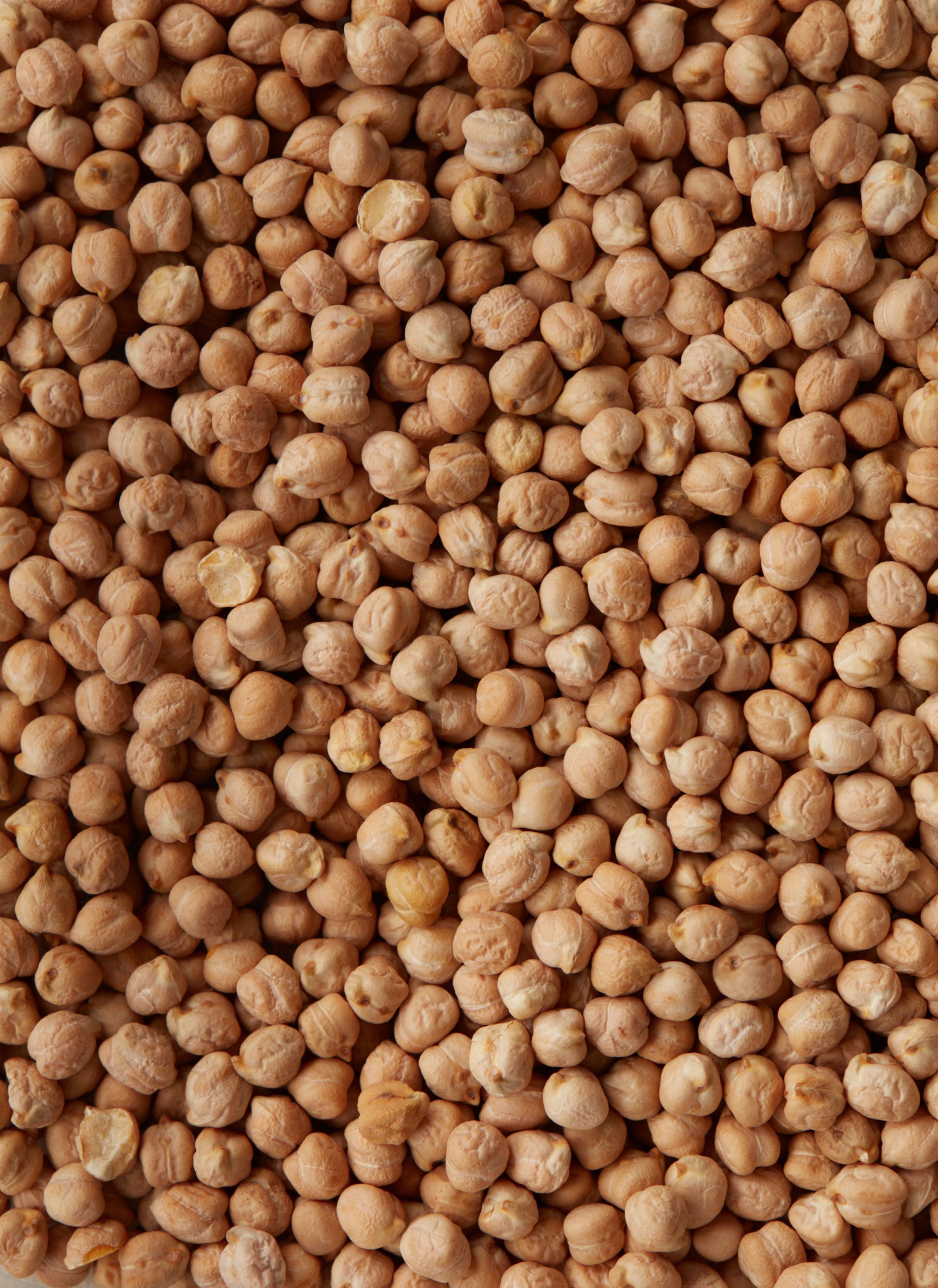 Kikærtesalat med rødløgsmarmelade​​​​‌﻿‍﻿​‍​‍‌‍﻿﻿‌﻿​‍‌‍‍‌‌‍‌﻿‌‍‍‌‌‍﻿‍​‍​‍​﻿‍‍​‍​‍‌﻿​﻿‌‍​‌‌‍﻿‍‌‍‍‌‌﻿‌​‌﻿‍‌​‍﻿‍‌‍‍‌‌‍﻿﻿​‍​‍​‍﻿​​‍​‍‌‍‍​‌﻿​‍‌‍‌‌‌‍‌‍​‍​‍​﻿‍‍​‍​‍‌‍‍​‌﻿‌​‌﻿‌​‌﻿​​​﻿‍‍​‍﻿﻿​‍﻿﻿‌‍﻿​‌‍﻿﻿‌‍​﻿‌‍​‌‌‍﻿​‌‍‍​‌‍﻿﻿‌﻿​﻿‌﻿‌​​﻿‍‍​﻿​﻿​﻿​﻿​﻿​﻿​﻿​﻿​‍﻿﻿‌‍‍‌‌‍﻿‍‌﻿‌​‌‍‌‌‌‍﻿‍‌﻿‌​​‍﻿﻿‌‍‌‌‌‍‌​‌‍‍‌‌﻿‌​​‍﻿﻿‌‍﻿‌‌‍﻿﻿‌‍‌​‌‍‌‌​﻿﻿‌‌﻿​​‌﻿​‍‌‍‌‌‌﻿​﻿‌‍‌‌‌‍﻿‍‌﻿‌​‌‍​‌‌﻿‌​‌‍‍‌‌‍﻿﻿‌‍﻿‍​﻿‍﻿‌‍‍‌‌‍‌​​﻿﻿‌‌‍​﻿‌‍‌‍‌‍‌​​﻿​﻿​﻿‍​​﻿‌‍‌‍​﻿​﻿‍‌​‍﻿‌​﻿‍​​﻿​‌​﻿​​‌‍​﻿​‍﻿‌​﻿‌‌​﻿‌​‌‍‌‌‌‍​‍​‍﻿‌​﻿‍​​﻿​‌​﻿​​​﻿​​​‍﻿‌‌‍​‍‌‍‌​​﻿‍​​﻿‌‌​﻿​‍‌‍‌‍‌‍‌‍‌‍​﻿​﻿​‌​﻿‍‌​﻿​‍​﻿​‍​﻿‍﻿‌﻿‌​‌﻿‍‌‌﻿​​‌‍‌‌​﻿﻿‌‌﻿​‍‌‍‌‌‌‍​﻿‌‍‍‌‌﻿​​‌‍‌‌​﻿‍﻿‌﻿​​‌‍​‌‌﻿‌​‌‍‍​​﻿﻿‌‌‍‍‌‌‍﻿‌‌‍​‌‌‍‌﻿‌‍‌‌​‍﻿‍‌‍​‌‌‍﻿​‌﻿‌​​﻿﻿﻿‌‍​‍‌‍​‌‌﻿​﻿‌‍‌‌‌‌‌‌‌﻿​‍‌‍﻿​​﻿﻿‌‌‍‍​‌﻿‌​‌﻿‌​‌﻿​​​‍‌‌​﻿​﻿‌​​‌​‍‌‌​﻿​‍‌​‌‍​‍‌‌​﻿​‍‌​‌‍‌‍﻿​‌‍﻿﻿‌‍​﻿‌‍​‌‌‍﻿​‌‍‍​‌‍﻿﻿‌﻿​﻿‌﻿‌​​‍‌‌​﻿​﻿‌​​‌​﻿​﻿​﻿​﻿​﻿​﻿​﻿​﻿​‍‌‍‌‍‍‌‌‍‌​​﻿﻿‌‌‍​﻿‌‍‌‍‌‍‌​​﻿​﻿​﻿‍​​﻿‌‍‌‍​﻿​﻿‍‌​‍﻿‌​﻿‍​​﻿​‌​﻿​​‌‍​﻿​‍﻿‌​﻿‌‌​﻿‌​‌‍‌‌‌‍​‍​‍﻿‌​﻿‍​​﻿​‌​﻿​​​﻿​​​‍﻿‌‌‍​‍‌‍‌​​﻿‍​​﻿‌‌​﻿​‍‌‍‌‍‌‍‌‍‌‍​﻿​﻿​‌​﻿‍‌​﻿​‍​﻿​‍​‍‌‍‌﻿‌​‌﻿‍‌‌﻿​​‌‍‌‌​﻿﻿‌‌﻿​‍‌‍‌‌‌‍​﻿‌‍‍‌‌﻿​​‌‍‌‌​‍‌‍‌﻿​​‌‍​‌‌﻿‌​‌‍‍​​﻿﻿‌‌‍‍‌‌‍﻿‌‌‍​‌‌‍‌﻿‌‍‌‌​‍﻿‍‌‍​‌‌‍﻿​‌﻿‌​​‍‌‍‌﻿​​‌‍‌‌‌﻿​‍‌﻿​﻿‌﻿​​‌‍‌‌‌‍​﻿‌﻿‌​‌‍‍‌‌﻿‌‍‌‍‌‌​﻿﻿‌‌﻿​​‌﻿‌‌‌‍​‍‌‍﻿​‌‍‍‌‌﻿​﻿‌‍‍​‌‍‌‌‌‍‌​​‍​‍‌﻿﻿‌