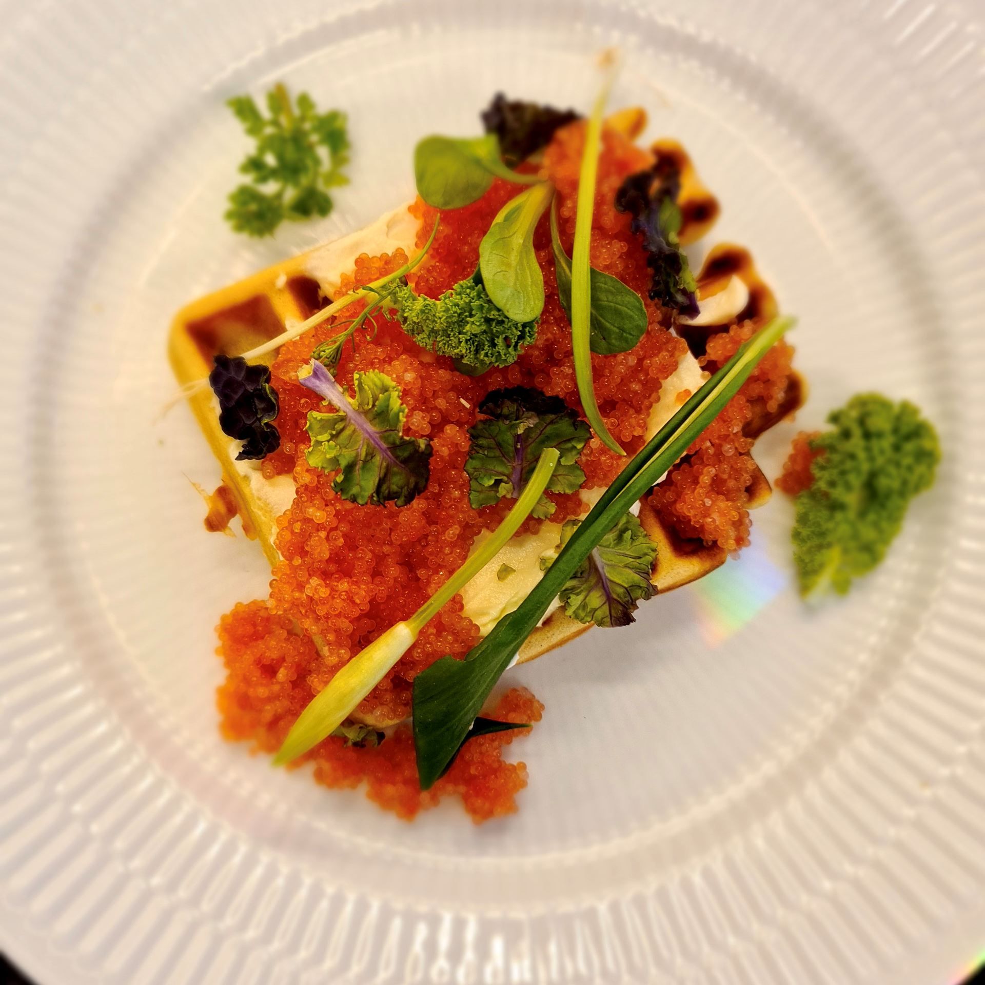 Boghvedevafler med stenbiderrogn, kålskud og ramsløg