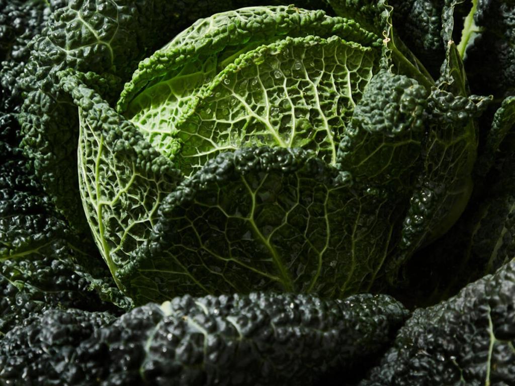 Meyers udnævner ny CEO 