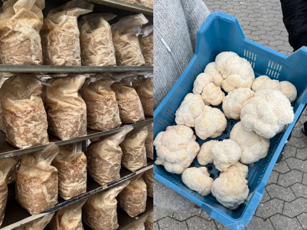 Mød en samarbejdspartner - Beyond Coffee