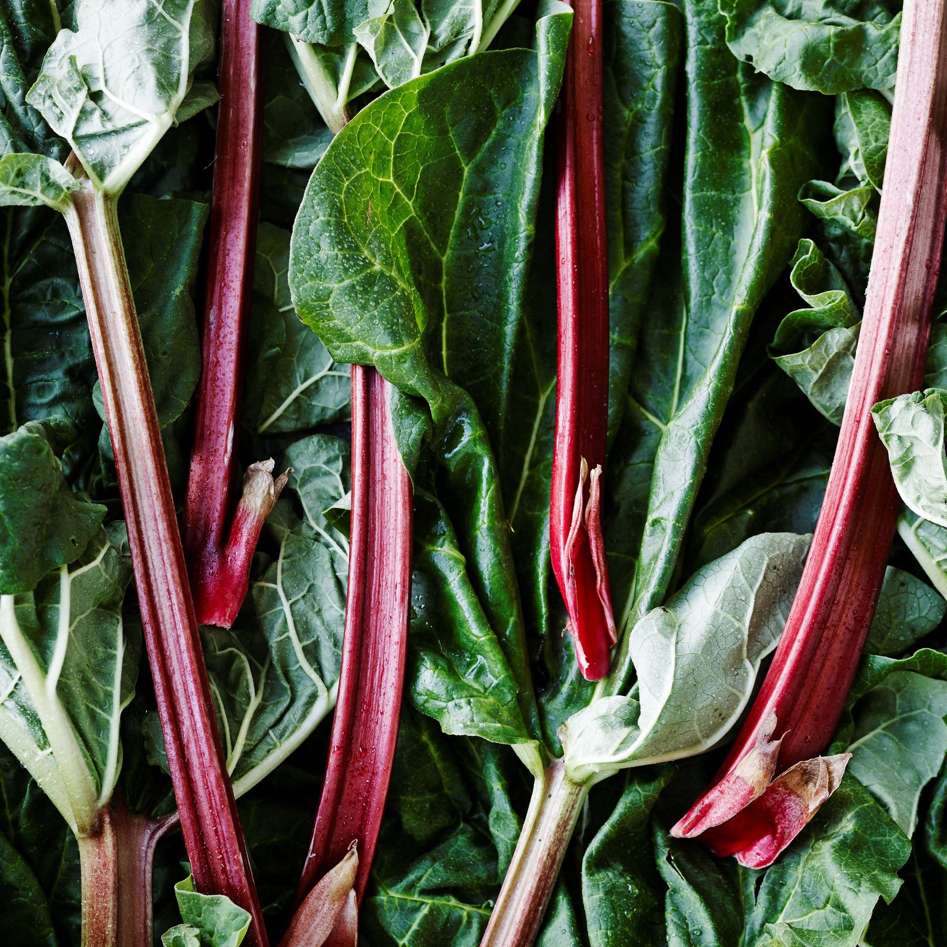 Bagte rabarber med hasselnøddeflager