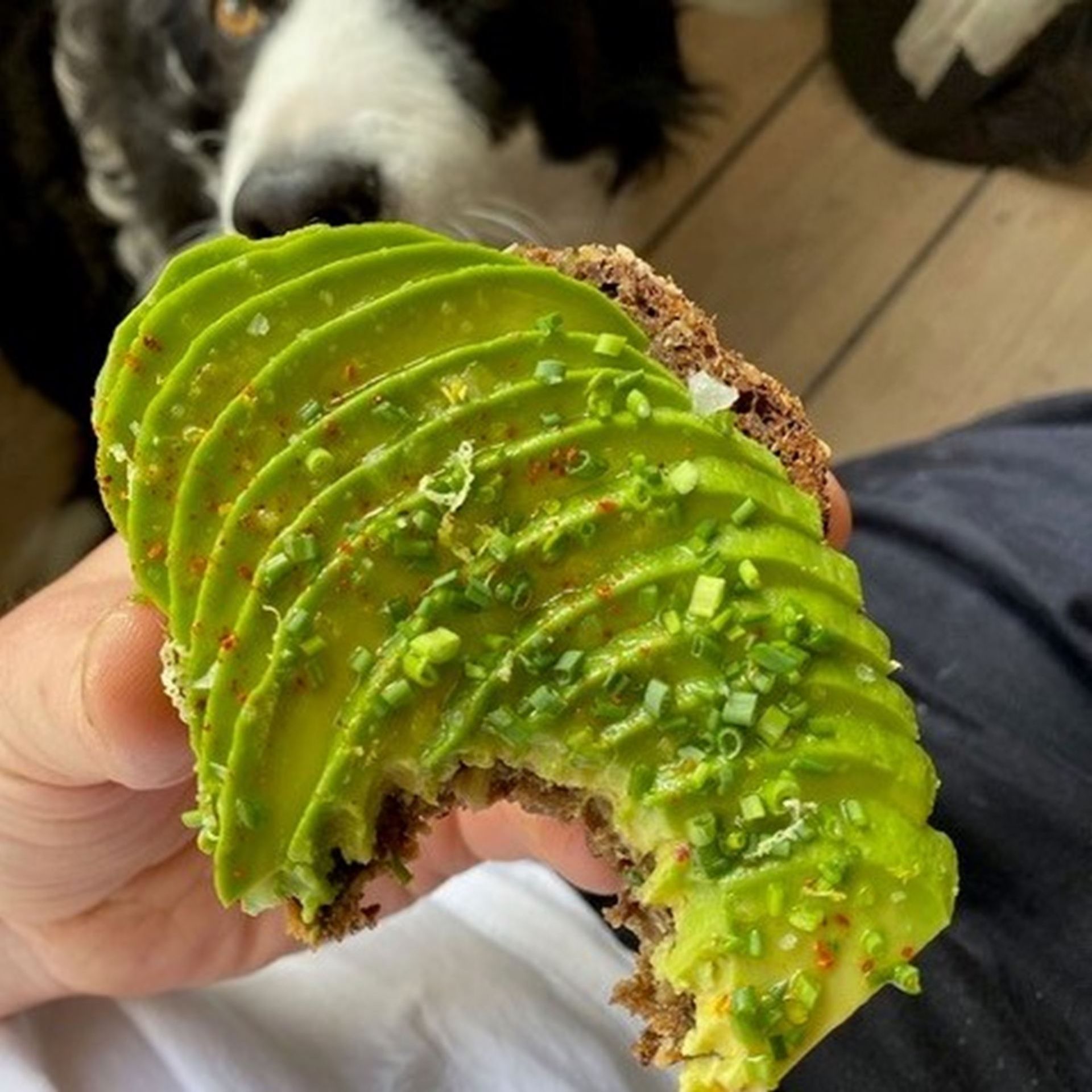 Atelier Septembers avokadomad af Frederik Bille Brahe