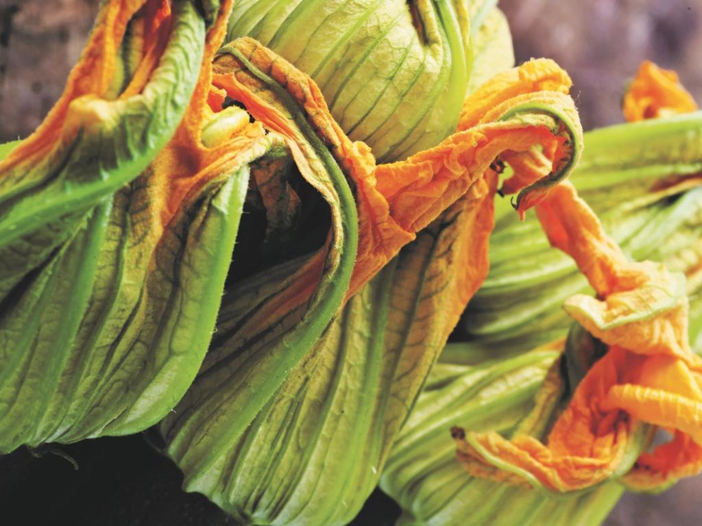 Den grønne fremtid er ankommet