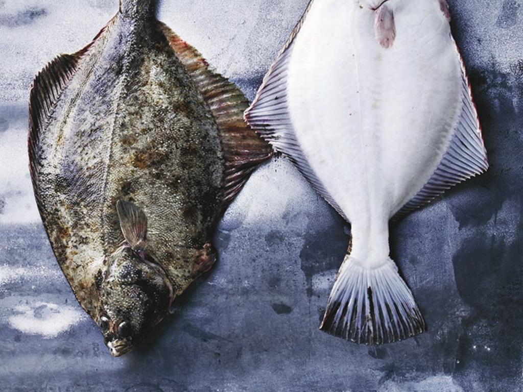 Alt godt fra havet - fisk og skaldyr