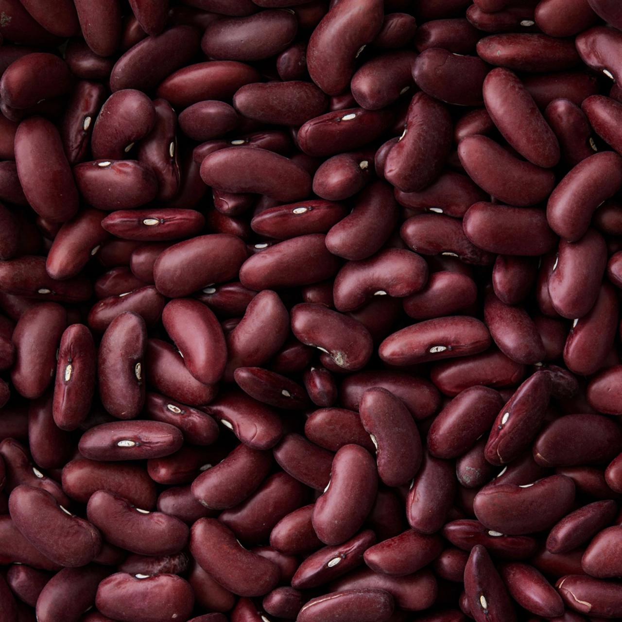 Kidneybønner​​​​‌﻿‍﻿​‍​‍‌‍﻿﻿‌﻿​‍‌‍‍‌‌‍‌﻿‌‍‍‌‌‍﻿‍​‍​‍​﻿‍‍​‍​‍‌﻿​﻿‌‍​‌‌‍﻿‍‌‍‍‌‌﻿‌​‌﻿‍‌​‍﻿‍‌‍‍‌‌‍﻿﻿​‍​‍​‍﻿​​‍​‍‌‍‍​‌﻿​‍‌‍‌‌‌‍‌‍​‍​‍​﻿‍‍​‍​‍‌‍‍​‌﻿‌​‌﻿‌​‌﻿​​​﻿‍‍​‍﻿﻿​‍﻿﻿‌‍﻿​‌‍﻿﻿‌‍​﻿‌‍​‌‌‍﻿​‌‍‍​‌‍﻿﻿‌﻿​﻿‌﻿‌​​﻿‍‍​﻿​﻿​﻿​﻿​﻿​﻿​﻿​﻿​‍﻿﻿‌‍‍‌‌‍﻿‍‌﻿‌​‌‍‌‌‌‍﻿‍‌﻿‌​​‍﻿﻿‌‍‌‌‌‍‌​‌‍‍‌‌﻿‌​​‍﻿﻿‌‍﻿‌‌‍﻿﻿‌‍‌​‌‍‌‌​﻿﻿‌‌﻿​​‌﻿​‍‌‍‌‌‌﻿​﻿‌‍‌‌‌‍﻿‍‌﻿‌​‌‍​‌‌﻿‌​‌‍‍‌‌‍﻿﻿‌‍﻿‍​﻿‍﻿‌‍‍‌‌‍‌​​﻿﻿‌‌‍‌​​﻿‌﻿​﻿​﻿‌‍​﻿​﻿‌﻿‌‍‌‌​﻿‌‌​﻿‌﻿​‍﻿‌​﻿‍​​﻿‌‍‌‍​﻿​﻿​‍​‍﻿‌​﻿‌​​﻿‌‍​﻿‌‍​﻿​﻿​‍﻿‌‌‍​‍​﻿‌​‌‍‌‌‌‍‌‍​‍﻿‌​﻿‌​‌‍‌‍‌‍​‍‌‍‌‌‌‍​‌‌‍‌​​﻿​​‌‍‌​​﻿​‌​﻿​‌​﻿​‌​﻿‍​​﻿‍﻿‌﻿‌​‌﻿‍‌‌﻿​​‌‍‌‌​﻿﻿‌‌‍​‌‌﻿​‍‌﻿‌​‌‍‍‌‌‍​﻿‌‍﻿​‌‍‌‌​﻿‍﻿‌﻿​​‌‍​‌‌﻿‌​‌‍‍​​﻿﻿‌‌﻿​​‌‍﻿﻿‌﻿​‍‌﻿‌​‌‍​‌‌‍​‍‌‍﻿​‌‍‌‌‌﻿‌​‌‍‌‌‌﻿‍​‌﻿‌​​‍‌‌​﻿‌‌‌​​‍‌‌﻿﻿‌‍‍﻿‌‍‌‌‌﻿‍‌​‍‌‌​﻿​﻿‌​‌​​‍‌‌​﻿​﻿‌​‌​​‍‌‌​﻿​‍​﻿​‍​﻿​‍​﻿​‍​﻿​‌​﻿​​​﻿‍​​﻿‌﻿‌‍‌​‌‍​‌​‍‌‌​﻿​‍​﻿​‍​‍‌‌​﻿‌‌‌​‌​​‍﻿‍‌﻿​﻿‌‍﻿​‌‍‍‌‌‍‌​‌‍‌‌‌﻿​﻿​‍‌‌​﻿‌‌‌​​‍‌‌﻿﻿‌‍‍﻿‌‍‌‌‌﻿‍‌​‍‌‌​﻿​﻿‌​‌​​‍‌‌​﻿​﻿‌​‌​​‍‌‌​﻿​‍​﻿​‍​﻿‌​​﻿​‌​﻿​‍​﻿‌​​﻿‍‌​﻿‌﻿​﻿​‍​﻿‍​​‍‌‌​﻿​‍​﻿​‍​‍‌‌​﻿‌‌‌​‌​​‍﻿‍‌‍‍‌‌‍﻿‌‌‍​‌‌‍‌﻿‌‍‌‌​‍﻿‍‌‍​‌‌‍﻿​‌﻿‌​​﻿﻿﻿‌‍​‍‌‍​‌‌﻿​﻿‌‍‌‌‌‌‌‌‌﻿​‍‌‍﻿​​﻿﻿‌‌‍‍​‌﻿‌​‌﻿‌​‌﻿​​​‍‌‌​﻿​﻿‌​​‌​‍‌‌​﻿​‍‌​‌‍​‍‌‌​﻿​‍‌​‌‍‌‍﻿​‌‍﻿﻿‌‍​﻿‌‍​‌‌‍﻿​‌‍‍​‌‍﻿﻿‌﻿​﻿‌﻿‌​​‍‌‌​﻿​﻿‌​​‌​﻿​﻿​﻿​﻿​﻿​﻿​﻿​﻿​‍‌‍‌‍‍‌‌‍‌​​﻿﻿‌‌‍‌​​﻿‌﻿​﻿​﻿‌‍​﻿​﻿‌﻿‌‍‌‌​﻿‌‌​﻿‌﻿​‍﻿‌​﻿‍​​﻿‌‍‌‍​﻿​﻿​‍​‍﻿‌​﻿‌​​﻿‌‍​﻿‌‍​﻿​﻿​‍﻿‌‌‍​‍​﻿‌​‌‍‌‌‌‍‌‍​‍﻿‌​﻿‌​‌‍‌‍‌‍​‍‌‍‌‌‌‍​‌‌‍‌​​﻿​​‌‍‌​​﻿​‌​﻿​‌​﻿​‌​﻿‍​​‍‌‍‌﻿‌​‌﻿‍‌‌﻿​​‌‍‌‌​﻿﻿‌‌‍​‌‌﻿​‍‌﻿‌​‌‍‍‌‌‍​﻿‌‍﻿​‌‍‌‌​‍‌‍‌﻿​​‌‍​‌‌﻿‌​‌‍‍​​﻿﻿‌‌﻿​​‌‍﻿﻿‌﻿​‍‌﻿‌​‌‍​‌‌‍​‍‌‍﻿​‌‍‌‌‌﻿‌​‌‍‌‌‌﻿‍​‌﻿‌​​‍‌‌​﻿‌‌‌​​‍‌‌﻿﻿‌‍‍﻿‌‍‌‌‌﻿‍‌​‍‌‌​﻿​﻿‌​‌​​‍‌‌​﻿​﻿‌​‌​​‍‌‌​﻿​‍​﻿​‍​﻿​‍​﻿​‍​﻿​‌​﻿​​​﻿‍​​﻿‌﻿‌‍‌​‌‍​‌​‍‌‌​﻿​‍​﻿​‍​‍‌‌​﻿‌‌‌​‌​​‍﻿‍‌﻿​﻿‌‍﻿​‌‍‍‌‌‍‌​‌‍‌‌‌﻿​﻿​‍‌‌​﻿‌‌‌​​‍‌‌﻿﻿‌‍‍﻿‌‍‌‌‌﻿‍‌​‍‌‌​﻿​﻿‌​‌​​‍‌‌​﻿​﻿‌​‌​​‍‌‌​﻿​‍​﻿​‍​﻿‌​​﻿​‌​﻿​‍​﻿‌​​﻿‍‌​﻿‌﻿​﻿​‍​﻿‍​​‍‌‌​﻿​‍​﻿​‍​‍‌‌​﻿‌‌‌​‌​​‍﻿‍‌‍‍‌‌‍﻿‌‌‍​‌‌‍‌﻿‌‍‌‌​‍﻿‍‌‍​‌‌‍﻿​‌﻿‌​​‍‌‍‌﻿​​‌‍‌‌‌﻿​‍‌﻿​﻿‌﻿​​‌‍‌‌‌‍​﻿‌﻿‌​‌‍‍‌‌﻿‌‍‌‍‌‌​﻿﻿‌‌﻿​​‌﻿‌‌‌‍​‍‌‍﻿​‌‍‍‌‌﻿​﻿‌‍‍​‌‍‌‌‌‍‌​​‍​‍‌﻿﻿‌